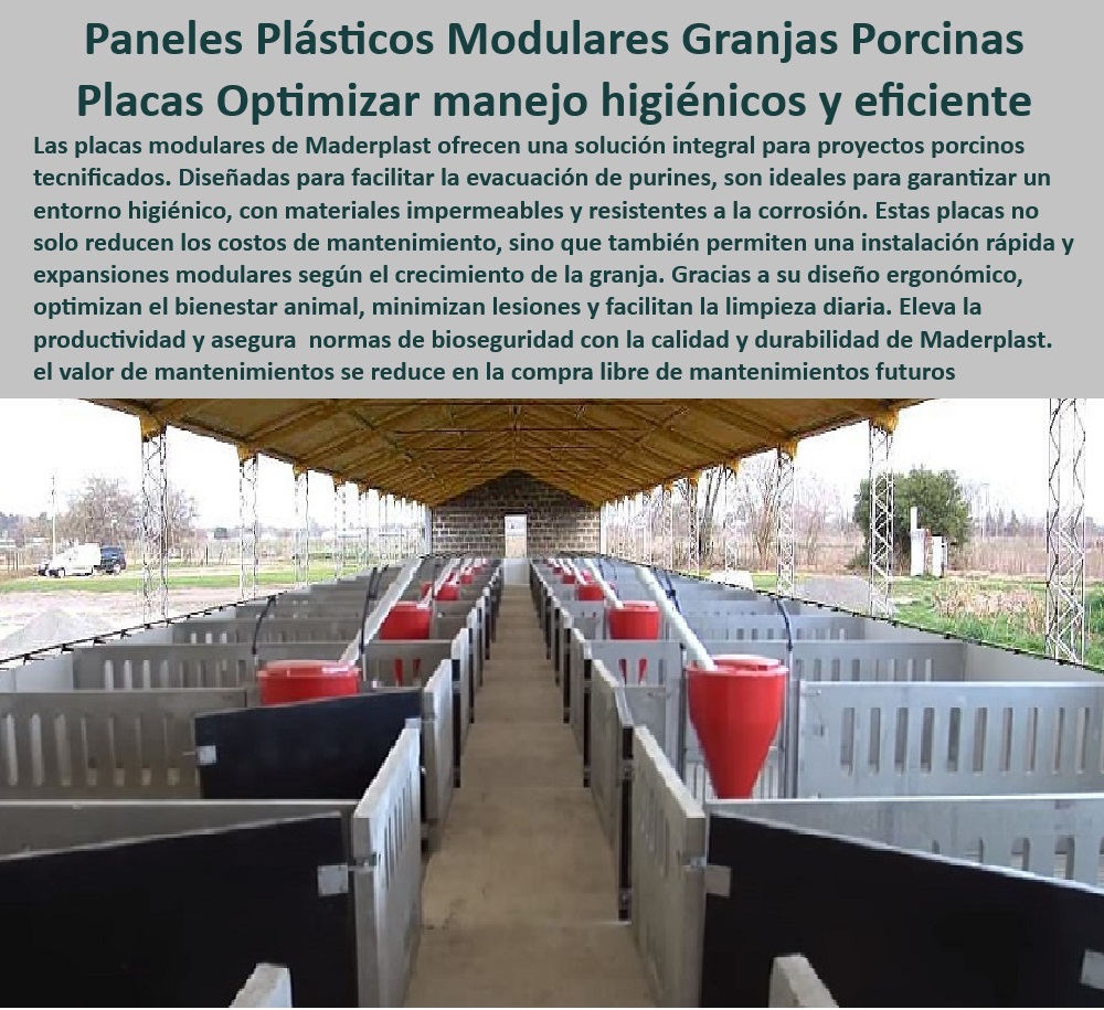 Paneles Plásticos Porcícolas Placas Higiénicas Granjas De Cerdos Maderplast Placas higiénicas de polipropileno para corrales de cerdos, - Soluciones de manejo higiénico para corrales porcinos, - Sistemas-De-Purines-Eficientes - Paneles plásticos modulares para granjas tecnificadas, - ¿Qué materiales plásticos son mejores para bioseguridad en granjas? - Soluciones higiénicas para optimizar el bienestar en porcicultura, - Paneles-De-Polipropileno-Modulares - Divisiones impermeables que facilitan el flujo de trabajo, - Placas plásticas para mejorar la productividad en corrales porcinos, - Placas impermeables para ambientes húmedos en porcicultura, - Paneles plásticos que minimizan costos operativos en granjas, - Divisiones-Para-Instalaciones-Porcinas - Paneles modulares de alta resistencia para porcicultura, - Paneles que optimizan la limpieza en instalaciones porcinas, - Materiales higiénicos que cumplen con las normas sanitarias, - Sistemas de purines eficientes en instalaciones porcinas, - Divisiones plásticas económicas y de fácil instalación, - Materiales sostenibles y reciclables para instalaciones agrícolas, - Placas-Resistentes-A-Corrosión - Divisiones plásticas sostenibles para porcicultura moderna, - Divisiones resistentes para granjas certificadas internacionalmente, - ¿Qué soluciones hay para manejar purines en granjas tecnificadas? - Suelos modulares de larga vida útil para granjas, - Sistemas modulares adaptables al crecimiento de granjas, - Suelos resistentes al desgaste para granjas tecnificadas, - Materiales duraderos para sistemas de confinamiento porcino, - Materiales-Plásticos-Sostenibles , - Bioseguridad-En-Corrales-Porcinos , - Optimización-Higiénica-En-Porcicultura - Paneles resistentes a químicos y corrosión, - Soluciones plásticas con diseño ergonómico para el bienestar animal, - ¿Dónde puedo encontrar placas higiénicas para porcicultura? - Paneles plásticos ideales para bioseguridad en granjas de cerdos, - Suelos-Modulares-Para-Porcicultura - ¿Cuáles son los paneles más duraderos para granjas de cerdos? - Sistemas modulares que reducen el impacto ambiental en granjas, - Placas de polipropileno diseñadas para reducir mantenimiento, - Paneles-Plásticos-Para-Granjas - ¿Cómo elegir paneles modulares resistentes para corrales porcinos? , - Divisiones-Modulares-Higiénicas - Suelos modulares de larga vida útil para porcicultura - Placas modulares de polipropileno corrales - Sistemas fáciles manejo de purines porcinos Paneles Plásticos Paneles Plásticos Porcícolas Placas Higiénicas Granjas De Cerdos Maderplast Suelos modulares de larga vida útil para porcicultura Placas modulares de polipropileno corrales Sistemas fáciles manejo de purines porcinos Paneles Plásticos Placas higiénicas de polipropileno para corrales de cerdos, - Soluciones de manejo higiénico para corrales porcinos, - Sistemas-De-Purines-Eficientes - Paneles plásticos modulares para granjas tecnificadas, - ¿Qué materiales plásticos son mejores para bioseguridad en granjas? - Soluciones higiénicas para optimizar el bienestar en porcicultura, - Paneles-De-Polipropileno-Modulares - Divisiones impermeables que facilitan el flujo de trabajo, - Placas plásticas para mejorar la productividad en corrales porcinos, - Placas impermeables para ambientes húmedos en porcicultura, - Paneles plásticos que minimizan costos operativos en granjas, - Divisiones-Para-Instalaciones-Porcinas - Paneles modulares de alta resistencia para porcicultura, - Paneles que optimizan la limpieza en instalaciones porcinas, - Materiales higiénicos que cumplen con las normas sanitarias, - Sistemas de purines eficientes en instalaciones porcinas, - Divisiones plásticas económicas y de fácil instalación, - Materiales sostenibles y reciclables para instalaciones agrícolas, - Placas-Resistentes-A-Corrosión - Divisiones plásticas sostenibles para porcicultura moderna, - Divisiones resistentes para granjas certificadas internacionalmente, - ¿Qué soluciones hay para manejar purines en granjas tecnificadas? - Suelos modulares de larga vida útil para granjas, - Sistemas modulares adaptables al crecimiento de granjas, - Suelos resistentes al desgaste para granjas tecnificadas, - Materiales duraderos para sistemas de confinamiento porcino, - Materiales-Plásticos-Sostenibles , - Bioseguridad-En-Corrales-Porcinos , - Optimización-Higiénica-En-Porcicultura - Paneles resistentes a químicos y corrosión, - Soluciones plásticas con diseño ergonómico para el bienestar animal, - ¿Dónde puedo encontrar placas higiénicas para porcicultura? - Paneles plásticos ideales para bioseguridad en granjas de cerdos, - Suelos-Modulares-Para-Porcicultura - ¿Cuáles son los paneles más duraderos para granjas de cerdos? - Sistemas modulares que reducen el impacto ambiental en granjas, - Placas de polipropileno diseñadas para reducir mantenimiento, - Paneles-Plásticos-Para-Granjas - ¿Cómo elegir paneles modulares resistentes para corrales porcinos? , - Divisiones-Modulares-Higiénicas Paneles Plásticos Porcícolas Placas Higiénicas Granjas De Cerdos Maderplast - Suelos modulares de larga vida útil para porcicultura - Placas modulares de polipropileno corrales - Sistemas fáciles manejo de purines porcinos Paneles Plásticos