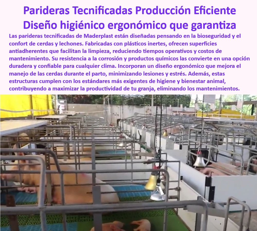 Parideras Porcícolas Higiénicas Jaula Parto Cerdas Fácil Limpieza Maderplast Materiales plásticos resistentes para maternidad porcina, - Bienestar-Animal-En-Crianza - Infraestructura-Porcícola-Duradera - Jaulas de maternidad que cumplen con las normas sanitarias internacionales, - ¿Qué sistemas de maternidad porcina reducen costos de mantenimiento? - ¿Dónde comprar jaulas de parto higiénicas y desmontables? - Infraestructura duradera para manejo eficiente de lechones, - Jaulas de parto prácticas y duraderas para granjas modernas, - Diseño modular para facilidad en instalaciones porcinas, - ¿Cuáles son las mejores parideras para cerdas con bioseguridad? - Jaulas ergonómicas para maternidad segura y productiva, - Jaulas ajustables que mejoran la eficiencia en el parto, - Parideras desmontables para manejo seguro de lechones, - Sistemas de bioseguridad avanzados para jaulas de parto, - Jaulas de maternidad para cerdas con diseño ergonómico, - Parideras-Tecnificadas-Duraderas - ¿Qué jaulas de parto cumplen con los estándares internacionales? - Parideras ecológicas para reducir el impacto ambiental, - Soluciones sostenibles para la maternidad porcina, - Maternidad-Porcina-Tecnificada - Soluciones inteligentes para optimizar la crianza porcina, - Parideras con tecnología antibacteriana y anticorrosiva, - Bioseguridad-En-Granjas-Porcinas - Infraestructura higiénica para granjas de cerdos modernas, - Sistemas modulares de maternidad - Jaulas-Higiénicas-Para-Cerdas - Parideras diseñadas para minimizar el estrés de las cerdas, - Sistemas ajustables para optimizar el manejo del cerdo, - Sistemas de parto para maximizar el bienestar animal, - Parideras económicas y funcionales para granjas tecnificadas, - ¿Qué parideras son ideales para la maternidad porcina tecnificada? - Sistemas modulares para maternidad porcina eficiente, - Soluciones-Sostenibles-En-Porcicultura - Jaulas-Anticorrosivas-Eficientes - Infraestructura para maternidad porcina de alta resistencia, - Sistemas de crianza tecnificados con mantenimiento reducido, - Jaulas de parto anticorrosivas con diseño higiénico, - Parideras higiénicas desmontables para granjas porcinas, - Soluciones porcícolas con fácil limpieza y bioseguridad, - Parideras-Con-Fácil-Limpieza - Diseños simples para maternidad porcina - Sistemas desmontables con limpieza profunda para jaulas de parto - Sistemas porcícolas con materiales anticorrosión PP Parideras Porcícolas Higiénicas Jaula Parto Cerdas Fácil Limpieza Maderplast Diseños simples para maternidad porcina Sistemas desmontables con limpieza profunda para jaulas de parto Sistemas porcícolas con materiales anticorrosión PP Materiales plásticos resistentes para maternidad porcina, - Bienestar-Animal-En-Crianza - Infraestructura-Porcícola-Duradera - Jaulas de maternidad que cumplen con las normas sanitarias internacionales, - ¿Qué sistemas de maternidad porcina reducen costos de mantenimiento? - ¿Dónde comprar jaulas de parto higiénicas y desmontables? - Infraestructura duradera para manejo eficiente de lechones, - Jaulas de parto prácticas y duraderas para granjas modernas, - Diseño modular para facilidad en instalaciones porcinas, - ¿Cuáles son las mejores parideras para cerdas con bioseguridad? - Jaulas ergonómicas para maternidad segura y productiva, - Jaulas ajustables que mejoran la eficiencia en el parto, - Parideras desmontables para manejo seguro de lechones, - Sistemas de bioseguridad avanzados para jaulas de parto, - Jaulas de maternidad para cerdas con diseño ergonómico, - Parideras-Tecnificadas-Duraderas - ¿Qué jaulas de parto cumplen con los estándares internacionales? - Parideras ecológicas para reducir el impacto ambiental, - Soluciones sostenibles para la maternidad porcina, - Maternidad-Porcina-Tecnificada - Soluciones inteligentes para optimizar la crianza porcina, - Parideras con tecnología antibacteriana y anticorrosiva, - Bioseguridad-En-Granjas-Porcinas - Infraestructura higiénica para granjas de cerdos modernas, - Sistemas modulares de maternidad - Jaulas-Higiénicas-Para-Cerdas - Parideras diseñadas para minimizar el estrés de las cerdas, - Sistemas ajustables para optimizar el manejo del cerdo, - Sistemas de parto para maximizar el bienestar animal, - Parideras económicas y funcionales para granjas tecnificadas, - ¿Qué parideras son ideales para la maternidad porcina tecnificada? - Sistemas modulares para maternidad porcina eficiente, - Soluciones-Sostenibles-En-Porcicultura - Jaulas-Anticorrosivas-Eficientes - Infraestructura para maternidad porcina de alta resistencia, - Sistemas de crianza tecnificados con mantenimiento reducido, - Jaulas de parto anticorrosivas con diseño higiénico, - Parideras higiénicas desmontables para granjas porcinas, - Soluciones porcícolas con fácil limpieza y bioseguridad, - Parideras-Con-Fácil-Limpieza Parideras Porcícolas Higiénicas Jaula Parto Cerdas Fácil Limpieza Maderplast - Diseños simples para maternidad porcina - Sistemas desmontables con limpieza profunda para jaulas de parto - Sistemas porcícolas con materiales anticorrosión PP
