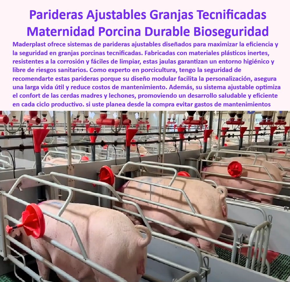Parideras Porcícolas Higiénicas Jaula Parto Cerdas Fácil Limpieza Maderplast ¿Dónde encontrar parideras higiénicas y resistentes para granjas porcinas? - Jaulas higiénicas resistentes para cerdas en parición - Sistemas ajustables para maternidad porcina eficiente - Jaulas de maternidad porcina con control higiénico - Sistemas de maternidad porcina con bioseguridad integrada - Jaulas resistentes a la corrosión para maternidad porcina - Soluciones sostenibles para maternidad porcina duradera - Soluciones de bienestar para cerdas y lechones - Materiales-Resistentes-Para-Parideras - Soluciones-Térmicas-Maternidad-Granjas - ¿Qué jaulas de maternidad tienen aislamiento térmico avanzado? - Soluciones prácticas para manejo de partos tecnificados - Bioseguridad-Maternidad-Porcina-Moderna - Infraestructura modular para maternidad porcina moderna - Parideras antibacterianas con fácil limpieza, - Parideras con sistema modular para granjas sostenibles - Aislamiento-Térmico-En-Maternidad-Porcina - Jaulas de parición con tecnología avanzada en plásticos - Infraestructura resistente para maternidad porcina eficiente - ¿Qué sistemas de maternidad porcina son más eficientes y económicos? - Sistemas-Ajustables-Maternidad-Porcina - Jaulas diseñadas para maximizar la eficiencia en granjas porcinas - Parideras plásticas duraderas y libres de mantenimiento - ¿Cómo optimizar la maternidad porcina en granjas tecnificadas? - Infraestructura avanzada para mejorar la productividad porcina - Soluciones en bioseguridad para maternidad porcina - Parideras-Modulares-Para-Granjas-Sostenibles - Infraestructura térmica para bienestar animal en granjas porcinas - ¿Cuáles son las mejores jaulas para maternidad porcina con bioseguridad? - Sistemas para reducción de costos en maternidad porcina - Soluciones higiénicas para maternidad porcina tecnificada - Infraestructura-Modular-Maternidad-Porcina - Parideras con diseño modular para fácil instalación, - Sistemas modulares para maternidad tecnificada en granjas - Parideras-Higiénicas-Para-Cerdas - Materiales higiénicos para infraestructura de maternidad porcina, - Jaulas-De-Parición-Libres-De-Mantenimiento - Jaulas con aislamiento térmico para granjas porcinas - Bienestar-Animal-Maternidad-Porcina - Parideras con tecnología térmica avanzada para cerdos - Paneles plásticos para jaulas de parición higiénicas duraderas - Soluciones térmicas avanzadas bienestar en maternidad porcina - Aislamiento térmico en parideras Parideras Porcícolas Higiénicas Jaula Parto Cerdas Fácil Limpieza Maderplast Paneles plásticos para jaulas de parición higiénicas duraderas Soluciones térmicas avanzadas bienestar en maternidad porcina Aislamiento térmico en parideras ¿Dónde encontrar parideras higiénicas y resistentes para granjas porcinas? - Jaulas higiénicas resistentes para cerdas en parición - Sistemas ajustables para maternidad porcina eficiente - Jaulas de maternidad porcina con control higiénico - Sistemas de maternidad porcina con bioseguridad integrada - Jaulas resistentes a la corrosión para maternidad porcina - Soluciones sostenibles para maternidad porcina duradera - Soluciones de bienestar para cerdas y lechones - Materiales-Resistentes-Para-Parideras - Soluciones-Térmicas-Maternidad-Granjas - ¿Qué jaulas de maternidad tienen aislamiento térmico avanzado? - Soluciones prácticas para manejo de partos tecnificados - Bioseguridad-Maternidad-Porcina-Moderna - Infraestructura modular para maternidad porcina moderna - Parideras antibacterianas con fácil limpieza, - Parideras con sistema modular para granjas sostenibles - Aislamiento-Térmico-En-Maternidad-Porcina - Jaulas de parición con tecnología avanzada en plásticos - Infraestructura resistente para maternidad porcina eficiente - ¿Qué sistemas de maternidad porcina son más eficientes y económicos? - Sistemas-Ajustables-Maternidad-Porcina - Jaulas diseñadas para maximizar la eficiencia en granjas porcinas - Parideras plásticas duraderas y libres de mantenimiento - ¿Cómo optimizar la maternidad porcina en granjas tecnificadas? - Infraestructura avanzada para mejorar la productividad porcina - Soluciones en bioseguridad para maternidad porcina - Parideras-Modulares-Para-Granjas-Sostenibles - Infraestructura térmica para bienestar animal en granjas porcinas - ¿Cuáles son las mejores jaulas para maternidad porcina con bioseguridad? - Sistemas para reducción de costos en maternidad porcina - Soluciones higiénicas para maternidad porcina tecnificada - Infraestructura-Modular-Maternidad-Porcina - Parideras con diseño modular para fácil instalación, - Sistemas modulares para maternidad tecnificada en granjas - Parideras-Higiénicas-Para-Cerdas - Materiales higiénicos para infraestructura de maternidad porcina, - Jaulas-De-Parición-Libres-De-Mantenimiento - Jaulas con aislamiento térmico para granjas porcinas - Bienestar-Animal-Maternidad-Porcina - Parideras con tecnología térmica avanzada para cerdos Parideras Porcícolas Higiénicas Jaula Parto Cerdas Fácil Limpieza Maderplast - Paneles plásticos para jaulas de parición higiénicas duraderas - Soluciones térmicas avanzadas bienestar en maternidad porcina - Aislamiento térmico en parideras