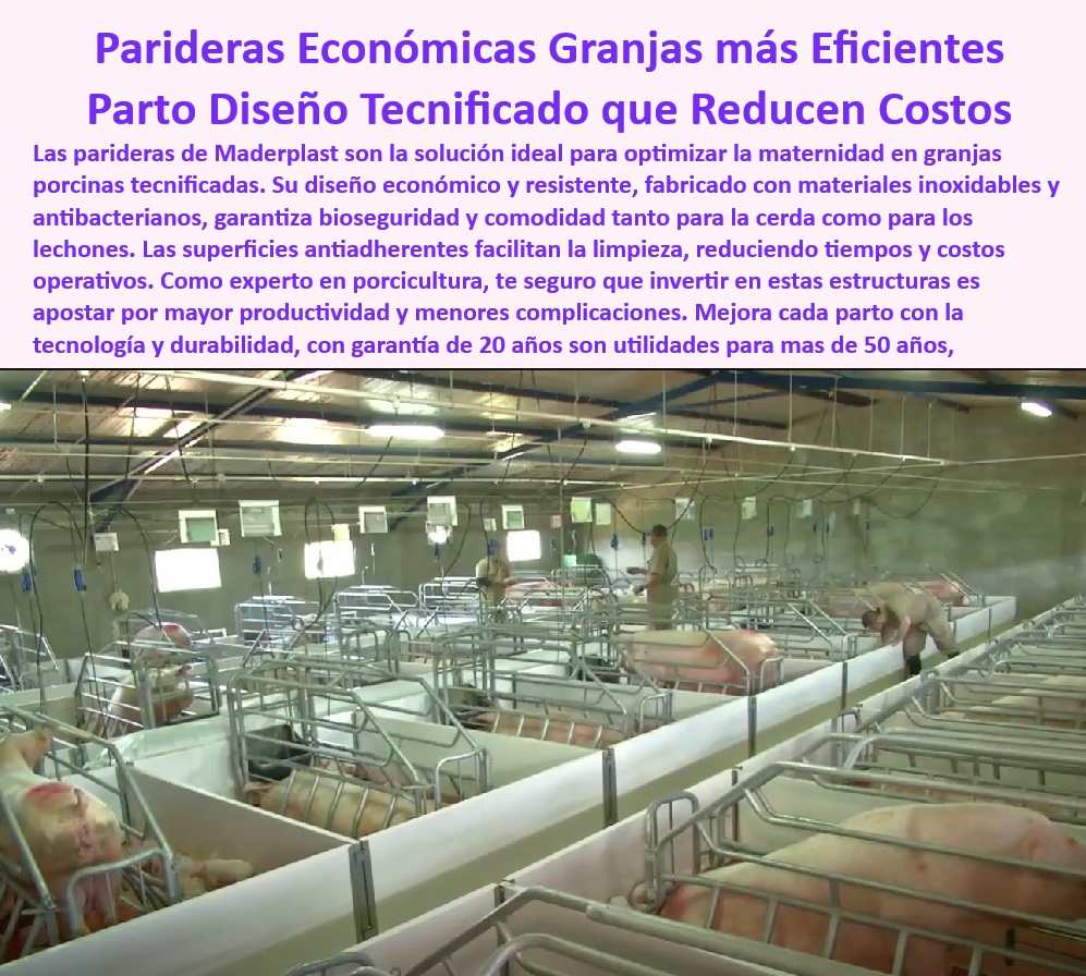 Parideras Porcícolas Higiénicas Jaula Parto Cerdas Fácil Limpieza Maderplast Infraestructura económica para productividad porcina elevada, - Infraestructura-Porcina-Sostenible - Sistemas-Higiénicos-Para-Partos - Infraestructura higiénica para reducir complicaciones en partos, - Parideras desmontables para facilitar la limpieza profunda, - Pisos antideslizantes para maternidad porcina higiénica, - Soluciones eficientes para minimizar enfermedades porcinas, - Parideras-Modulares-Resistentes - Soluciones modulares para crianza porcina eficiente, - ¿Cuáles son las opciones económicas para la maternidad porcina? - Soluciones para manejo eficiente de residuos en maternidad, - Jaulas modulares diseñadas para optimizar el espacio porcino, - Sistemas higiénicos para maternidad porcina tecnificada, - Pisos-Plásticos-Drenantes-Porcinos - Parideras-Tecnificadas-Antibacterianas - Parideras que cumplen con normativas de bioseguridad, - Jaulas-De-Parto-Antideslizantes - ¿Cuáles son las mejores jaulas de parto higiénicas y resistentes? - Soluciones-Maternidad-Porcina-Tecnificadas - Parideras tecnológicas que reducen tiempos de mantenimiento, - Jaulas diseñadas para mayor comodidad de cerdas y lechones, - ¿Qué parideras garantizan bioseguridad y fácil limpieza? - Pisos plásticos drenantes para jaulas porcinas higiénicas, - Jaulas tecnificadas para granjas que reducen costos operativos, - Infraestructura sostenible para maternidad en granjas modernas, - Parideras resistentes al desgaste con garantía extendida, - Sistemas ajustables para granjas tecnificadas con alta demanda, - Parideras de cerdas con diseño resistente y antibacteriano, - Jaulas-De-Cerdas-Fácil-Limpieza - ¿Qué sistemas reducen costos en maternidad porcina? - Sistemas innovadores para maximizar la producción porcina, - Infraestructura-Porcina-Durable - Infraestructura porcina con materiales plásticos anticorrosión, - Sistemas para optimizar el manejo de cerdas y lechones, - Sistemas avanzados que maximizan la bioseguridad porcina, - Jaulas accesibles con diseño ergonómico para cerdas, - Sistemas-De-Bioseguridad-Porcina - Parideras económicas para granjas porcinas eficientes, - ¿Dónde encontrar parideras económicas para granjas tecnificadas? - Jaulas de parto duraderas con pisos antideslizantes. - Parideras higiénicas y resistentes al desgaste - Diseños accesibles para manejo parto de cerdas - Parideras con pisos antideslizantes básicos - Paneles plásticos Parideras Porcícolas Higiénicas Jaula Parto Cerdas Fácil Limpieza Maderplast Parideras higiénicas y resistentes al desgaste Diseños accesibles para manejo parto de cerdas Parideras con pisos antideslizantes básicos Paneles plásticos Infraestructura económica para productividad porcina elevada, - Infraestructura-Porcina-Sostenible - Sistemas-Higiénicos-Para-Partos - Infraestructura higiénica para reducir complicaciones en partos, - Parideras desmontables para facilitar la limpieza profunda, - Pisos antideslizantes para maternidad porcina higiénica, - Soluciones eficientes para minimizar enfermedades porcinas, - Parideras-Modulares-Resistentes - Soluciones modulares para crianza porcina eficiente, - ¿Cuáles son las opciones económicas para la maternidad porcina? - Soluciones para manejo eficiente de residuos en maternidad, - Jaulas modulares diseñadas para optimizar el espacio porcino, - Sistemas higiénicos para maternidad porcina tecnificada, - Pisos-Plásticos-Drenantes-Porcinos - Parideras-Tecnificadas-Antibacterianas - Parideras que cumplen con normativas de bioseguridad, - Jaulas-De-Parto-Antideslizantes - ¿Cuáles son las mejores jaulas de parto higiénicas y resistentes? - Soluciones-Maternidad-Porcina-Tecnificadas - Parideras tecnológicas que reducen tiempos de mantenimiento, - Jaulas diseñadas para mayor comodidad de cerdas y lechones, - ¿Qué parideras garantizan bioseguridad y fácil limpieza? - Pisos plásticos drenantes para jaulas porcinas higiénicas, - Jaulas tecnificadas para granjas que reducen costos operativos, - Infraestructura sostenible para maternidad en granjas modernas, - Parideras resistentes al desgaste con garantía extendida, - Sistemas ajustables para granjas tecnificadas con alta demanda, - Parideras de cerdas con diseño resistente y antibacteriano, - Jaulas-De-Cerdas-Fácil-Limpieza - ¿Qué sistemas reducen costos en maternidad porcina? - Sistemas innovadores para maximizar la producción porcina, - Infraestructura-Porcina-Durable - Infraestructura porcina con materiales plásticos anticorrosión, - Sistemas para optimizar el manejo de cerdas y lechones, - Sistemas avanzados que maximizan la bioseguridad porcina, - Jaulas accesibles con diseño ergonómico para cerdas, - Sistemas-De-Bioseguridad-Porcina - Parideras económicas para granjas porcinas eficientes, - ¿Dónde encontrar parideras económicas para granjas tecnificadas? - Jaulas de parto duraderas con pisos antideslizantes. Parideras Porcícolas Higiénicas Jaula Parto Cerdas Fácil Limpieza Maderplast - Parideras higiénicas y resistentes al desgaste - Diseños accesibles para manejo parto de cerdas - Parideras con pisos antideslizantes básicos - Paneles plásticos