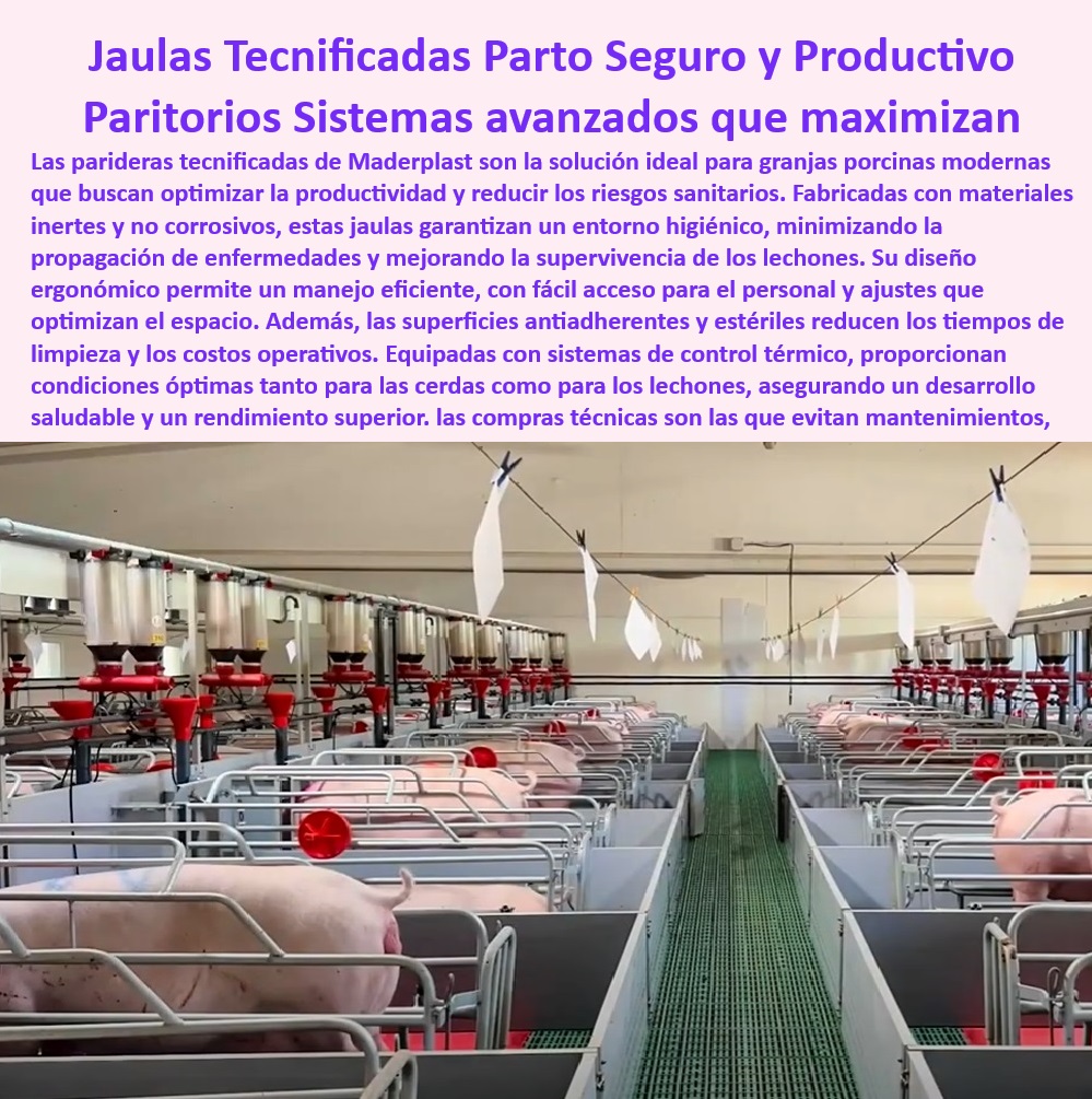 Parideras Porcícolas Higiénicas Jaula Parto Cerdas Fácil Limpieza Maderplast Jaulas-Diseño-Ergonómico-Porcino - Sistemas-De-Bienestar-Porcino - Parideras-Higiénicas-Tecnificadas - Parideras económicas para granjas porcinas modernas, - Sistemas avanzados para parideras higiénicas, - ¿Qué jaulas de parto minimizan el mantenimiento en granjas tecnificadas? - Jaulas tecnificadas para maternidad porcina eficiente, - Jaulas de maternidad seguras con mínimo mantenimiento, - Pisos drenantes para jaulas de maternidad porcina, - Sistemas ajustables para maximizar el espacio en maternidad, - Jaulas desmontables para maternidad con condiciones óptimas, - ¿Qué infraestructura porcina garantiza higiene y bienestar animal? - ¿Qué sistemas avanzados optimizan la maternidad porcina? - Jaulas con superficies antiadherentes para higiene superior, - Pisos drenantes para manejo eficiente de residuos, - Infraestructura de maternidad porcina con fácil limpieza, - Jaulas-Tecnificadas-Sin-Corrosión - Parideras-Con-Pisos-Drenantes - Soluciones modulares para maternidad porcina higiénica, - Bioseguridad-En-Granjas-Porcinas - Soluciones para minimizar costos operativos en granjas, - Infraestructura para reducir enfermedades en lechones, - Parideras desmontables para cerdas con sistemas térmicos, - Infraestructura para bienestar de cerdas y lechones, - Jaulas de parto eficientes - Sistemas-Para-Maternidad-Porcina - Jaulas de parto seguras y productivas para cerdas, - Sistemas avanzados que maximizan la productividad porcina, - Jaulas diseñadas para condiciones térmicas óptimas, - Sistemas eficientes para optimizar la productividad porcina, - ¿Dónde comprar jaulas de maternidad para cerdas con pisos drenantes? - Jaulas de cerdas con diseño ergonómico y resistente, - Sistemas modulares de bioseguridad para granjas tecnificadas, - Parideras resistentes a la corrosión y fáciles de limpiar, - ¿Cuáles son las mejores parideras desmontables para granjas porcinas? - Parideras con enfoque en bioseguridad y bienestar animal, - Infraestructura-Porcina-Modular - Soluciones innovadoras para jaulas de cerdas tecnificadas, - Sistemas de crianza porcina con materiales anticorrosivos, - Soluciones-De-Maternidad-Porcina - Placas plásticas económicas para parideras - Jaulas partos para lechones con bioseguridad - Jaulas de cerdas con pisos drenantes - Parideras con sistemas básicos Parideras Porcícolas Higiénicas Jaula Parto Cerdas Fácil Limpieza Maderplast Placas plásticas económicas para parideras Jaulas partos para lechones con bioseguridad Jaulas de cerdas con pisos drenantes Parideras con sistemas básicos Jaulas-Diseño-Ergonómico-Porcino - Sistemas-De-Bienestar-Porcino - Parideras-Higiénicas-Tecnificadas - Parideras económicas para granjas porcinas modernas, - Sistemas avanzados para parideras higiénicas, - ¿Qué jaulas de parto minimizan el mantenimiento en granjas tecnificadas? - Jaulas tecnificadas para maternidad porcina eficiente, - Jaulas de maternidad seguras con mínimo mantenimiento, - Pisos drenantes para jaulas de maternidad porcina, - Sistemas ajustables para maximizar el espacio en maternidad, - Jaulas desmontables para maternidad con condiciones óptimas, - ¿Qué infraestructura porcina garantiza higiene y bienestar animal? - ¿Qué sistemas avanzados optimizan la maternidad porcina? - Jaulas con superficies antiadherentes para higiene superior, - Pisos drenantes para manejo eficiente de residuos, - Infraestructura de maternidad porcina con fácil limpieza, - Jaulas-Tecnificadas-Sin-Corrosión - Parideras-Con-Pisos-Drenantes - Soluciones modulares para maternidad porcina higiénica, - Bioseguridad-En-Granjas-Porcinas - Soluciones para minimizar costos operativos en granjas, - Infraestructura para reducir enfermedades en lechones, - Parideras desmontables para cerdas con sistemas térmicos, - Infraestructura para bienestar de cerdas y lechones, - Jaulas de parto eficientes - Sistemas-Para-Maternidad-Porcina - Jaulas de parto seguras y productivas para cerdas, - Sistemas avanzados que maximizan la productividad porcina, - Jaulas diseñadas para condiciones térmicas óptimas, - Sistemas eficientes para optimizar la productividad porcina, - ¿Dónde comprar jaulas de maternidad para cerdas con pisos drenantes? - Jaulas de cerdas con diseño ergonómico y resistente, - Sistemas modulares de bioseguridad para granjas tecnificadas, - Parideras resistentes a la corrosión y fáciles de limpiar, - ¿Cuáles son las mejores parideras desmontables para granjas porcinas? - Parideras con enfoque en bioseguridad y bienestar animal, - Infraestructura-Porcina-Modular - Soluciones innovadoras para jaulas de cerdas tecnificadas, - Sistemas de crianza porcina con materiales anticorrosivos, - Soluciones-De-Maternidad-Porcina Parideras Porcícolas Higiénicas Jaula Parto Cerdas Fácil Limpieza Maderplast - Placas plásticas económicas para parideras - Jaulas partos para lechones con bioseguridad - Jaulas de cerdas con pisos drenantes - Parideras con sistemas básicos