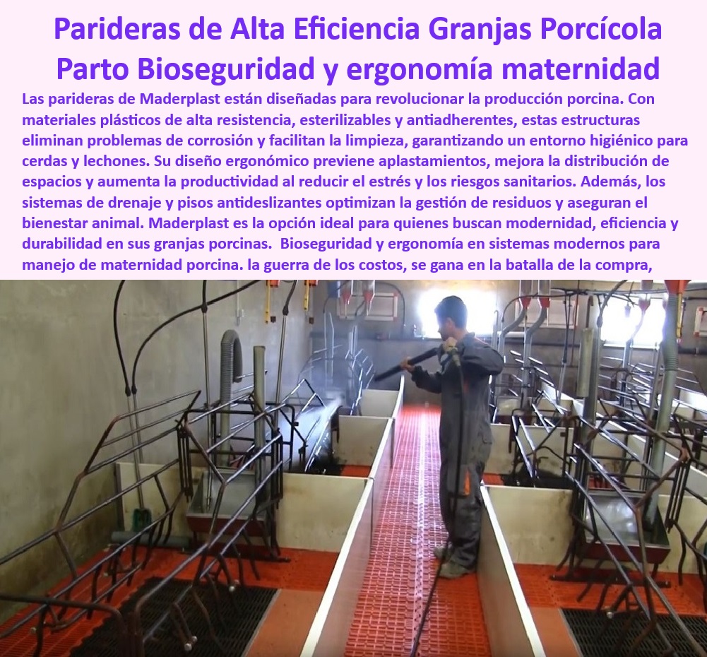 Parideras porcinas higiénicas resistentes Parto cerdas fácil limpieza Maderplast Parideras porcinas higiénicas y resistentes, - Jaulas desmontables para fácil limpieza profunda, - Infraestructura-Porcina-Avanzada - Parideras funcionales para evitar enfermedades, - Sistemas avanzados para granjas tecnificadas, - ¿Cuáles son las mejores parideras higiénicas para cerdas? - Soluciones-Para-Granjas-Tecnificadas - Pisos antideslizantes en sistemas de maternidad, - Parideras-Porcinas-Higiénicas - ¿Qué sistemas optimizan la bioseguridad en maternidad porcina? - Pisos drenantes en jaulas porcinas modernas, - Parideras tecnológicas que reducen los riesgos sanitarios, - Soluciones tecnológicas para el bienestar animal, - Infraestructura higiénica para maternidad en granjas, - Soluciones para maximizar la productividad porcina, - Pisos higiénicos para mejorar la productividad porcina, - ¿Dónde comprar jaulas de parto con drenaje eficiente? - Parideras-Modulares-Con-Bioseguridad - Jaulas de parto con garantía extendida, - Jaulas-Antibacterianas-Para-Cerdas - Parideras diseñadas para minimizar costos operativos, - ¿Qué opciones existen para pisos drenantes en granjas porcinas? - Parideras-Con-Diseño-Ergonómico - Pisos-Antideslizantes-Granjas-Porcinas - Jaulas para cerdas con drenaje eficiente, - Jaulas para cerdas con alta durabilidad, - Jaulas modernas que aseguran bioseguridad, - Jaulas de parto tecnificadas - ¿Cómo elegir parideras resistentes y fáciles de limpiar? - Pisos-Drenantes-Para-Parideras - Infraestructura sostenible para granjas porcinas, - Sistemas de bioseguridad para maternidad porcina, - Parideras innovadoras que optimizan espacios, - Jaulas modulares con diseño antibacteriano, - Parideras con diseño ergonómico para cerdas, - Sistemas prácticos para manejo de maternidad, - Sistemas-De-Bioseguridad-Maternidad - Parideras plásticas resistentes a la corrosión, - Infraestructura porcina con materiales avanzados, - Jaulas de parto para cerdas tecnificadas. - Diseños iniciales granjas porcinas tecnificadas - Cómo mantener parideras higiénicas en granjas - Jaulas cerdas con pisos drenantes - Jaula máxima protección Parideras porcinas higiénicas resistentes Parto cerdas fácil limpieza Maderplast Diseños iniciales granjas porcinas tecnificadas Cómo mantener parideras higiénicas en granjas Jaulas cerdas con pisos drenantes Jaula máxima protección Parideras porcinas higiénicas y resistentes, - Jaulas desmontables para fácil limpieza profunda, - Infraestructura-Porcina-Avanzada - Parideras funcionales para evitar enfermedades, - Sistemas avanzados para granjas tecnificadas, - ¿Cuáles son las mejores parideras higiénicas para cerdas? - Soluciones-Para-Granjas-Tecnificadas - Pisos antideslizantes en sistemas de maternidad, - Parideras-Porcinas-Higiénicas - ¿Qué sistemas optimizan la bioseguridad en maternidad porcina? - Pisos drenantes en jaulas porcinas modernas, - Parideras tecnológicas que reducen los riesgos sanitarios, - Soluciones tecnológicas para el bienestar animal, - Infraestructura higiénica para maternidad en granjas, - Soluciones para maximizar la productividad porcina, - Pisos higiénicos para mejorar la productividad porcina, - ¿Dónde comprar jaulas de parto con drenaje eficiente? - Parideras-Modulares-Con-Bioseguridad - Jaulas de parto con garantía extendida, - Jaulas-Antibacterianas-Para-Cerdas - Parideras diseñadas para minimizar costos operativos, - ¿Qué opciones existen para pisos drenantes en granjas porcinas? - Parideras-Con-Diseño-Ergonómico - Pisos-Antideslizantes-Granjas-Porcinas - Jaulas para cerdas con drenaje eficiente, - Jaulas para cerdas con alta durabilidad, - Jaulas modernas que aseguran bioseguridad, - Jaulas de parto tecnificadas - ¿Cómo elegir parideras resistentes y fáciles de limpiar? - Pisos-Drenantes-Para-Parideras - Infraestructura sostenible para granjas porcinas, - Sistemas de bioseguridad para maternidad porcina, - Parideras innovadoras que optimizan espacios, - Jaulas modulares con diseño antibacteriano, - Parideras con diseño ergonómico para cerdas, - Sistemas prácticos para manejo de maternidad, - Sistemas-De-Bioseguridad-Maternidad - Parideras plásticas resistentes a la corrosión, - Infraestructura porcina con materiales avanzados, - Jaulas de parto para cerdas tecnificadas. Parideras porcinas higiénicas resistentes Parto cerdas fácil limpieza Maderplast - Diseños iniciales granjas porcinas tecnificadas - Cómo mantener parideras higiénicas en granjas - Jaulas cerdas con pisos drenantes - Jaula máxima protección