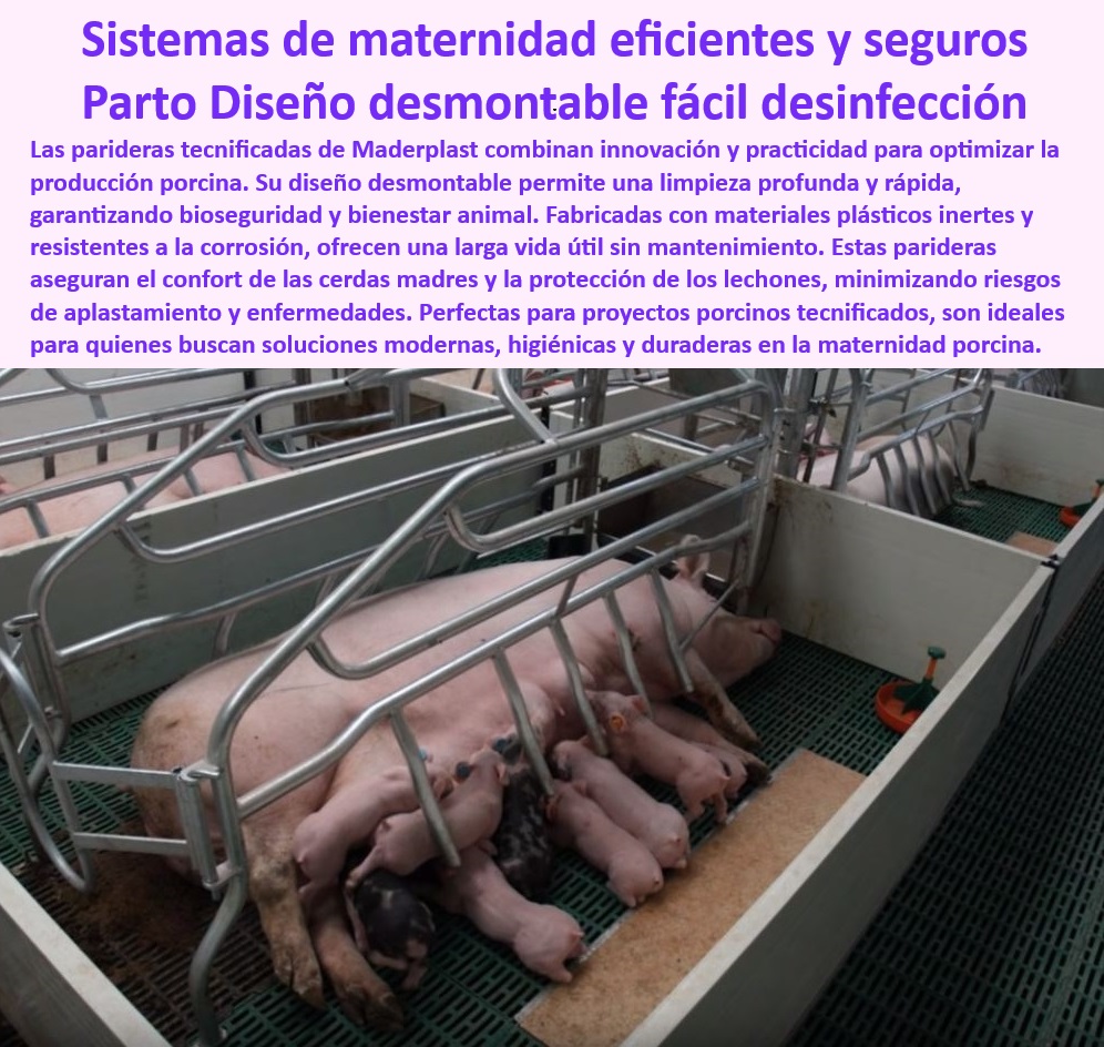 Parideras porcinas higiénicas resistentes Parto cerdas fácil limpieza Maderplast Pisos plásticos drenantes en parideras desmontables, - Parideras higiénicas para maternidad tecnificada de cerdas, - Infraestructura avanzada para granjas porcinas modernas, - Pisos-Plásticos-Drenantes-Granjas - Infraestructura-Moderna-Maternidad-Porcina - Infraestructura adaptable para proyectos de granjas tecnificadas, - Sistemas ergonómicos para reducir el estrés en cerdas, - Infraestructura duradera y sostenible para granjas porcinas, - Parideras desmontables para evitar riesgos sanitarios, - Infraestructura-Sostenible-Para-Granjas - Parideras plásticas que minimizan costos operativos, - ¿Cuáles son las mejores opciones para la bioseguridad en maternidad porcina? - Infraestructura modular para maternidad porcina eficiente, - Pisos resistentes en sistemas avanzados de maternidad, - Pisos antideslizantes en parideras desmontables modernas, - ¿Qué sistemas modernos optimizan la maternidad porcina? - Jaulas económicas diseñadas para bioseguridad porcina, - Jaulas-Diseñadas-Para-Limpieza-Fácil - ¿Dónde comprar jaulas desmontables para maternidad de cerdas? - Parideras económicas que optimizan la maternidad porcina, - Soluciones-Desmontables-Bioseguras - Parideras tecnificadas con diseño para fácil limpieza, - Jaulas de parto resistentes y de fácil montaje, - Parideras-Desmontables-Higiénicas - Infraestructura higiénica para mejorar la productividad porcina, - Sistemas-De-Bioseguridad-Porcina - Soluciones desmontables para manejo de maternidad porcina, - ¿Qué parideras son más fáciles de limpiar y montar? - Jaulas-De-Parto-Fáciles-De-Montar - Pisos-Antideslizantes-Maternidad-Cerdas - Pisos higiénicos para parideras resistentes a la corrosión, - Parideras-Eficientes-Para-Granjas - ¿Cómo elegir parideras higiénicas y económicas para granjas? - Sistemas modernos para cerdas y lechones bioseguros, - Sistemas antibacterianos en jaulas de parto para cerdas, - Sistemas de maternidad con diseño desmontable innovador, - Parideras prácticas para optimización de espacio en granjas, - Jaulas desmontables para maternidad porcina eficientes, - Parideras funcionales con soluciones personalizadas, - Jaulas para cerdas con garantía extendida de durabilidad. - Jaulas desmontables de fácil limpieza para maternidad de cerdas - Parideras económicas y fáciles de montar. - Paneles plásticos jaulas de parición higiénicas Parideras porcinas higiénicas resistentes Parto cerdas fácil limpieza Maderplast Jaulas desmontables de fácil limpieza para maternidad de cerdas Parideras económicas y fáciles de montar. Paneles plásticos jaulas de parición higiénicas Pisos plásticos drenantes en parideras desmontables, - Parideras higiénicas para maternidad tecnificada de cerdas, - Infraestructura avanzada para granjas porcinas modernas, - Pisos-Plásticos-Drenantes-Granjas - Infraestructura-Moderna-Maternidad-Porcina - Infraestructura adaptable para proyectos de granjas tecnificadas, - Sistemas ergonómicos para reducir el estrés en cerdas, - Infraestructura duradera y sostenible para granjas porcinas, - Parideras desmontables para evitar riesgos sanitarios, - Infraestructura-Sostenible-Para-Granjas - Parideras plásticas que minimizan costos operativos, - ¿Cuáles son las mejores opciones para la bioseguridad en maternidad porcina? - Infraestructura modular para maternidad porcina eficiente, - Pisos resistentes en sistemas avanzados de maternidad, - Pisos antideslizantes en parideras desmontables modernas, - ¿Qué sistemas modernos optimizan la maternidad porcina? - Jaulas económicas diseñadas para bioseguridad porcina, - Jaulas-Diseñadas-Para-Limpieza-Fácil - ¿Dónde comprar jaulas desmontables para maternidad de cerdas? - Parideras económicas que optimizan la maternidad porcina, - Soluciones-Desmontables-Bioseguras - Parideras tecnificadas con diseño para fácil limpieza, - Jaulas de parto resistentes y de fácil montaje, - Parideras-Desmontables-Higiénicas - Infraestructura higiénica para mejorar la productividad porcina, - Sistemas-De-Bioseguridad-Porcina - Soluciones desmontables para manejo de maternidad porcina, - ¿Qué parideras son más fáciles de limpiar y montar? - Jaulas-De-Parto-Fáciles-De-Montar - Pisos-Antideslizantes-Maternidad-Cerdas - Pisos higiénicos para parideras resistentes a la corrosión, - Parideras-Eficientes-Para-Granjas - ¿Cómo elegir parideras higiénicas y económicas para granjas? - Sistemas modernos para cerdas y lechones bioseguros, - Sistemas antibacterianos en jaulas de parto para cerdas, - Sistemas de maternidad con diseño desmontable innovador, - Parideras prácticas para optimización de espacio en granjas, - Jaulas desmontables para maternidad porcina eficientes, - Parideras funcionales con soluciones personalizadas, - Jaulas para cerdas con garantía extendida de durabilidad. Parideras porcinas higiénicas resistentes Parto cerdas fácil limpieza Maderplast - Jaulas desmontables de fácil limpieza para maternidad de cerdas - Parideras económicas y fáciles de montar. - Paneles plásticos jaulas de parición higiénicas