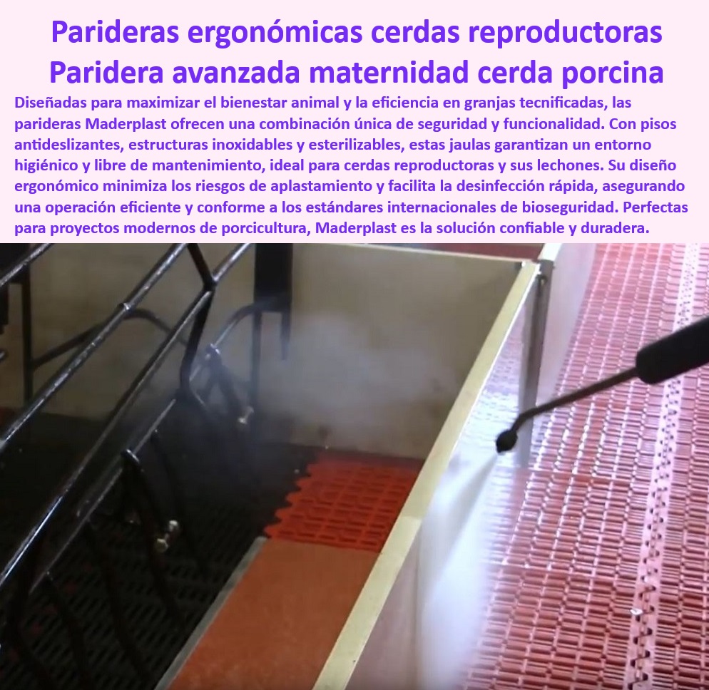 Parideras porcinas higiénicas resistentes Parto cerdas fácil limpieza Maderplast Parideras seguras y térmicas para cerdas reproductoras, - Bioseguridad-En-Maternidad-Porcina - Parideras higiénicas con drenaje eficiente para granjas, - Estructuras de alta tecnología para reducir costos operativos, - Sistemas eficientes para prevenir aplastamientos en lechones, - Soluciones prácticas y accesibles para maternidad porcina, - Sistemas seguros para evitar aplastamientos en cerdos, - Parideras resistentes para granjas tecnificadas y sostenibles, - Estructuras-Inoxidables-Maternidad - Soluciones modulares para manejo eficiente de cerdas, - Diseño-Ergonómico-Para-Cerdas - Drenaje-Eficiente-En-Parideras - Innovación-En-Producción-Porcina - Soluciones-Térmicas-En-Granjas - Parideras térmicas avanzadas para maternidad porcina, - Parideras-Eficientes-Y-Higiénicas - Parideras con pisos antideslizantes y esterilizables, - Jaulas higiénicas para maternidad con materiales avanzados, - Sistemas avanzados para mejorar la productividad porcina, - ¿Cuáles son las mejores parideras térmicas para cerdas reproductoras? - Jaulas de maternidad con diseño ergonómico avanzado, - Jaulas avanzadas para manejo seguro de maternidad porcina, - Jaulas-De-Maternidad-Tecnificada - ¿Dónde encontrar parideras higiénicas con drenaje avanzado? - Parideras innovadoras para garantizar el bienestar animal, - Infraestructura-Segura-Para-Lechones - Diseño sostenible para proyectos tecnificados de porcicultura, - Diseño ergonómico para minimizar riesgos en maternidad porcina, - Soluciones térmicas para bienestar en maternidad porcina, - Sistemas de bioseguridad para lechones recién nacidos, - Parideras adaptadas a normativas internacionales de bioseguridad, - ¿Cómo mejorar la bioseguridad en maternidad porcina tecnificada? - Estructuras inoxidables y libres de mantenimiento para cerdas, - Infraestructura higiénica y eficiente para cerdas reproductoras, - Parideras de fácil limpieza y alta durabilidad, - Infraestructura reciclable y sostenible para granjas porcinas, - Jaulas resistentes a la corrosión para bienestar en granjas, - ¿Qué parideras garantizan el bienestar de cerdas y lechones? - Parideras-Térmicas-Para-Cerdas - ¿Qué jaulas de maternidad son más seguras para evitar aplastamientos? Parideras con sistemas básicos de drenaje parto con Sistemas seguros para evitar aplastamientos Soluciones térmicas avanzadas para bienestar en maternidad 0 Parideras porcinas higiénicas resistentes Parto cerdas fácil limpieza Maderplast Parideras con sistemas básicos de drenaje parto con Sistemas seguros para evitar aplastamientos Soluciones térmicas avanzadas para bienestar en maternidad 0 Parideras seguras y térmicas para cerdas reproductoras, - Bioseguridad-En-Maternidad-Porcina - Parideras higiénicas con drenaje eficiente para granjas, - Estructuras de alta tecnología para reducir costos operativos, - Sistemas eficientes para prevenir aplastamientos en lechones, - Soluciones prácticas y accesibles para maternidad porcina, - Sistemas seguros para evitar aplastamientos en cerdos, - Parideras resistentes para granjas tecnificadas y sostenibles, - Estructuras-Inoxidables-Maternidad - Soluciones modulares para manejo eficiente de cerdas, - Diseño-Ergonómico-Para-Cerdas - Drenaje-Eficiente-En-Parideras - Innovación-En-Producción-Porcina - Soluciones-Térmicas-En-Granjas - Parideras térmicas avanzadas para maternidad porcina, - Parideras-Eficientes-Y-Higiénicas - Parideras con pisos antideslizantes y esterilizables, - Jaulas higiénicas para maternidad con materiales avanzados, - Sistemas avanzados para mejorar la productividad porcina, - ¿Cuáles son las mejores parideras térmicas para cerdas reproductoras? - Jaulas de maternidad con diseño ergonómico avanzado, - Jaulas avanzadas para manejo seguro de maternidad porcina, - Jaulas-De-Maternidad-Tecnificada - ¿Dónde encontrar parideras higiénicas con drenaje avanzado? - Parideras innovadoras para garantizar el bienestar animal, - Infraestructura-Segura-Para-Lechones - Diseño sostenible para proyectos tecnificados de porcicultura, - Diseño ergonómico para minimizar riesgos en maternidad porcina, - Soluciones térmicas para bienestar en maternidad porcina, - Sistemas de bioseguridad para lechones recién nacidos, - Parideras adaptadas a normativas internacionales de bioseguridad, - ¿Cómo mejorar la bioseguridad en maternidad porcina tecnificada? - Estructuras inoxidables y libres de mantenimiento para cerdas, - Infraestructura higiénica y eficiente para cerdas reproductoras, - Parideras de fácil limpieza y alta durabilidad, - Infraestructura reciclable y sostenible para granjas porcinas, - Jaulas resistentes a la corrosión para bienestar en granjas, - ¿Qué parideras garantizan el bienestar de cerdas y lechones? - Parideras-Térmicas-Para-Cerdas - ¿Qué jaulas de maternidad son más seguras para evitar aplastamientos? Parideras porcinas higiénicas resistentes Parto cerdas fácil limpieza Maderplast Parideras con sistemas básicos de drenaje parto con Sistemas seguros para evitar aplastamientos Soluciones térmicas avanzadas para bienestar en maternidad 0
