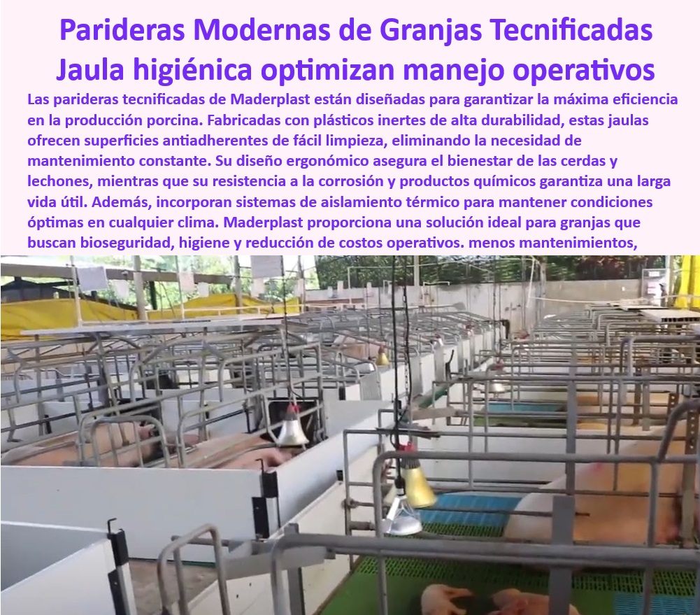 Parideras porcinas higiénicas resistentes Parto cerdas fácil limpieza Maderplast Parideras-Fáciles-De-Limpiar - Jaulas higiénicas y resistentes para partos de cerdas, - Sistemas-Modulares-Maternidad-Porcina - Jaulas-Duraderas-Y-Eficientes - Infraestructura-Porcina-Moderna - Sistemas de partos eficientes y fáciles de limpiar, - Parideras modulares para optimizar el manejo en granjas, - Sistemas de maternidad que minimizan el estrés en cerdas, - ¿Qué jaulas de parto son resistentes y fáciles de limpiar? - Jaulas de parto económico y de larga vida útil, - Jaulas modernas para producción porcina sostenible, - Bioseguridad-En-Granjas-Porcinas - Jaulas resistentes a químicos y productos corrosivos, - ¿Qué jaulas modulares son ideales para maternidad porcina? - Jaulas desmontables para maternidad porcina eficiente, - Sistemas de parición adaptados a granjas tecnificadas, - Diseño-Modular-En-Porcicultura - Jaulas higiénicas diseñadas para reducir enfermedades porcinas, - Parideras con superficies antiadherentes para fácil limpieza, - Sistemas modulares para bioseguridad en maternidad porcina, - ¿Cuáles son las mejores parideras con control térmico para granjas? - Parideras para minimizar el aplastamiento de lechones, - Parideras sostenibles para mejorar el bienestar animal, - Sistemas de Parto Innovadores - Sistemas modulares para maximizar la productividad porcina, - Soluciones económicas para maternidad tecnificada en porcicultura, - Jaulas innovadoras con aislamiento térmico y durabilidad, - ¿Dónde comprar sistemas de parto higiénicos para cerdas? - Jaulas de maternidad que reducen costos operativos, - Infraestructura modular para granjas porcinas eficientes, - Maternidad porcina con sistemas de drenaje higiénico, - Parideras-Modulares-Para-Cerdas - Sistemas resistentes para manejo seguro de cerdas y lechones, - Diseños innovadores en jaulas de parto para cerdas, - Jaulas-Higiénicas-Resistentes - ¿Qué sistemas modulares optimizan la bioseguridad en granjas porcinas? - Parideras para cerdas con control térmico integrado, - Estructuras para maternidad porcina sin mantenimiento, - Soluciones-Para-Maternidad-Tecnificada - Soluciones modulares para bioseguridad porcina. - Sistemas modulares para optimizar la bioseguridad en maternidad porcina - Jaulas modulares básicas cerdas madre - Diseños innovadores en sistemas de partos 0 Parideras porcinas higiénicas resistentes Parto cerdas fácil limpieza Maderplast Sistemas modulares para optimizar la bioseguridad en maternidad porcina Jaulas modulares básicas cerdas madre Diseños innovadores en sistemas de partos 0 Parideras-Fáciles-De-Limpiar - Jaulas higiénicas y resistentes para partos de cerdas, - Sistemas-Modulares-Maternidad-Porcina - Jaulas-Duraderas-Y-Eficientes - Infraestructura-Porcina-Moderna - Sistemas de partos eficientes y fáciles de limpiar, - Parideras modulares para optimizar el manejo en granjas, - Sistemas de maternidad que minimizan el estrés en cerdas, - ¿Qué jaulas de parto son resistentes y fáciles de limpiar? - Jaulas de parto económico y de larga vida útil, - Jaulas modernas para producción porcina sostenible, - Bioseguridad-En-Granjas-Porcinas - Jaulas resistentes a químicos y productos corrosivos, - ¿Qué jaulas modulares son ideales para maternidad porcina? - Jaulas desmontables para maternidad porcina eficiente, - Sistemas de parición adaptados a granjas tecnificadas, - Diseño-Modular-En-Porcicultura - Jaulas higiénicas diseñadas para reducir enfermedades porcinas, - Parideras con superficies antiadherentes para fácil limpieza, - Sistemas modulares para bioseguridad en maternidad porcina, - ¿Cuáles son las mejores parideras con control térmico para granjas? - Parideras para minimizar el aplastamiento de lechones, - Parideras sostenibles para mejorar el bienestar animal, - Sistemas de Parto Innovadores - Sistemas modulares para maximizar la productividad porcina, - Soluciones económicas para maternidad tecnificada en porcicultura, - Jaulas innovadoras con aislamiento térmico y durabilidad, - ¿Dónde comprar sistemas de parto higiénicos para cerdas? - Jaulas de maternidad que reducen costos operativos, - Infraestructura modular para granjas porcinas eficientes, - Maternidad porcina con sistemas de drenaje higiénico, - Parideras-Modulares-Para-Cerdas - Sistemas resistentes para manejo seguro de cerdas y lechones, - Diseños innovadores en jaulas de parto para cerdas, - Jaulas-Higiénicas-Resistentes - ¿Qué sistemas modulares optimizan la bioseguridad en granjas porcinas? - Parideras para cerdas con control térmico integrado, - Estructuras para maternidad porcina sin mantenimiento, - Soluciones-Para-Maternidad-Tecnificada - Soluciones modulares para bioseguridad porcina. Parideras porcinas higiénicas resistentes Parto cerdas fácil limpieza Maderplast - Sistemas modulares para optimizar la bioseguridad en maternidad porcina - Jaulas modulares básicas cerdas madre - Diseños innovadores en sistemas de partos 0