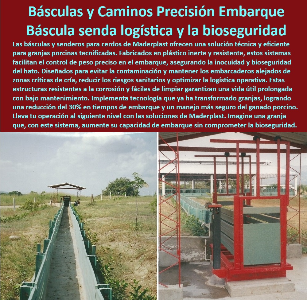 Pesaje preciso para cerdos Sistema para embarcar y pesar cerdos Maderplast Caminos modulares para transporte seguro de cerdos. - Infraestructura-higiénica-en-granjas - Optimización del embarque porcino con infraestructura moderna. - ¿Cuáles son las mejores básculas para manejo higiénico de cerdos? - Caminos especializados para transporte porcino eficiente. - Senderos-plásticos-para-ganado - Pesaje-automatizado-para-cerdos - Soluciones integrales para embarques de ganado porcino. - Diseños de embarcaderos seguros para granjas modernas. - ¿Qué sistemas avanzados mejoran la bioseguridad en porcicultura? - Pesaje-preciso-en-granjas-porcinas - Sistemas de manejo porcino - Soluciones innovadoras para pesaje y manejo porcino. - Infraestructura higiénica para embarques porcinos seguros. - Sistemas-duraderos-para-embarcaderos - Sistemas anticorrosivos para logística en porcicultura. - Infraestructura-moderna-para-porcicultura - Soluciones tecnológicas para transporte de cerdos. - Infraestructura para manejo higiénico de ganado porcino. - Pesaje eficiente de cerdos para granjas tecnificadas. - Logística segura para cerdos - Sistemas de logística avanzada en granjas porcinas. - Sistemas duraderos para transporte de ganado porcino. - Tecnología en básculas para ganadería de cerdos. - Caminos-resistentes-para-bioseguridad - Soluciones-tecnificadas-en-porcicultura - ¿Qué soluciones existen para el transporte seguro de ganado porcino? - ¿Cómo optimizar la logística de embarque en granjas porcinas? - Senderos higiénicos para conducción de ganado porcino. - Pesaje automatizado de cerdos en embarcaderos modernos. - Infraestructuras resistentes para transporte porcino. - Infraestructura plástica higiénica para manejo porcino. - ¿Dónde encontrar sistemas de pesaje automatizado para cerdos? - Senderos plásticos para conducción eficiente de cerdos. - Básculas tecnificadas para manejo porcino eficiente. - Sistemas de pesaje automatizado para cerdos. - Pesaje preciso y confiable para porcicultura tecnificada. - Sistemas avanzados de pesaje para granjas industriales. - Caminos plásticos resistentes para bioseguridad animal. - Manejo eficiente del embarque porcino en granjas - Diseño de caminos para cerdos hacia plantas de sacrificio - Senderos plásticos para conducción de cerdos al embarcadero - Pesaje automatizado para cerdos en granja Pesaje preciso para cerdos Sistema para embarcar y pesar cerdos Maderplast Diseño de caminos para cerdos hacia plantas de sacrificio Senderos plásticos para conducción de cerdos al embarcadero Pesaje automatizado para cerdos en granja Caminos modulares para transporte seguro de cerdos. - Infraestructura-higiénica-en-granjas - Optimización del embarque porcino con infraestructura moderna. - ¿Cuáles son las mejores básculas para manejo higiénico de cerdos? - Caminos especializados para transporte porcino eficiente. - Senderos-plásticos-para-ganado - Pesaje-automatizado-para-cerdos - Soluciones integrales para embarques de ganado porcino. - Diseños de embarcaderos seguros para granjas modernas. - ¿Qué sistemas avanzados mejoran la bioseguridad en porcicultura? - Pesaje-preciso-en-granjas-porcinas - Sistemas de manejo porcino - Soluciones innovadoras para pesaje y manejo porcino. - Infraestructura higiénica para embarques porcinos seguros. - Sistemas-duraderos-para-embarcaderos - Sistemas anticorrosivos para logística en porcicultura. - Infraestructura-moderna-para-porcicultura - Soluciones tecnológicas para transporte de cerdos. - Infraestructura para manejo higiénico de ganado porcino. - Pesaje eficiente de cerdos para granjas tecnificadas. - Logística segura para cerdos - Sistemas de logística avanzada en granjas porcinas. - Sistemas duraderos para transporte de ganado porcino. - Tecnología en básculas para ganadería de cerdos. - Caminos-resistentes-para-bioseguridad - Soluciones-tecnificadas-en-porcicultura - ¿Qué soluciones existen para el transporte seguro de ganado porcino? - ¿Cómo optimizar la logística de embarque en granjas porcinas? - Senderos higiénicos para conducción de ganado porcino. - Pesaje automatizado de cerdos en embarcaderos modernos. - Infraestructuras resistentes para transporte porcino. - Infraestructura plástica higiénica para manejo porcino. - ¿Dónde encontrar sistemas de pesaje automatizado para cerdos? - Senderos plásticos para conducción eficiente de cerdos. - Básculas tecnificadas para manejo porcino eficiente. - Sistemas de pesaje automatizado para cerdos. - Pesaje preciso y confiable para porcicultura tecnificada. - Sistemas avanzados de pesaje para granjas industriales. - Caminos plásticos resistentes para bioseguridad animal. - Manejo eficiente del embarque porcino en granjas Pesaje preciso para cerdos Sistema para embarcar y pesar cerdos Maderplast - Diseño de caminos para cerdos hacia plantas de sacrificio - Senderos plásticos para conducción de cerdos al embarcadero - Pesaje automatizado para cerdos en granja