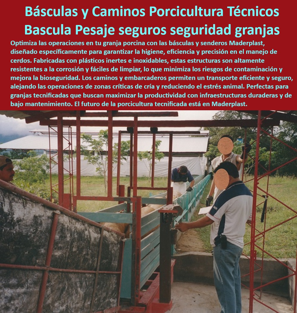 Pesaje preciso para cerdos Sistema para embarcar y pesar cerdos Maderplast Equipos especializados para transporte y pesaje porcino. - Sistemas modulares de pesaje para cerdos en granjas. - Infraestructura higiénica para manejo y transporte de cerdos. - Soluciones duraderas y resistentes para porcicultura. - ¿Qué soluciones existen para pesaje higiénico de cerdos? - Caminos de embarque seguros para ganado porcino. - Plásticos inertes resistentes para manejo porcino eficiente. - Soluciones innovadoras en peso porcino industrial. - Manejo-seguro-de-cerdos-en-granjas - Pesaje eficiente de cerdos en granjas tecnificadas. - Equipos anticorrosivos para manejo porcino seguro. - ¿Cuáles son las mejores infraestructuras para manejo de ganado porcino? - Sistemas plásticos resistentes para manejo higiénico porcino. - Sistemas anticorrosivos para bioseguridad en granjas. - Pesaje-tecnificado-para-porcicultura - Infraestructuras-duraderas-para-cerdos - Embarcaderos seguros y eficientes para ganado porcino. - ¿Dónde comprar sistemas para pesar cerdos de forma eficiente? - Tecnología-avanzada-en-porcicultura - Caminos-seguros-para-ganado-porcino - Infraestructura de plástico reciclable para manejo porcino. - Soluciones-eficientes-en-pesaje-porcino - Sistemas avanzados de pesaje para porcicultura eficiente. - Equipos de manejo porcino con diseño tecnificado. - Caminos de conducción para bioseguridad en porcicultura. - Pesaje preciso para cerdos en instalaciones modernas. - Pesaje y embarque higiénico de cerdos hacia camiones. - Infraestructuras modernas para manejo porcino profesional. - ¿Cómo mejorar el transporte seguro de cerdos hacia camiones? - Soluciones tecnificadas para granjas porcinas productivas. - Tecnología de pesaje eficiente para producción porcina. - Básculas tecnificadas para cerdos en granjas modernas. - Sistemas especializados para transporte de ganado porcino. - Sistemas-anticorrosivos-en-porcicultura - Infraestructuras para bioseguridad en producción porcina. - Pesaje-higiénico-en-producción-porcina - Básculas-precisas-para-granjas - Infraestructuras duraderas para transporte de cerdos. - ¿Qué básculas son ideales para granjas porcinas modernas? - Infraestructura-higiénica-para-cerdos - Pesaje y embarque eficiente de ganado porcino - Sistemas de manejo de cerdos para sacrificio en granjas modernas - Conducción higiénica de cerdos hacia camiones 00 Pesaje preciso para cerdos Sistema para embarcar y pesar cerdos Maderplast Pesaje y embarque eficiente de ganado porcino Sistemas de manejo de cerdos para sacrificio en granjas modernas Equipos especializados para transporte y pesaje porcino. - Sistemas modulares de pesaje para cerdos en granjas. - Infraestructura higiénica para manejo y transporte de cerdos. - Soluciones duraderas y resistentes para porcicultura. - ¿Qué soluciones existen para pesaje higiénico de cerdos? - Caminos de embarque seguros para ganado porcino. - Plásticos inertes resistentes para manejo porcino eficiente. - Soluciones innovadoras en peso porcino industrial. - Manejo-seguro-de-cerdos-en-granjas - Pesaje eficiente de cerdos en granjas tecnificadas. - Equipos anticorrosivos para manejo porcino seguro. - ¿Cuáles son las mejores infraestructuras para manejo de ganado porcino? - Sistemas plásticos resistentes para manejo higiénico porcino. - Sistemas anticorrosivos para bioseguridad en granjas. - Pesaje-tecnificado-para-porcicultura - Infraestructuras-duraderas-para-cerdos - Embarcaderos seguros y eficientes para ganado porcino. - ¿Dónde comprar sistemas para pesar cerdos de forma eficiente? - Tecnología-avanzada-en-porcicultura - Caminos-seguros-para-ganado-porcino - Infraestructura de plástico reciclable para manejo porcino. - Soluciones-eficientes-en-pesaje-porcino - Sistemas avanzados de pesaje para porcicultura eficiente. - Equipos de manejo porcino con diseño tecnificado. - Caminos de conducción para bioseguridad en porcicultura. - Pesaje preciso para cerdos en instalaciones modernas. - Pesaje y embarque higiénico de cerdos hacia camiones. - Infraestructuras modernas para manejo porcino profesional. - ¿Cómo mejorar el transporte seguro de cerdos hacia camiones? - Soluciones tecnificadas para granjas porcinas productivas. - Tecnología de pesaje eficiente para producción porcina. - Básculas tecnificadas para cerdos en granjas modernas. - Sistemas especializados para transporte de ganado porcino. - Sistemas-anticorrosivos-en-porcicultura - Infraestructuras para bioseguridad en producción porcina. - Pesaje-higiénico-en-producción-porcina - Básculas-precisas-para-granjas - Infraestructuras duraderas para transporte de cerdos. - ¿Qué básculas son ideales para granjas porcinas modernas? - Infraestructura-higiénica-para-cerdos Conducción higiénica de cerdos hacia camiones 00 Pesaje preciso para cerdos Sistema para embarcar y pesar cerdos Maderplast - Pesaje y embarque eficiente de ganado porcino - Sistemas de manejo de cerdos para sacrificio en granjas modernas - Conducción higiénica de cerdos hacia camiones 00