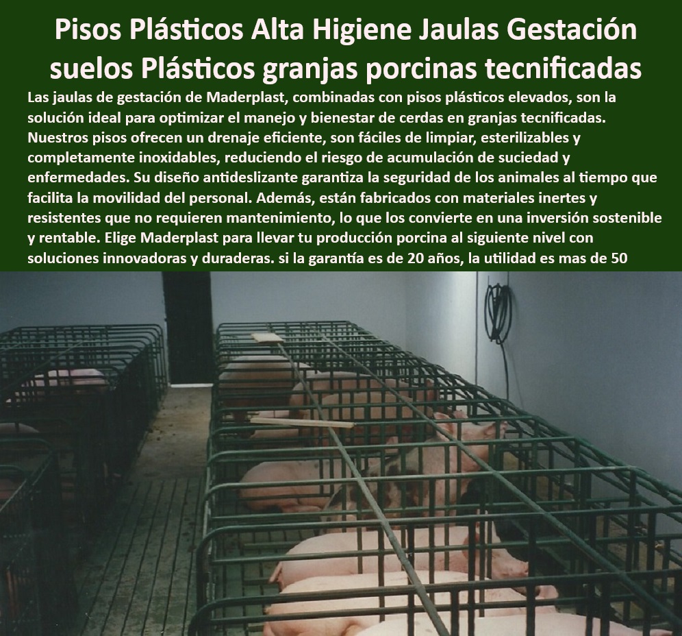 Pisos plástico Placa drenaje eficiente en corrales Porcícolas Maderplast Pisos de plástico reciclables para manejo eficiente en granjas, - Soluciones-Plásticas-Ecológicas - Drenaje eficiente con pisos plásticos de alta calidad, - Materiales plásticos resistentes a la corrosión para corrales, - Bioseguridad-En-Corrales-Porcinos - Pisos antideslizantes para mayor seguridad en granjas, - ¿Cómo elegir pisos antideslizantes para seguridad en la porcicultura? - Superficies antideslizantes para seguridad en granjas porcinas, - Soluciones avanzadas de pisos para bioseguridad porcina, - Infraestructura-Sostenible-Porcicultura - Pisos higiénicos y resistentes para el bienestar de los cerdos, - ¿Dónde comprar pisos plásticos elevados para corrales porcinos? - Pisos plásticos elevados para corrales porcinos modernos, - Sistemas plásticos avanzados para corrales porcinos, - Sistemas de pisos higiénicos para producción porcina intensiva, - Pisos especializados para reducir enfermedades en granjas, - ¿Qué pisos higiénicos son ideales para granjas tecnificadas? - Pisos diseñados para optimizar la bioseguridad en granjas, - Placas plásticas resistentes para un drenaje eficiente en granjas, - Superficies inoxidables para corrales de cerdas reproductoras, - Superficies duraderas para uso intensivo en porcicultura, - Superficies-Inoxidables-Porcinas - Pisos modulares para instalaciones tecnificadas de cerdos, - Pisos plásticos que cumplen con las normativas sanitarias internacionales, - Soluciones de pisos ecológicos para granjas tecnificadas, - Placas plásticas ecológicas para producción porcina tecnificada, - Sistemas Elevados En Granjas - Infraestructura de pisos modulares para la porcicultura sostenible, - ¿Qué materiales son mejores para el drenaje en granjas porcinas? - Pisos plásticos con diseño ergonómico y duradero, - Pisos elevados para manejo eficiente de residuos porcinos, - ¿Cuáles son las mejores superficies plásticas para el manejo de residuos? - Pisos-Plásticos-Para-Corrales - Pisos Antideslizantes Granjas - Sistemas de drenaje avanzados para corrales higiénicos, - Soluciones sostenibles en pisos para la industria porcina, - Pisos de fácil limpieza para instalaciones porcinas avanzadas, - Drenaje eficiente en granjas - Pisos modulares para granjas - Pisos Higiénicos Con Drenaje - Pisos plásticos ecológicos que cumplen con normativas sanitarias - Superficies plásticas inoxidables para uso intensivo porcino - Sistemas de pisos elevados manejo 0 Pisos plástico Placa drenaje eficiente en corrales Porcícolas Maderplast Pisos plásticos ecológicos que cumplen con normativas sanitarias Superficies plásticas inoxidables para uso intensivo porcino Sistemas de pisos elevados manejo 0 Pisos de plástico reciclables para manejo eficiente en granjas, - Soluciones-Plásticas-Ecológicas - Drenaje eficiente con pisos plásticos de alta calidad, - Materiales plásticos resistentes a la corrosión para corrales, - Bioseguridad-En-Corrales-Porcinos - Pisos antideslizantes para mayor seguridad en granjas, - ¿Cómo elegir pisos antideslizantes para seguridad en la porcicultura? - Superficies antideslizantes para seguridad en granjas porcinas, - Soluciones avanzadas de pisos para bioseguridad porcina, - Infraestructura-Sostenible-Porcicultura - Pisos higiénicos y resistentes para el bienestar de los cerdos, - ¿Dónde comprar pisos plásticos elevados para corrales porcinos? - Pisos plásticos elevados para corrales porcinos modernos, - Sistemas plásticos avanzados para corrales porcinos, - Sistemas de pisos higiénicos para producción porcina intensiva, - Pisos especializados para reducir enfermedades en granjas, - ¿Qué pisos higiénicos son ideales para granjas tecnificadas? - Pisos diseñados para optimizar la bioseguridad en granjas, - Placas plásticas resistentes para un drenaje eficiente en granjas, - Superficies inoxidables para corrales de cerdas reproductoras, - Superficies duraderas para uso intensivo en porcicultura, - Superficies-Inoxidables-Porcinas - Pisos modulares para instalaciones tecnificadas de cerdos, - Pisos plásticos que cumplen con las normativas sanitarias internacionales, - Soluciones de pisos ecológicos para granjas tecnificadas, - Placas plásticas ecológicas para producción porcina tecnificada, - Sistemas Elevados En Granjas - Infraestructura de pisos modulares para la porcicultura sostenible, - ¿Qué materiales son mejores para el drenaje en granjas porcinas? - Pisos plásticos con diseño ergonómico y duradero, - Pisos elevados para manejo eficiente de residuos porcinos, - ¿Cuáles son las mejores superficies plásticas para el manejo de residuos? - Pisos-Plásticos-Para-Corrales - Pisos Antideslizantes Granjas - Sistemas de drenaje avanzados para corrales higiénicos, - Soluciones sostenibles en pisos para la industria porcina, - Pisos de fácil limpieza para instalaciones porcinas avanzadas, - Drenaje eficiente en granjas - Pisos modulares para granjas - Pisos Higiénicos Con Drenaje Pisos plástico Placa drenaje eficiente en corrales Porcícolas Maderplast - Pisos plásticos ecológicos que cumplen con normativas sanitarias - Superficies plásticas inoxidables para uso intensivo porcino - Sistemas de pisos elevados manejo 0