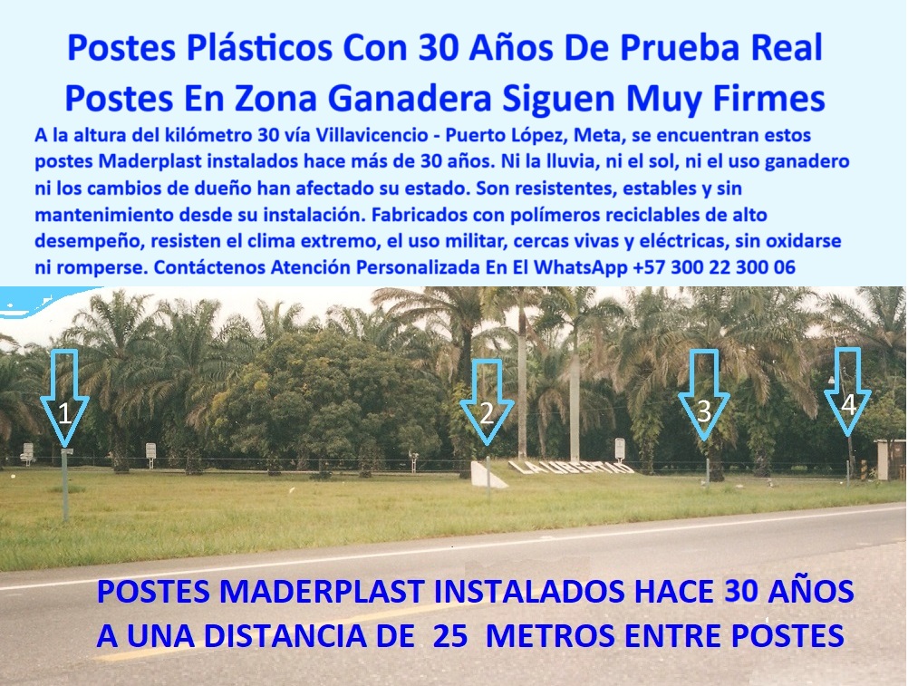 Cercas Perimetrales Postes De Linderos Medianeros Poste Límites Viales Maderplast 0 Pie de madrina como soporte para poste plástico Qué cerca aguanta clima extremo y uso militar postes y varas de cerca cercas ignífugas Viales poste plástico reciclado para cercas eléctricas, - poste-para-uso-ganadero-intensivo, - poste estable para cercas eléctricas y vivas, - poste que elimina gastos en reemplazos periódicos, - poste sin deformación en exposición continua al sol, - poste plástico que no necesita pintura jamás, - poste para cerramientos que no se agrietan, - ¿Postes reciclables que no necesitan pintura ni concreto?, - poste-para-linderos-rurales, - poste ecológico para linderos de palma africana, - ¿Qué poste sirve para fincas con clima tropical extremo?, - ¿Cuál es el mejor poste que no se oxida ni rompe?, - poste con resistencia a uso ganadero intensivo, - poste-para-cercas-vivas-y-eléctricas, - La foto muestra una imagen real de cercado con postes plásticos Maderplast instalados hace más de 30 años en la vía Villavicencio – Puerto López, Meta. A pesar de décadas de sol abrasador, lluvias torrenciales, cambios de propietarios y uso ganadero, los postes siguen firmes, sin oxidarse ni romperse. Están alineados a 25 metros entre sí, probando su durabilidad estructural y resistencia al clima extremo. Fabricados en polímero reciclado de alto desempeño, los postes Maderplast no requieren pintura, ni mantenimiento, ni refuerzos metálicos. Son ideales para cercas perimetrales rurales, linderos medianeros, cercas vivas o eléctricas, y zonas agrícolas tropicales. El color integral mantiene la estética y se integra con el entorno. Esta instalación validada en campo demuestra que los productos Maderplast no son promesas, sino soluciones comprobadas para ganaderos, vialidad rural y proyectos de uso intensivo de largo plazo., - poste-de-30-años-de-uso-continuo, - poste que soporta 30 años sin mantenimiento, - Cerca perimetral verde que no requiere mantenimiento, - poste de 25 metros entre cercas durables, - poste que no se afecta con el sol o la lluvia, - poste estructural para potreros de alta rotación, - poste con historia probada en Villavicencio, - poste reciclado para zonas rurales de alta humedad, - poste para instalación fija de largo plazo sin mantenimiento, - poste para ganadería que resiste clima extremo, - poste para cerco de finca con mínimo impacto visual, - poste-contra-humedad-extrema, - poste de alta tecnología para largo plazo, - ¿Qué poste dura más de 25 años sin mantenimiento?, - poste perimetral para control visual profesional, - Postes plásticos sin óxido ni fracturas tras 30 años, - Línea de postes recta sin inclinación ni deformación, - poste-reciclado-con-comprobación-real, - ¿Dónde comprar postes para linderos viales duraderos?, - poste que supera la durabilidad del concreto, - poste para instalaciones con cambio de propietario, - poste-vial-25-metros-distancia, - poste vial que no se oxida ni se parte, - Postes entre palma africana y vía principal, - Postes ecológicos frente a carretera rural, - Postes sin señal de desgaste en clima caliente, - poste ecológico de alto desempeño zona rural Colombia, - Cerca con postes espaciados a 25 metros exactos, - poste para cercas instaladas hace 30 años sin daño, - poste-sin-pintura-ni-mantenimiento, - Cercado con postes reciclados estéticamente integrados, - poste plástico ideal para linderos en palma africana, - poste para linderos medianeros sin concreto, - poste-plástico-resistente-30-años-villavicencio-palma-africana.jpg, - poste-plástico-resistente, - Postes verdes instalados en zona ganadera tropical, - poste plástico de alto desempeño comprobado, - poste para cercas vivas en zona tropical, - poste resistente a lluvia sol calor y uso ganadero, - poste-ecológico-para-palma-africana, - poste para uso militar y agrícola combinado, - Postes firmes rectos sin desgaste visual 0 Cercas Perimetrales Postes De Linderos Medianeros Poste Límites Viales Maderplast 0 Pie de madrina como soporte para poste plástico, - Qué cerca aguanta clima extremo y uso militar, - postes-y-varas-de-cerca, cercas ignífugas  Viales