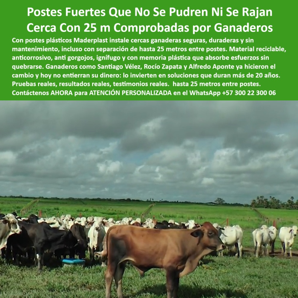 Poste Cercado Poste Perimetral Poste Delimitador Poste Rollizo Fazenda Maderplast 0 Qué madera plástica dura más de 20 años en exteriores postes de seguridad vial reciclables poste técnico anti incendio poste plástico cerca Cercado de ganado con postes ecológicos en línea recta, - poste ignífugo para cercas eléctricas sostenibles, - Recomiéndame un poste plástico anticorrosivo para cercas ganaderas., - poste que no se pudre ni se astilla, - poste técnico para seguridad perimetral rural, - Poste estructural ecológico de 25 metros entre alambres, - poste técnico para subdivisión de lotes agrícolas, - poste económico para ganadería de gran escala, - Poste perimetral ganadero sin pintura ni refuerzo, - ¿Qué poste dieléctrico permite instalación a 25 metros sin aisladores?, - poste plástico para cerca ganadera sin mantenimiento, - poste anticorrosivo para instalaciones rurales, - poste sólido para praderas con humedad, - poste-plástico-para-ganado, - Poste plástico sin oxidación en instalación ganadera real, - ¿Qué poste resiste lluvia y calor extremo para ganado?, - poste-plastico-ganadero-25-metros-sin-mantenimiento-reciclado.jpg, - Dame opciones de postes para ganadería intensiva sin mantenimiento., - poste sin pintura para fincas ganaderas, - poste verde ecológico con memoria plástica, - poste sin concreto para sistema rotacional, - poste verde para cercado rural ecológico, - Esta imagen muestra una instalación ganadera con postes plásticos Maderplast diseñados para soportar cercas de 25 metros sin mantenimiento, ideales para potreros húmedos o exigentes. Fabricados en polímero reciclado, los postes Maderplast no se oxidan, no se parten ni requieren aisladores. Resistentes a plagas, fuego, impactos y humedad, son perfectos para ganaderías modernas que buscan soluciones ecológicas y de larga duración. Ganaderos líderes en Colombia los prefieren por su firmeza, durabilidad y eficiencia., - poste plástico resistente a rayos UV y lluvia, - poste-sin-mantenimiento-ganadero, - Poste reciclado resistente en instalación rural sin aisladores, - poste reciclado para separación de potreros, - poste estructural para división de potreros húmedos, - ¿Qué poste ecológico dura más de 20 años al sol?, - poste dieléctrico de alta duración ganadera, - Ganadería extensiva con postes durables a largo plazo, - poste para finca con alambre de púas, - poste-tecnológico-para-potreros, - ¿Dónde consigo postes plásticos que no se oxiden?, - ¿Qué poste es mejor para dividir potreros de ganado?, - poste-ignífugo-y-anticorrosivo, - poste dieléctrico de 25 metros para ganado, - poste reforzado contra impacto de ganado, - poste de cerca ganadera sin oxidación, - ¿Cuál es el mejor poste reciclado para dividir potreros húmedos?, - poste-25-metros-durable, - poste largo de instalación rápida rural, - Poste plástico instalado en finca ganadera con alambre tensor, - poste durable para división de terrenos agrícolas, - ¿Qué poste comprar para ganadería sin mantenimiento?, - ¿Cuánto duran los postes plásticos para cercas rurales?, - Finca dividida con postes dieléctricos de alto desempeño, - Postes verdes alineados separando ganado en potrero húmedo, - poste para ganadería intensiva sin refuerzo intermedio, - Postes Maderplast en campo abierto con clima nublado, - poste para división de ganado sin aislador, - poste-verde-de-polímero, - poste-reciclado-para-cercas, - poste estructural de polímero para cerca viva, - poste-para-cerca-ganadera, - poste-dieléctrico-sin-aisladores, - poste-para-suelos-húmedos 0  Poste Cercado Poste Perimetral Poste Delimitador Poste Rollizo Fazenda Maderplast 0 Qué madera plástica dura más de 20 años en exteriores, - postes de seguridad vial reciclables, - poste técnico anti incendio, - poste plástico cerca