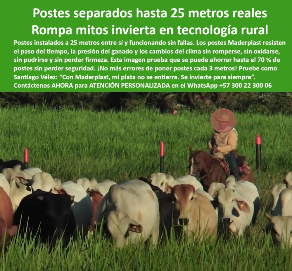 Poste Cercado Poste Perimetral Poste Delimitador Poste Rollizo Fazenda Maderplast 0 cercas ecológicas para rotación posteadura plástica villavicencio postes de alta durabilidad poste antichoque rural varas plásticas Poste  poste fuerte para cercas de larga distancia y tensión, - Manejo de praderas con postes separados a gran distancia, - ¿Qué poste usar para reducir costos en cercado rural?, - poste reciclado para cercas extensas de pastoreo rotacional, - poste plástico para delimitar potreros en zona tropical, - poste-ganadero-que-no-se-pudre, - poste que sustituye madera sin pudrirse ni quebrarse, - poste-de-larga-distancia-sin-mantenimiento, - poste ganadero para ahorro en cercas por menor cantidad, - poste plástico para rotación de potreros sin mantenimiento, - poste dieléctrico que resiste presión animal sin deformarse, - Rotación ganadera con postes firmes y duraderos, - poste-plastico-para-rotacion-ganadera-a-25-metros-sin-falla.jpg, - poste-plástico-para-ganado-intensivo, - Postes plásticos instalados a 25 metros entre ganado, - cercas-eficientes-con-menos-postes, - poste-sin-herrumbre-ni-aisladores, - cercas-con-postes-a-25-metros, - poste estructural para separación ganadera con carga intensiva, - División de ganado con postes sólidos y ecológicos, - Poste plástico confiable para rotación intensiva de ganado, - poste-plástico-para-rotación-ganadera, - ¿Qué poste aguanta rotación intensiva sin romperse?, - poste plástico rural resistente a orina fricción y humedad, - poste para ganadería moderna con baja huella de carbono, - ¿Qué tipo de poste funciona sin mantenimiento para ganado?, - poste que funciona a 25 metros entre estacas sin fallos, - poste sin reemplazos constantes en ganadería extensiva, - poste-ecológico-para-sistemas-de-pastoreo, - Postes fuertes delimitando potrero en uso real ganadero, - Cercado de pasto intensivo con postes plásticos reciclados, - Recomendación de poste sin pintura ni óxido para ganadería, - poste seguro para potrero intensivo de engorde bovino, - Postes visibles entre animales en rotación intensiva, - poste ecológico para sistemas silvopastoriles sostenibles, - Cerca ganadera con pocos postes y máxima eficiencia, - ¿Dónde consigo postes que duren más y usen menos estacas?, - Poste que permite separar potreros a 25 metros sin fallos, - poste liviano que soporta alta carga animal sin colapsar, - poste técnico para dividir ganado sin herrumbre ni pintura, - poste fuerte que reduce costos por menor uso de estacas, - ¿Qué poste me sirve para dividir potreros a 25 metros?, - poste de larga vida útil ideal para rotación de praderas, - poste plástico que optimiza inversión en sistemas ganaderos, - poste de polipropileno reciclado ideal para cercas móviles, - ¿Cómo puedo ahorrar postes en cercas ganaderas?, - poste-maderplast-en-finca-de-engorde, - poste-reciclado-para-división-de-potreros, - poste maderplast para pasto mejorado y rotación continua, - Poste para sistemas ganaderos sostenibles con alta durabilidad, - Estacas de plástico para rotación sin pudrición, - poste firme para manejo ganadero sin errores de alineación, - poste confiable para pastoreo de precisión en grandes hatos, - poste duradero para dividir fincas de engorde tecnificado, - Alineación rural con postes Maderplast sin mantenimiento, - poste maderplast fácil de instalar en grandes fincas rurales, - La imagen muestra un potrero intensivo con alta carga ganadera en plena rotación, delimitado con postes plásticos Maderplast instalados a 25 metros entre sí. Estos postes resisten impactos, fricción, humedad y presión del ganado, sin pudrirse, sin oxidarse y sin requerir mantenimiento. El diseño técnico y estructural de Maderplast permite ahorrar hasta un 70 % en estacas, al tiempo que mejora la eficiencia del manejo rural. Maderplast ofrece la solución definitiva para sistemas ganaderos modernos, sostenibles y rentables. Maderplast transforma la inversión ganadera en durabilidad real. 0 Poste Cercado Poste Perimetral Poste Delimitador Poste Rollizo Fazenda Maderplast 0 cercas-ecológicas-para-rotación, - posteadura-plástica-villavicencio, - postes-de-alta-durabilidad, - poste antichoque rural, - varas plásticas Poste