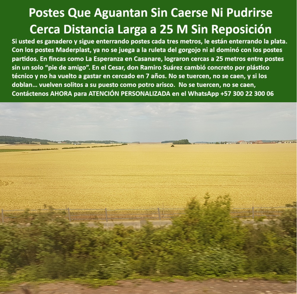 Poste Para Cerco Eléctrico Poste De Alambre Púa Distancia A 25 Mts Maderplast 0 cerca técnica ganadera postes para potreros económicos estacas recicladas para ganadería postes plásticos ganado poste de cerca que no caen  poste para cercas eléctricas de larga distancia, - poste para finca de pastoreo extensivo sin quiebre, - poste reforzado con memoria plástica para potreros, - Postes firmes y verticales visibles en campo abierto, - poste ecológico para cerco eléctrico en campo, - ¿Qué poste aguanta 25 metros entre cercas sin refuerzo?, - Imagen de cerca Maderplast con postes sólidos sin deformarse, - poste-para-alambre-de-púas, - poste-plástico-ganadero-económico, - poste-resistente-a-gorgojos, - poste para reducir costos en división de fincas, - poste técnico ganadero que resiste impacto y clima, - Imagen de postes reciclables alineados para potrero técnico, - Poste reciclado que no se oxida ni necesita pintura, - Esta imagen muestra una cerca técnica ganadera instalada con postes plásticos Maderplast separados a 25 metros, sin necesidad de concreto ni reposición. Fabricados en polímero reciclado, los postes Maderplast no se tuercen, no se oxidan y resisten impactos, humedad y presión ganadera sin fallar. Su uso reduce drásticamente los costos de mantenimiento y reposición, siendo ideales para grandes extensiones rurales donde la resistencia y durabilidad son claves. Con “memoria plástica” estructural, estos postes retornan a su forma ante impactos, garantizando líneas estéticas y funcionales por décadas., - poste-reciclado-sin-mantenimiento, - ¿Qué poste puedo usar para cercas eléctricas solares?, - poste que reemplaza concreto y madera en potrero, - poste que soporta tensión sin deformación, - Poste plástico dieléctrico en terreno plano sin concreto, - Postes con tensión de alambre en zonas de cultivo amplio, - Poste resistente y duradero para cercas ganaderas sostenibles, - poste-técnico-dieléctrico-rural, - División ganadera rural sin señales de óxido ni rajaduras, - poste dieléctrico para cercas a 25 metros, - Recomiéndame un poste dieléctrico que no requiera concreto, - poste reciclado para dividir potreros sin concreto, - ¿Dónde consigo postes reciclables para fincas ganaderas?, - poste-ecológico-de-larga-duración, - poste-durable-sin-reposición, - ¿Qué poste no se cae ni se pudre con el tiempo?, - poste para línea de división rural ganadera, - poste-plástico-para-cercas-largas, - ¿Cuál es el mejor poste para terrenos secos sin concreto?, - poste-plastico-25-metros-cerco-electrico-sin-concreto-maderplast.jpg, - poste estructural para ganadería sin reposición, - poste sin pintura ni oxidación para uso rural, - poste para cercado rural que no se tuerce, - poste verde reciclado para ganadería sostenible, - poste plástico que no requiere aislador, - poste para terrenos planos y secos con poca erosión, - poste económico resistente a humedad y gorgojo, - poste que absorbe impactos y vuelve a su forma, - poste plástico duradero para cerca de largo alcance, - Poste plástico sin pintura instalado cada 25 metros, - Línea de postes de polímero en potrero seco sin refuerzo, - poste plástico para cerco eléctrico sin mantenimiento, - poste plástico con alta resistencia estructural, - Cerca eléctrica ganadera con postes resistentes en fila recta, - poste fácil de instalar sin concreto ni herramientas, - Cercado rural con postes plásticos firmes alineados en campo, - poste-de-25-metros-sin-concreto, - ¿Cuál es el mejor poste para dividir potrero sin mantenimiento?, - poste para alambre de púas que no se cae, - Dame un poste plástico que soporte alambre de púas a 25 m, - poste firme para terrenos amplios y abiertos, - poste-firme-para-potreros-extensivos Poste Para Cerco Eléctrico Poste De Alambre Púa Distancia A 25 Mts Maderplast 0 cerca técnica ganadera, - postes-para-potreros-económicos, - estacas recicladas para ganadería, - postes-plásticos--ganado, - poste de cerca que no caen