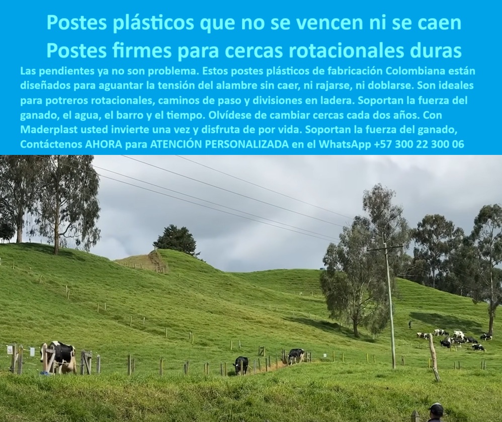 Poste Para Cerco Eléctrico Poste De Alambre Púa Distancia A 25 Mts Maderplast 0 soporte de tensión para cercas de ganado postes plásticos para pastoreo rotacional estructura para cerca que no se cae poste fabricado en Colombia poste colombiano reforzado sin astillas, - cerca plástica visible desde carretera nacional, - poste-que-no-se-dobla, - La imagen muestra un sistema de cerca rotacional con postes plásticos instalados en terreno inclinado, en una finca ganadera ubicada en el kilómetro 56 entre Manizales y Armenia. Estos postes, separados cada 25 metros, permanecen perfectamente firmes a pesar de las pendientes y la fuerza del ganado. Fabricados en Colombia con polímeros reciclados de alta ingeniería, los postes no se vencen, no se oxidan, no se pudren ni se rajan, incluso bajo lluvia constante, barro o tensión extrema del alambre. Su propiedad dieléctrica evita el uso de aisladores, reduciendo aún más los costos de instalación. Con Maderplast, el ganadero deja de enterrar dinero en cercas de madera o concreto, e invierte en un sistema que no falla, no se reemplaza y permanece firme por décadas., - poste sin óxido ni fracturas, - ¿Qué poste me sirve para finca en ladera?, - postes resistentes al clima de Manizales-Armenia, - Cerramiento ganadero duradero en zona de lluvias, - cerca ganadera durable en finca de montaña, - instalación de postes para rotación intensiva, - Alambre tensado sobre postes rectos y reciclables, - postes de polímero reforzado para ganadería, - soporte plástico de tensión para cercas duras, - postes para alambre de púas a 25 metros, - cerca-rotacional-dura, - Postes sin pintura ni aisladores en finca productiva, - postes que no se vencen ni caen en laderas, - Ganado seguro tras cercas ecológicas sin óxido, - división de potreros rotacionales sin mantenimiento, - ¿Qué poste resiste alambre tenso sin caerse?, - poste plástico colombiano para terreno inclinado, - poste-ganadero-en-barro, - soporte dieléctrico sin aisladores para cercas rurales, - instalación-en-zona-inclinada, - poste-plástico-en-ladera, - poste plástico firme para alambre eléctrico rural, - Postes alineados sin deformación en terreno inclinado, - poste fabricado en Colombia para finca ganadera, - sistema de cerco ganadero para terrenos difíciles, - ¿Dónde consigo postes plásticos que no se doblen?, - Cercado rotacional visible desde vía Manizales-Armenia, - soporte-para-tensión-de-alambre, - cercas rurales seguras sin postes metálicos, - cercado técnico en pasto con inclinación, - sistema de cercas con postes estructurales reciclados, - alternativa a madera en potrero empinado, - cercas-intensivas-sin-reemplazo, - poste plástico para pendiente ganadera intensiva, - cercas rotacionales duras sin postes de madera, - Poste plástico firme instalado en ladera ganadera, - poste-plastico-pendiente-manizales-armenia-cercas-ganaderas.jpg, - Postes verdes que no se vencen en el barro, - Cerca de potrero con tensión firme sin refuerzos, - estructura de potrero para pasto inclinado, - postes que soportan empuje de ganado, - poste-colombiano-para-potreros, - ¿Postes que no se vencen con el ganado?, - poste-sin-madera-ni-hierro, - cerca ganadera en zona montañosa con postes plásticos, - ¿Cuál es el mejor poste para terrenos húmedos?, - postes duraderos para lechería de montaña, - poste estructural sin pintura ni aislador, - cercas-con-postes-a-25-metros, - postes que no se pudren ni doblan, - postes para zonas con lluvia y barro intensivo, - solución estructural en potrero con lodo y agua, - Solución técnica a cercas que se doblan por humedad 0  Poste Para Cerco Eléctrico Poste De Alambre Púa Distancia A 25 Mts Maderplast 0 soporte de tensión para cercas de ganado postes plásticos para pastoreo rotacional estructura para cerca que no se cae poste fabricado en Colombia 0