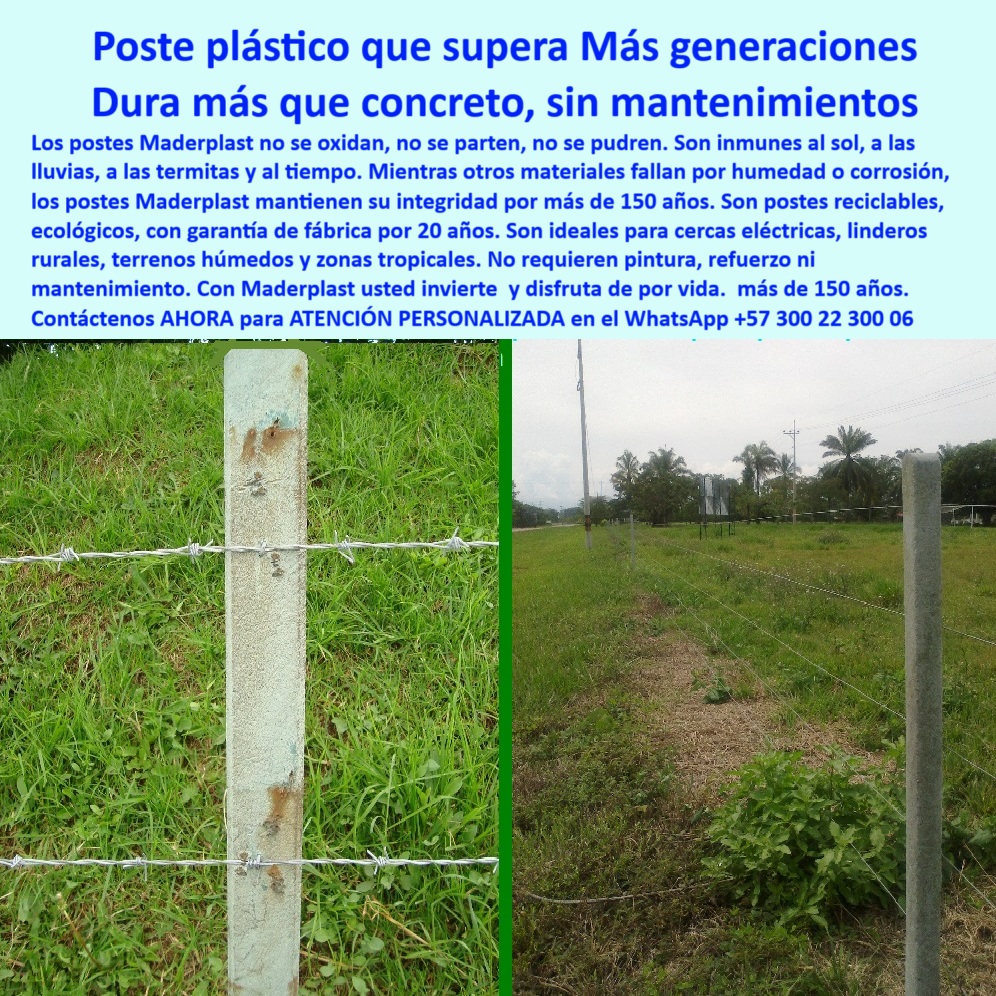 Postes Análisis Materiales Estudio Apu Precios Ventajas Beneficios Postes Maderplast 0 postes cerca plástica resistente al sol Instalación de cerca eléctrica con poste plástico ecológico postes técnicos para cercas de seguridad  poste seguro para cercas de protección agrícola, - poste-plástico-ecológico, - poste que no se oxida ni con lluvia ni con sol, - poste para control de potreros sin intervención, - La foto muestra una imagen real comparativa de dos postes plásticos Maderplast instalados en terreno tropical con alta humedad. A la izquierda, un poste antiguo sin fracturas visibles, oxidación o desgaste, y a la derecha una instalación en uso actual que sigue firme y alineada después de años de intemperie. Estas cercas eléctricas están sostenidas por postes que no requieren pintura, no se parten y no se oxidan, resistiendo el paso del tiempo sin mantenimiento. La tecnología Maderplast en polímeros reciclados estructurales ha demostrado que es superior a la madera y al concreto, incluso en condiciones exigentes. Son postes ideales para linderos rurales, divisiones agrícolas, terrenos húmedos y zonas tropicales donde la durabilidad y la seguridad importan. Fabricados para durar más de 150 años, los postes Maderplast aseguran eficiencia operativa y beneficios económicos al eliminar reemplazos. La elección perfecta para productores que buscan sustentabilidad real y resistencia comprobada., - Campo abierto con cerca técnica plástica instalada, - Vista doble de poste antiguo y poste moderno comparado, - poste de tecnología reciclada para fincas modernas, - poste para ganadería sin químicos ni aisladores, - poste Maderplast con duración superior al concreto, - poste plástico de larga duración garantizada, - Postes en hilera a la distancia bajo clima nublado, - poste-para-cercas-sin-mantenimiento, - ¿Qué poste es mejor que el concreto para clima húmedo?, - Sistema de cercas con alambre tensado y poste ecológico, - poste que ahorra costos de reemplazo, - ¿Dónde venden postes para cercas sin mantenimiento?, - poste libre de hongos y termitas, - poste reciclado que resiste lluvias intensas y sol fuerte, - ¿Poste plástico que dure más de 100 años?, - poste-liviano-sin-pudrición, - ¿Postes reciclables que no necesitan pintura?, - poste que no se raja ni parte con el tiempo, - poste técnico para sistemas de cercado ecológico, - Poste verde grisáceo sin señales de deterioro, - poste-reciclado-de-larga-duración, - poste sin corrosión para terrenos húmedos, - poste firme para dividir zonas de pastura intensiva, - poste dieléctrico sin aisladores para cerca eléctrica, - poste que no necesita refuerzo ni pintura, - cerca eléctrica con postes plásticos sin aislador, - poste que dura más de 150 años, - poste-tecnológico-para-seguridad, - poste para ganadería intensiva en clima tropical, - ¿Cuál es el poste que no se oxida ni se parte?, - Alambre de púas tensado entre postes durables, - poste con instalación directa sin concreto, - poste-para-división-de-potreros, - poste-electrico-dieléctrico, - poste de alta resistencia para lindero ganadero, - Poste plástico Maderplast firme sobre pasto tropical húmedo, - poste ecológico que resista humedad y sol, - poste robusto para zonas de difícil acceso, - poste-durable-para-fincas, - Poste firme y sin inclinación en zona agrícola, - poste sin mantenimiento para cercas rurales eléctricas, - poste para cerramiento técnico y seguro, - poste de polímero estructural para cercas permanentes, - poste-sin-pintura-ni-refuerzos, - poste sostenible para divisiones agrícolas durables, - poste-plástico-vs-concreto-húmedo-durable-maderplast.jpg, - Poste con alambre sin aislador en terreno rural plano, - poste-resistente-al-clima-tropical, - Contraste de cercas con humedad y sin desgaste, - poste ecológico que no se pudre ni se oxida, - poste plástico para clima extremo y zonas tropicales, - poste Maderplast con garantía y cero oxidación 0 Postes Análisis Materiales Estudio Apu Precios Ventajas Beneficios Postes Maderplast 0 postes cerca plástica resistente al sol, - Instalación de cerca eléctrica con poste plástico ecológico, - postes técnicos para cercas de seguridad