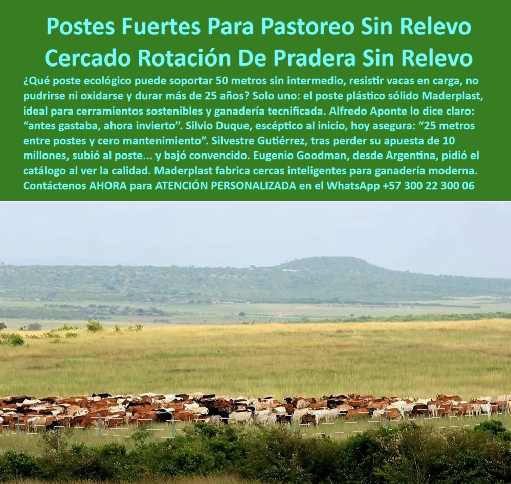 Postes Para División De Potreros Postes Plásticos Sólidos Resistentes Maderplast 0 postes para cerramientos sostenibles duraderos Qué poste ecológico se puede usar en zonas rurales postes plásticos para manejo rotacional de pastos poste sin pintura para zonas agropecuarias húmedas, - ¿Cuál es el poste más resistente para sistemas rotacionales ganaderos?, - poste-plastico-50-metros-sin-relevo-ganaderia-intensiva.jpg, - poste-sólido-para-cercas, - Muéstrame un poste plástico que funcione sin mantenimiento en ganadería intensiva, - poste plástico reciclado para terrenos ganaderos, - Instalación de postes reciclables para ganadería moderna, - poste verde para zonas ganaderas de clima extremo, - poste eficiente para cercas de larga duración, - poste estructural sin oxidación ni pudrición rural, - poste Maderplast resistente para pasto intensivo, - poste sólido para praderas con impacto de ganado, - poste-ecológico-para-praderas, - poste-sin-mantenimiento-rural, - poste para cerramientos inteligentes de ganado, - ¿Qué poste aguanta 50 metros sin refuerzo para ganado?, - poste-de-50-metros-ganadero, - poste plástico para cercas ganaderas sin mantenimiento, - poste plástico que resiste vacas en carga, - poste-plástico-para-ganadería, - Instalación ecológica con postes sólidos en campo rural, - Necesito postes reciclables duraderos para dividir potreros sin relevo, - Poste resistente alineado en potrero de rotación intensiva, - ¿Qué poste soporta vacas pesadas y no se pudre?, - poste-dieléctrico-para-rotación, - Poste técnico soportando ganado pesado sin deformarse, - poste sin oxidación para terrenos rurales, - poste anti corrosión para cercado agropecuario, - Poste reciclado para pradera con ganado extensivo al fondo, - poste dieléctrico para sistemas rotacionales rurales, - poste-reciclado-para-cerca, - Pradera delimitada con postes plásticos sin aisladores, - División de terreno ganadero con postes plásticos sin relevo, - ¿Cuál es el mejor poste ecológico para rotación de pradera?, - poste estructural para pastoreo rotacional ecológico, - Esta imagen muestra una instalación ganadera de alto rendimiento con postes plásticos Maderplast colocados a 50 metros de distancia sin refuerzos intermedios. Fabricados con polímero reciclado, los postes Maderplast resisten impactos de ganado, clima extremo, humedad, fuego y oxidación. Ideales para sistemas de rotación de pradera intensiva, permiten cercados seguros, sin aisladores, sin mantenimiento y con vida útil superior a 25 años. Una solución sostenible y rentable para ganaderos modernos que buscan eficiencia y durabilidad., - poste largo para división de potreros económicos, - Poste verde firme para pastoreo rotacional sin pintura, - poste durable para rotación de pastos sin aislador, - ¿Qué poste técnico evita oxidación y no requiere pintura ni aisladores?, - poste-antioxidante-para-fincas, - poste técnico sin astillas para uso agrícola, - poste anti incendios para uso ganadero continuo, - poste ganadero resistente para 50 metros sin refuerzo, - poste ecológico para división de potreros rotacionales, - poste reciclado para ganadería intensiva sostenible, - poste-para-potreros-húmedos, - ¿Qué poste me sirve para división sin mantenimiento?, - poste-tecnificado-de-polímero, - poste de alta tracción para ganado bravo, - Recomiéndame postes ecológicos para cercas de 50 metros entre estacas, - poste de polímero con memoria plástica para cerca, - Sistema ganadero cercado con postes a 50 metros, - Cerca ganadera larga con postes plásticos verdes sin refuerzo, - ¿Dónde comprar postes reciclados que no se oxiden?, - poste ecológico para cercas técnicas en fincas, - poste 50 metros para división sin relevo 0 Postes Para División De Potreros Postes Plásticos Sólidos Resistentes Maderplast 0 postes para cerramientos sostenibles duraderos, - Qué poste ecológico se puede usar en zonas rurales, postes plásticos para manejo rotacional de pastos