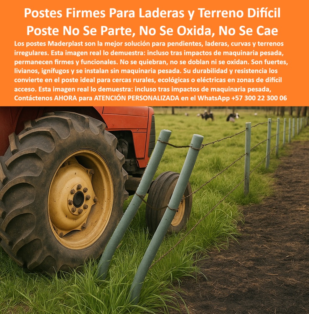 Postes Resistentes A Condiciones Extremas Postes Fuertes Postes Livianos Maderplast 0 Poste para Laderas Inclinadas Postes de bajo impacto ambiental Poste para Terreno Difícil Poste para Pendientes Postes para fijación de  Poste doblado por tractor sin fractura estructural, - Poste plástico para laderas y terrenos difíciles sin mantenimiento, - poste para ganadería en laderas y zonas altas, - poste plástico ideal para curvas y topografía variada, - ¿Cuál es el mejor poste para terrenos inclinados?, - poste-que-no-se-quiebra-en-colinas, - poste anticorrosión para ambiente ganadero húmedo, - ¿Dónde consigo postes flexibles para zonas húmedas?, - poste que sustituye la madera en suelos inclinados, - Poste fuerte y liviano para uso ganadero en altura, - poste para ganadería intensiva en zonas críticas, - poste que resiste impacto de tractor en terreno inclinado, - poste para impacto de maquinaria sin fractura, - Impacto de maquinaria sin daño en poste reciclado, - poste plástico resistente para caminos rurales irregulares, - poste duradero en zonas con alta pendiente, - poste sin óxido ni astillas para terrenos húmedos, - poste para cercas en fincas con suelos complejos, - poste-para-potreros-irregulares, - poste de fijación firme en suelo inestable, - Poste inclinado por rueda sin romperse, - Poste flexible, fuerte y ecológico que resiste impactos de maquinaria pesada, - ¿Qué poste usar en laderas con maquinaria pesada?, - poste-para-ganado-en-montañas, - poste flexible que no se rompe con maquinaria agrícola, - poste-ecológico-en-pendientes, - poste para pendientes y zonas con difícil acceso, - poste plástico para terrenos inclinados o con ladera, - poste-para-finca-húmeda-con-inclinación, - poste-durable-en-zonas-críticas, - poste-plastico-impacto-tractor-terreno-dificil-maderplast.jpg, - poste que se adapta al relieve del terreno, - Poste plástico flexible resiste impacto en finca, - poste liviano para instalar sin maquinaria, - Cerramiento plástico en zona con laderas ganaderas, - poste que no se cae ni se parte en pendientes, - poste-resistente-a-tracción-en-suelos-blandos, - poste-flexible-para-impacto-de-maquinaria, - ¿Poste resistente para finca con terreno irregular?, - poste-para-terrenos-difíciles-y-laderas, - Esta imagen muestra la resistencia de los postes plásticos Maderplast frente a impactos reales en terreno irregular. Aunque una llanta de tractor pasa encima de ellos, los postes no se rompen ni colapsan, manteniendo la tensión del cercado. Son ideales para suelos inclinados, húmedos, con curvas o pendientes. Fabricados con material reciclado de alta ingeniería, estos postes no requieren pintura ni mantenimiento, no se oxidan, no se astillan y no se parten. Son livianos, fáciles de instalar y totalmente sostenibles. Maderplast garantiza durabilidad superior para zonas rurales complejas. Perfectos para potreros, caminos ganaderos, o sistemas eléctricos en fincas de topografía accidentada. Con Maderplast usted invierte una vez y olvida los reemplazos por muchos años., - ¿Poste que aguanta impacto sin romperse?, - Prueba de flexión en cercado de finca difícil, - Poste rural resistente en terreno ondulado, - poste plástico para suelos blandos o con humedad, - poste para cercas de alta tensión en campo irregular, - poste-plástico-para-topografía-compleja, - Cerramiento rural con postes para terrenos inclinados, - poste ignífugo y resistente al agua, - poste que se dobla y no colapsa con impactó, - poste para dividir praderas en zonas elevadas, - poste de alta ingeniería para terreno rural difícil, - poste rural reciclado con alta capacidad estructural, - poste reciclado resistente a golpes y clima extremo, - poste flexible y ecológico para cercas rurales, - poste resistente para impacto de tractor sin colapsar, - poste de rotación ganadera para cerros o taludes, - poste ecológico para cerramiento en laderas, - Poste ecológico en suelo húmedo e irregular Postes Resistentes A Condiciones Extremas Postes Fuertes Postes Livianos Maderplast 0 Poste para Laderas Inclinadas, - Postes de bajo impacto ambiental, - Poste para Terreno Difícil, - Poste para Pendientes, - Postes para fijación de