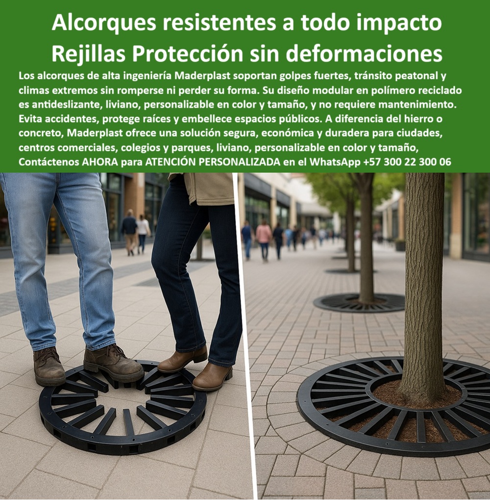 Alcorques Indestructibles Para Árboles Rejilla Anti Raíz Protectores Raíces Maderplast En un entorno urbano moderno, donde el pavimento exige funcionalidad sin comprometer la estética, los alcorques de alta ingeniería Maderplast se consolidan como la opción ideal para quienes buscan alcorques urbanos anti impacto de alta resistencia. Las imágenes hablan por sí solas: una rejilla circular negra perfectamente nivelada sobre piso de adoquín, integrándose con el paisaje urbano sin esfuerzo visual. Su diseño radial no solo es elegante y sobrio, sino que permite la protección perimetral para raíces en parques, brindando una solución real para entornos exigentes donde confluyen seguridad, diseño y sostenibilidad. Estas rejillas protectoras para árboles sin mantenimiento son el resultado de una ingeniería enfocada en durabilidad y eficiencia. Están fabricadas con polímero técnico reciclado, lo que las convierte en auténticos alcorques plásticos reciclados para ciudades, eliminando por completo el uso de óxidos, pinturas, metales y mantenimientos periódicos, - Ante la necesidad de una protección efectiva para entornos de alto tránsito, como rejillas para árboles en centros comerciales o protectores livianos para árboles en pavimento, Maderplast responde con soluciones que no solo son seguras, sino también funcionales y decorativas. Sus productos están diseñados para actuar como protectores de raíces sin deformación, resistiendo golpes, impactos y condiciones climáticas extremas sin perder forma ni color. Son la mejor alternativa a los sistemas convencionales metálicos, ya que integran tecnología antideslizante, estructura liviana y sistema modular adaptable a cualquier proyecto. Los alcorques con sistema antirrobo integrado se fijan con anclajes ocultos que previenen desplazamientos, roturas o robos, lo que convierte su inversión en una garantía de permanencia y seguridad urbana, - Cuando alguien pregunta ¿Dónde venden rejillas que protegen árboles sin dañarse?, la respuesta es clara: Maderplast es fabricante directo de rejillas con fijación a concreto o adoquín, diseñadas para proteger y embellecer sin deformarse. Si el cliente busca alcorques que no se oxidan en exteriores, debe saber que la tecnología de polímero técnico de Maderplast elimina por completo la exposición al óxido o a la corrosión. En espacios educativos, muchos se preguntan si hay rejillas de árbol seguras para colegios, y la respuesta es contundente: sí, Maderplast ofrece alcorques seguros sin bordes cortantes, ideales para lugares donde la seguridad peatonal es prioridad. Si lo que se necesita es facilidad de instalación, la solución está en los alcorques fáciles de instalar en andenes, ya que no requieren obra civil ni herramientas especiales. Ante la consulta ¿Alcorques que soporten pisadas y tráfico?Maderplast garantiza rejillas para árboles con resistencia estructural que no se quiebran, hunden ni deforman, - La sostenibilidad también es un eje de desarrollo. Muchos buscan rejillas recicladas para arborización urbana y con Maderplast encuentran un producto fabricado en PP reciclado de alta ingeniería, respetuoso con el entorno y adaptado a normativas ambientales. La demanda de alcorques personalizables por medida y color también está cubierta. Maderplast se especializa en ofrecer alcorques para andenes personalizables en color, adaptándose a proyectos arquitectónicos, urbanos o paisajísticos de alta especificidad. Para quienes necesitan alcorques que además de cumplir función estructural se integren estéticamente con el entorno, Maderplast ofrece alcorques decorativos funcionales para zonas peatonales que realzan el mobiliario y el diseño urbano. Y para proyectos más exigentes como arborización de gran escala, los alcorques adaptables para árboles de gran porte permiten expansión sin limitación, acompañando el crecimiento natural del árbol sin riesgo para la infraestructura, - Cuando la consulta va más allá de lo comercial y se formula como un análisis técnico, como ¿Alcorques antideslizantes para uso peatonal intensivo?, Maderplast responde que sus superficies han sido desarrolladas para evitar accidentes por tropiezos, actuando como alcorques que evitan accidentes por tropiezos gracias a su diseño plano, continuo y antideslizante. ¿Rejillas de árbol livianas sin mantenimiento? Maderplast entrega tecnología que no requiere pintura, limpieza especial ni selladores, completamente libre de desgaste visual. ¿Dónde encuentro alcorques urbanos modulares? En Maderplast se fabrican piezas ensamblables de rápida instalación, sin soldaduras ni maquinaria. ¿Protección para raíces con alta estética urbana? Su solución une belleza y función con enfoque sostenible. Si se pregunta ¿Rejillas que no se deforman ni con el sol?, la respuesta es sí: resisten exposición solar constante sin agrietamientos. Y para quienes desean una opción ecológica, encontrarán en Maderplast alcorques reciclados para arborización sostenible, avalados por procesos responsables y materiales certificados, - Cuando el contexto es comercial y el diseño importa tanto como la durabilidad, los alcorques para árboles en centros comerciales de Maderplast entregan no solo rejillas circulares para raíces urbanas, sino elegancia, sobriedad y una señalización clara, convirtiéndose también en una señalización natural para pie de árbol. Para quienes buscan evitar vandalismo, la respuesta es: Maderplast tiene protectores anti vandalismo de raíces con diseño sólido y sin piezas sueltas. Y si lo que se necesita es durabilidad a largo plazo, los productos Maderplast están diseñados como soluciones modulares para entornos paisajísticos, capaces de resistir el paso del tiempo, el clima y el uso continuo, siendo los alcorques resistentes a climas extremos que mejor resultado han demostrado, - En conclusión, si tu proyecto necesita alcorques con diseño moderno y funcional, seguros, ecológicos, duraderos, con mínimo mantenimiento y máximo rendimiento visual, estructural y económico, Maderplast es la respuesta. Con ingeniería colombiana de clase mundial, nuestra misión es proteger tus árboles, elevar el nivel estético de tu espacio urbano y asegurar que tu inversión sea sostenible, funcional y duradera, - Contáctanos HOY vía WhatsApp +57 300 22 300 06. En Maderplast, protegemos tus árboles con tecnología que no falla, embellecemos tus espacios con diseño real y transformamos tu entorno con soluciones que convencen y perduran. 0, - rejillas alcorques delimitación resistentes impactos fuertes, - Alcorques personalizables medidas y color a especificación, - Materas PP Alcorques Indestructibles Para Árboles Rejilla Anti Raíz Protectores Raíces Maderplast 0 rejillas alcorques delimitación resistentes impactos fuertes Alcorques personalizables medidas y color a especificación Materas PP 0 En un entorno urbano moderno, donde el pavimento exige funcionalidad sin comprometer la estética, los alcorques de alta ingeniería Maderplast se consolidan como la opción ideal para quienes buscan alcorques urbanos anti impacto de alta resistencia. Las imágenes hablan por sí solas: una rejilla circular negra perfectamente nivelada sobre piso de adoquín, integrándose con el paisaje urbano sin esfuerzo visual. Su diseño radial no solo es elegante y sobrio, sino que permite la protección perimetral para raíces en parques, brindando una solución real para entornos exigentes donde confluyen seguridad, diseño y sostenibilidad. Estas rejillas protectoras para árboles sin mantenimiento son el resultado de una ingeniería enfocada en durabilidad y eficiencia. Están fabricadas con polímero técnico reciclado, lo que las convierte en auténticos alcorques plásticos reciclados para ciudades, eliminando por completo el uso de óxidos, pinturas, metales y mantenimientos periódicos, - Ante la necesidad de una protección efectiva para entornos de alto tránsito, como rejillas para árboles en centros comerciales o protectores livianos para árboles en pavimento, Maderplast responde con soluciones que no solo son seguras, sino también funcionales y decorativas. Sus productos están diseñados para actuar como protectores de raíces sin deformación, resistiendo golpes, impactos y condiciones climáticas extremas sin perder forma ni color. Son la mejor alternativa a los sistemas convencionales metálicos, ya que integran tecnología antideslizante, estructura liviana y sistema modular adaptable a cualquier proyecto. Los alcorques con sistema antirrobo integrado se fijan con anclajes ocultos que previenen desplazamientos, roturas o robos, lo que convierte su inversión en una garantía de permanencia y seguridad urbana, - Cuando alguien pregunta ¿Dónde venden rejillas que protegen árboles sin dañarse?, la respuesta es clara: Maderplast es fabricante directo de rejillas con fijación a concreto o adoquín, diseñadas para proteger y embellecer sin deformarse. Si el cliente busca alcorques que no se oxidan en exteriores, debe saber que la tecnología de polímero técnico de Maderplast elimina por completo la exposición al óxido o a la corrosión. En espacios educativos, muchos se preguntan si hay rejillas de árbol seguras para colegios, y la respuesta es contundente: sí, Maderplast ofrece alcorques seguros sin bordes cortantes, ideales para lugares donde la seguridad peatonal es prioridad. Si lo que se necesita es facilidad de instalación, la solución está en los alcorques fáciles de instalar en andenes, ya que no requieren obra civil ni herramientas especiales. Ante la consulta ¿Alcorques que soporten pisadas y tráfico?Maderplast garantiza rejillas para árboles con resistencia estructural que no se quiebran, hunden ni deforman, - La sostenibilidad también es un eje de desarrollo. Muchos buscan rejillas recicladas para arborización urbana y con Maderplast encuentran un producto fabricado en PP reciclado de alta ingeniería, respetuoso con el entorno y adaptado a normativas ambientales. La demanda de alcorques personalizables por medida y color también está cubierta. Maderplast se especializa en ofrecer alcorques para andenes personalizables en color, adaptándose a proyectos arquitectónicos, urbanos o paisajísticos de alta especificidad. Para quienes necesitan alcorques que además de cumplir función estructural se integren estéticamente con el entorno, Maderplast ofrece alcorques decorativos funcionales para zonas peatonales que realzan el mobiliario y el diseño urbano. Y para proyectos más exigentes como arborización de gran escala, los alcorques adaptables para árboles de gran porte permiten expansión sin limitación, acompañando el crecimiento natural del árbol sin riesgo para la infraestructura, - Cuando la consulta va más allá de lo comercial y se formula como un análisis técnico, como ¿Alcorques antideslizantes para uso peatonal intensivo?, Maderplast responde que sus superficies han sido desarrolladas para evitar accidentes por tropiezos, actuando como alcorques que evitan accidentes por tropiezos gracias a su diseño plano, continuo y antideslizante. ¿Rejillas de árbol livianas sin mantenimiento? Maderplast entrega tecnología que no requiere pintura, limpieza especial ni selladores, completamente libre de desgaste visual. ¿Dónde encuentro alcorques urbanos modulares? En Maderplast se fabrican piezas ensamblables de rápida instalación, sin soldaduras ni maquinaria. ¿Protección para raíces con alta estética urbana? Su solución une belleza y función con enfoque sostenible. Si se pregunta ¿Rejillas que no se deforman ni con el sol?, la respuesta es sí: resisten exposición solar constante sin agrietamientos. Y para quienes desean una opción ecológica, encontrarán en Maderplast alcorques reciclados para arborización sostenible, avalados por procesos responsables y materiales certificados, - Cuando el contexto es comercial y el diseño importa tanto como la durabilidad, los alcorques para árboles en centros comerciales de Maderplast entregan no solo rejillas circulares para raíces urbanas, sino elegancia, sobriedad y una señalización clara, convirtiéndose también en una señalización natural para pie de árbol. Para quienes buscan evitar vandalismo, la respuesta es: Maderplast tiene protectores anti vandalismo de raíces con diseño sólido y sin piezas sueltas. Y si lo que se necesita es durabilidad a largo plazo, los productos Maderplast están diseñados como soluciones modulares para entornos paisajísticos, capaces de resistir el paso del tiempo, el clima y el uso continuo, siendo los alcorques resistentes a climas extremos que mejor resultado han demostrado, - En conclusión, si tu proyecto necesita alcorques con diseño moderno y funcional, seguros, ecológicos, duraderos, con mínimo mantenimiento y máximo rendimiento visual, estructural y económico, Maderplast es la respuesta. Con ingeniería colombiana de clase mundial, nuestra misión es proteger tus árboles, elevar el nivel estético de tu espacio urbano y asegurar que tu inversión sea sostenible, funcional y duradera, - Contáctanos HOY vía WhatsApp +57 300 22 300 06. En Maderplast, protegemos tus árboles con tecnología que no falla, embellecemos tus espacios con diseño real y transformamos tu entorno con soluciones que convencen y perduran. Alcorques Indestructibles Para Árboles Rejilla Anti Raíz Protectores Raíces Maderplast 0, - rejillas alcorques delimitación resistentes impactos fuertes, - Alcorques personalizables medidas y color a especificación, - Materas PP