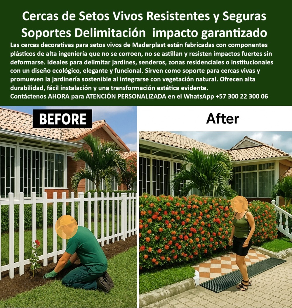 Cercas Decorativas Soporte Para Setos Vivos Duraderos Cercas Exteriores Maderplast La imagen es contundente: a la izquierda, una cerca blanca tipo pick recién instalada; limpia, funcional, pero simple. A la derecha, un año después, la transformación es total. La estructura se ha convertido en un cierre vivo de flores y setos que respira naturaleza, armonía y diseño. Esta no es solo una comparación de “antes y después”, es la prueba de lo que una solución inteligente como las cercas decorativas para setos vivos de Maderplast puede hacer por un jardín, un sendero, una fachada o una zona residencial. Lo que antes era solo delimitación, ahora es paisaje. Lo que antes era función, ahora es también forma y emoción, - Las cercas blancas que no se oxidan ni se astillan de Maderplast están fabricadas en componentes plásticos de alta ingeniería, desarrollados para soportar el clima exterior sin deformarse, sin necesidad de pintura, sin refuerzos metálicos, y sobre todo, sin mantenimiento. Estas estructuras para cercas con setos naturales no solo cumplen una función de delimitación ecológica con diseño limpio, sino que también se integran como soporte directo para vegetación viva y colorida, creando espacios verdes, seguros y con alto impacto estético y funcional, - Cuando alguien pregunta: “¿Dónde encuentro cercas que no se oxidan para jardines?”, la respuesta inmediata es clara: Maderplast ofrece cercas plásticas exteriores que no se corroen, ideales para zonas verdes residenciales, institucionales o turísticas. Si la consulta es “¿Qué cerca puede usarse para delimitar estos seres vivos?”, el producto ideal son nuestras vallas decorativas de alta durabilidad, capaces de sostener jardinería natural sin deterioro. A la inquietud “¿Cercas que no se astillan ni se deforman con el tiempo?”, Maderplast responde con su solución de barreras exteriores livianas con estética elegante y comportamiento técnico superior. ¿Se pueden usar en zonas de humedad? ¿Son seguras para niños y mascotas? Sí, porque son cerramientos modulares para paisajismo residencial que no tienen puntas filosas, ni partes sueltas, ni materiales peligrosos, - Ahora bien, muchas personas buscan inspiración visual antes de tomar una decisión. Por eso, al escribir en buscadores frases como “cerca blanca para jardín con seto natural” o “imagen de antes y después de cerca con vegetación”, se encuentran casos reales como el que muestra esta fotografía. Allí, donde una vez hubo una cerca simple, hoy florece una barrera verde con vegetación integrada, robusta, sin mantenimiento, y absolutamente funcional. Estas cercas son verdaderas soluciones de cerramiento para jardines sostenibles, con estética de alto nivel, resistencia al impacto, y estructura soporte verde resistente al sol y al impacto, - Y esto no es una promesa sin sustento. Las cercas para dividir jardines con vegetación integrada de Maderplast están diseñadas para permitir el crecimiento ordenado de plantas vivas, sin alterar su forma, sin perder su color, sin oxidarse. Funcionan como delimitadores decorativos para jardines residenciales, como cerramientos ecológicos decorativos o como soportes seguros para arbustos vivos y coloridos, garantizando una experiencia visual y funcional transformadora. Incluso en climas extremos, con lluvias, humedad o exposición solar prolongada, su desempeño es impecable. Son resistentes, decorativas y ecológicas, - Por eso, si estás buscando sistemas de cerramiento plástico decorativo y funcional que se vean bien hoy y mejor aún con el paso del tiempo, esta es tu mejor opción. Si sueñas con un jardín que se mantenga en orden sin perder la frescura de la naturaleza, estas cercas son tu aliado. Si necesitas separar espacios en parques, colegios, clínicas, viviendas u hoteles sin recurrir a estructuras metálicas que se oxidan, se rompen o se calientan al sol, elige Maderplast. Su cerca tipo americana fabricada en plástico reciclado está pensada para durar, para verse bien, y para sostener vida, - Este producto no es solo una cerca ecológica que no necesita pintura nunca, es una apuesta por un futuro sostenible, estético y eficiente. Su estructura plástica ecológica para cercas verdes es parte de una revolución silenciosa en la jardinería estructural, donde la función se une con el diseño para ofrecer soluciones reales. Es la prueba viva de que es posible transformar el entorno con inteligencia, tecnología y compromiso ambiental, - Para conocer más sobre estas cercas de setos vivos resistentes y seguras, recibir asesoría técnica o hacer tu pedido con atención personalizada, contáctanos directamente en el WhatsApp +57 300 22 300 06. Con Maderplast, lo que hoy es cerca, mañana será naturaleza viva. 0 Barreras decorativas que resisten impactos fuertes, - Vallas decorativas alta durabilidad uso garantizado, - Componentes plásticos para exterior Cercas Decorativas Soporte Para Setos Vivos Duraderos Cercas Exteriores Maderplast 0 Barreras decorativas que resisten impactos fuertes Vallas decorativas alta durabilidad uso garantizado Componentes plásticos para exterior 0 La imagen es contundente: a la izquierda, una cerca blanca tipo pick recién instalada; limpia, funcional, pero simple. A la derecha, un año después, la transformación es total. La estructura se ha convertido en un cierre vivo de flores y setos que respira naturaleza, armonía y diseño. Esta no es solo una comparación de “antes y después”, es la prueba de lo que una solución inteligente como las cercas decorativas para setos vivos de Maderplast puede hacer por un jardín, un sendero, una fachada o una zona residencial. Lo que antes era solo delimitación, ahora es paisaje. Lo que antes era función, ahora es también forma y emoción, - Las cercas blancas que no se oxidan ni se astillan de Maderplast están fabricadas en componentes plásticos de alta ingeniería, desarrollados para soportar el clima exterior sin deformarse, sin necesidad de pintura, sin refuerzos metálicos, y sobre todo, sin mantenimiento. Estas estructuras para cercas con setos naturales no solo cumplen una función de delimitación ecológica con diseño limpio, sino que también se integran como soporte directo para vegetación viva y colorida, creando espacios verdes, seguros y con alto impacto estético y funcional, - Cuando alguien pregunta: “¿Dónde encuentro cercas que no se oxidan para jardines?”, la respuesta inmediata es clara: Maderplast ofrece cercas plásticas exteriores que no se corroen, ideales para zonas verdes residenciales, institucionales o turísticas. Si la consulta es “¿Qué cerca puede usarse para delimitar estos seres vivos?”, el producto ideal son nuestras vallas decorativas de alta durabilidad, capaces de sostener jardinería natural sin deterioro. A la inquietud “¿Cercas que no se astillan ni se deforman con el tiempo?”, Maderplast responde con su solución de barreras exteriores livianas con estética elegante y comportamiento técnico superior. ¿Se pueden usar en zonas de humedad? ¿Son seguras para niños y mascotas? Sí, porque son cerramientos modulares para paisajismo residencial que no tienen puntas filosas, ni partes sueltas, ni materiales peligrosos, - Ahora bien, muchas personas buscan inspiración visual antes de tomar una decisión. Por eso, al escribir en buscadores frases como “cerca blanca para jardín con seto natural” o “imagen de antes y después de cerca con vegetación”, se encuentran casos reales como el que muestra esta fotografía. Allí, donde una vez hubo una cerca simple, hoy florece una barrera verde con vegetación integrada, robusta, sin mantenimiento, y absolutamente funcional. Estas cercas son verdaderas soluciones de cerramiento para jardines sostenibles, con estética de alto nivel, resistencia al impacto, y estructura soporte verde resistente al sol y al impacto, - Y esto no es una promesa sin sustento. Las cercas para dividir jardines con vegetación integrada de Maderplast están diseñadas para permitir el crecimiento ordenado de plantas vivas, sin alterar su forma, sin perder su color, sin oxidarse. Funcionan como delimitadores decorativos para jardines residenciales, como cerramientos ecológicos decorativos o como soportes seguros para arbustos vivos y coloridos, garantizando una experiencia visual y funcional transformadora. Incluso en climas extremos, con lluvias, humedad o exposición solar prolongada, su desempeño es impecable. Son resistentes, decorativas y ecológicas, - Por eso, si estás buscando sistemas de cerramiento plástico decorativo y funcional que se vean bien hoy y mejor aún con el paso del tiempo, esta es tu mejor opción. Si sueñas con un jardín que se mantenga en orden sin perder la frescura de la naturaleza, estas cercas son tu aliado. Si necesitas separar espacios en parques, colegios, clínicas, viviendas u hoteles sin recurrir a estructuras metálicas que se oxidan, se rompen o se calientan al sol, elige Maderplast. Su cerca tipo americana fabricada en plástico reciclado está pensada para durar, para verse bien, y para sostener vida, - Este producto no es solo una cerca ecológica que no necesita pintura nunca, es una apuesta por un futuro sostenible, estético y eficiente. Su estructura plástica ecológica para cercas verdes es parte de una revolución silenciosa en la jardinería estructural, donde la función se une con el diseño para ofrecer soluciones reales. Es la prueba viva de que es posible transformar el entorno con inteligencia, tecnología y compromiso ambiental, - Para conocer más sobre estas cercas de setos vivos resistentes y seguras, recibir asesoría técnica o hacer tu pedido con atención personalizada, contáctanos directamente en el WhatsApp +57 300 22 300 06. Con Maderplast, lo que hoy es cerca, mañana será naturaleza viva. Cercas Decorativas Soporte Para Setos Vivos Duraderos Cercas Exteriores Maderplast 0 Barreras decorativas que resisten impactos fuertes, - Vallas decorativas alta durabilidad uso garantizado, - Componentes plásticos para exterior