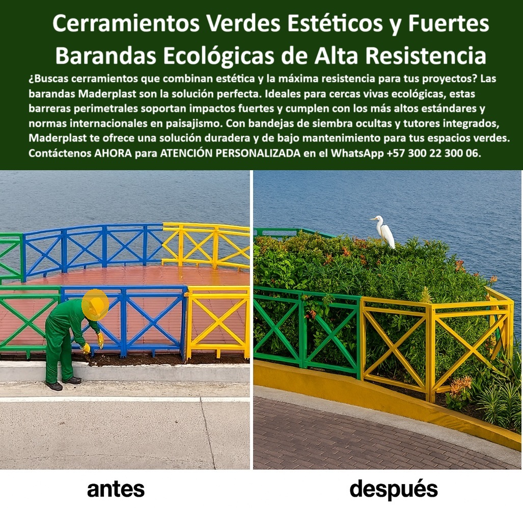 Cerramientos Verdes Barandas Estéticas Bandejas Siembra Ocultas Tutores Maderplast CERRAMIENTOS VERDES ECOLÓGICOS CON BARANDAS DE ALTA RESISTENCIA, BELLEZA FUNCIONAL Y SIN MANTENIMIENTO, - El cerramiento ecológico que vemos en la imagen representa un cambio drástico en la forma de hacer paisajismo urbano y costero. En la escena de la izquierda, se aprecia la estructura inicial en colores vivos, recién instalada y lista para recibir vegetación. En la imagen derecha, dos años después, la transformación es evidente: la baranda no solo ha resistido sin deterioro, óxido ni desgaste climático, sino que ahora soporta con firmeza un jardín vivo integrado, exuberante y estético, con presencia vegetal real gracias a sus bandejas de siembra ocultas y tutores internos que guían el crecimiento natural de las plantas, - Maderplast ha desarrollado esta solución para entornos exigentes, costeros, urbanos o turísticos, donde se requiere una barrera que no sólo limita sino que también embellezca y aporte valor ecológico. Fabricadas con polímeros reciclados de ingeniería avanzada, estas estructuras no requieren pintura, no se oxidan ni se astillan, y son resistentes a la humedad, rayos UV, salinidad marina, hongos y golpes de tráfico peatonal o eventos públicos. Su estructura modular permite adaptarse a diferentes configuraciones topográficas y paisajísticas, integrando siembraviva sin alterar la estética del diseño arquitectónico o urbano, - El uso de jardinería estructural integrada convierte esta cerca en una herramienta poderosa para cumplir con normativas internacionales de sostenibilidad, diseño paisajístico urbano y protección del entorno. No se trata solo de una baranda decorativa: es un sistema completo de cerramiento ecológico que reemplaza soluciones metálicas o de madera, eliminando mantenimiento, pintura, riesgos de oxidación o deterioro. Es ideal para proyectos públicos, terrazas costeras, pasos peatonales, muros de contención verdes, parques, bordes de ríos o accesos institucionales, - La ingeniería de Maderplast permite ofrecer una solución estética y funcional que no comprometa la durabilidad. Sus colores vivos están integrados en el material, lo que significa que no requieren retoques y se mantienen inalterables con el paso de los años. Las plantas crecen de forma controlada desde jardineras ocultas, sin necesidad de obras adicionales o refuerzos costosos. Esto convierte cada cerramiento en una intervención viva, verde, segura, decorativa y de bajo impacto ambiental. Gracias a este sistema, los proyectos paisajísticos ahora pueden tener una imagen robusta, fresca, ecológica y sostenible sin sacrificar el rendimiento técnico ni la seguridad estructural, - La garantía de resistencia extrema y diseño atractivo que ofrece Maderplast es ideal para municipalidades, instituciones, hoteles, desarrollos urbanos o turísticos que buscan diferenciarse mediante innovación ecológica. Este tipo de cerca vegetal con bandeja de siembra integrada no solo transforma visualmente, sino que educa y contribuye al equilibrio urbano-ambiental en todo tipo de entornos, - Maderplast: tecnología ecológica al servicio de los espacios sostenibles, con atención personalizada inmediata en el WhatsApp +57 300 22 300 06, - Producto: Cerramientos Verdes con Barandas Ecológicas Maderplast. Solución estructural con vegetación real integrada, sin óxido, sin pintura, sin reemplazos.CERRAMIENTOS VERDES ECOLÓGICOS CON BARANDAS DE ALTA RESISTENCIA, BELLEZA FUNCIONAL Y SIN MANTENIMIENTO, - El cerramiento ecológico que vemos en la imagen representa un cambio drástico en la forma de hacer paisajismo urbano y costero. En la escena de la izquierda, se aprecia la estructura inicial en colores vivos, recién instalada y lista para recibir vegetación. En la imagen derecha, dos años después, la transformación es evidente: la baranda no solo ha resistido sin deterioro, óxido ni desgaste climático, sino que ahora soporta con firmeza un jardín vivo integrado, exuberante y estético, con presencia vegetal real gracias a sus bandejas de siembra ocultas y tutores internos que guían el crecimiento natural de las plantas, - Maderplast ha desarrollado esta solución para entornos exigentes, costeros, urbanos o turísticos, donde se requiere una barrera que no sólo limita sino que también embellezca y aporte valor ecológico. Fabricadas con polímeros reciclados de ingeniería avanzada, estas estructuras no requieren pintura, no se oxidan ni se astillan, y son resistentes a la humedad, rayos UV, salinidad marina, hongos y golpes de tráfico peatonal o eventos públicos. Su estructura modular permite adaptarse a diferentes configuraciones topográficas y paisajísticas, integrando siembraviva sin alterar la estética del diseño arquitectónico o urbano, - El uso de jardinería estructural integrada convierte esta cerca en una herramienta poderosa para cumplir con normativas internacionales de sostenibilidad, diseño paisajístico urbano y protección del entorno. No se trata solo de una baranda decorativa: es un sistema completo de cerramiento ecológico que reemplaza soluciones metálicas o de madera, eliminando mantenimiento, pintura, riesgos de oxidación o deterioro. Es ideal para proyectos públicos, terrazas costeras, pasos peatonales, muros de contención verdes, parques, bordes de ríos o accesos institucionales, - La ingeniería de Maderplast permite ofrecer una solución estética y funcional que no comprometa la durabilidad. Sus colores vivos están integrados en el material, lo que significa que no requieren retoques y se mantienen inalterables con el paso de los años. Las plantas crecen de forma controlada desde jardineras ocultas, sin necesidad de obras adicionales o refuerzos costosos. Esto convierte cada cerramiento en una intervención viva, verde, segura, decorativa y de bajo impacto ambiental. Gracias a este sistema, los proyectos paisajísticos ahora pueden tener una imagen robusta, fresca, ecológica y sostenible sin sacrificar el rendimiento técnico ni la seguridad estructural, - La garantía de resistencia extrema y diseño atractivo que ofrece Maderplast es ideal para municipalidades, instituciones, hoteles, desarrollos urbanos o turísticos que buscan diferenciarse mediante innovación ecológica. Este tipo de cerca vegetal con bandeja de siembra integrada no solo transforma visualmente, sino que educa y contribuye al equilibrio urbano-ambiental en todo tipo de entornos, - Maderplast: tecnología ecológica al servicio de los espacios sostenibles, con atención personalizada inmediata en el WhatsApp +57 300 22 300 06, - Producto: Cerramientos Verdes con Barandas Ecológicas Maderplast. Solución estructural con vegetación real integrada, sin óxido, sin pintura, sin reemplazos. 0 Cercas vivas ecológicas, - Barreras perimetrales resistentes impactos fuertes, - Proyectos paisajismo norma internacional altos estándares Cerca Cerramientos Verdes Barandas Estéticas Bandejas Siembra Ocultas Tutores Maderplast 0 Cercas vivas ecológicas Barreras perimetrales resistentes impactos fuertes Proyectos paisajismo norma internacional altos estándares Cerca 0 CERRAMIENTOS VERDES ECOLÓGICOS CON BARANDAS DE ALTA RESISTENCIA, BELLEZA FUNCIONAL Y SIN MANTENIMIENTO, - El cerramiento ecológico que vemos en la imagen representa un cambio drástico en la forma de hacer paisajismo urbano y costero. En la escena de la izquierda, se aprecia la estructura inicial en colores vivos, recién instalada y lista para recibir vegetación. En la imagen derecha, dos años después, la transformación es evidente: la baranda no solo ha resistido sin deterioro, óxido ni desgaste climático, sino que ahora soporta con firmeza un jardín vivo integrado, exuberante y estético, con presencia vegetal real gracias a sus bandejas de siembra ocultas y tutores internos que guían el crecimiento natural de las plantas, - Maderplast ha desarrollado esta solución para entornos exigentes, costeros, urbanos o turísticos, donde se requiere una barrera que no sólo limita sino que también embellezca y aporte valor ecológico. Fabricadas con polímeros reciclados de ingeniería avanzada, estas estructuras no requieren pintura, no se oxidan ni se astillan, y son resistentes a la humedad, rayos UV, salinidad marina, hongos y golpes de tráfico peatonal o eventos públicos. Su estructura modular permite adaptarse a diferentes configuraciones topográficas y paisajísticas, integrando siembraviva sin alterar la estética del diseño arquitectónico o urbano, - El uso de jardinería estructural integrada convierte esta cerca en una herramienta poderosa para cumplir con normativas internacionales de sostenibilidad, diseño paisajístico urbano y protección del entorno. No se trata solo de una baranda decorativa: es un sistema completo de cerramiento ecológico que reemplaza soluciones metálicas o de madera, eliminando mantenimiento, pintura, riesgos de oxidación o deterioro. Es ideal para proyectos públicos, terrazas costeras, pasos peatonales, muros de contención verdes, parques, bordes de ríos o accesos institucionales, - La ingeniería de Maderplast permite ofrecer una solución estética y funcional que no comprometa la durabilidad. Sus colores vivos están integrados en el material, lo que significa que no requieren retoques y se mantienen inalterables con el paso de los años. Las plantas crecen de forma controlada desde jardineras ocultas, sin necesidad de obras adicionales o refuerzos costosos. Esto convierte cada cerramiento en una intervención viva, verde, segura, decorativa y de bajo impacto ambiental. Gracias a este sistema, los proyectos paisajísticos ahora pueden tener una imagen robusta, fresca, ecológica y sostenible sin sacrificar el rendimiento técnico ni la seguridad estructural, - La garantía de resistencia extrema y diseño atractivo que ofrece Maderplast es ideal para municipalidades, instituciones, hoteles, desarrollos urbanos o turísticos que buscan diferenciarse mediante innovación ecológica. Este tipo de cerca vegetal con bandeja de siembra integrada no solo transforma visualmente, sino que educa y contribuye al equilibrio urbano-ambiental en todo tipo de entornos, - Maderplast: tecnología ecológica al servicio de los espacios sostenibles, con atención personalizada inmediata en el WhatsApp +57 300 22 300 06, - Producto: Cerramientos Verdes con Barandas Ecológicas Maderplast. Solución estructural con vegetación real integrada, sin óxido, sin pintura, sin reemplazos.CERRAMIENTOS VERDES ECOLÓGICOS CON BARANDAS DE ALTA RESISTENCIA, BELLEZA FUNCIONAL Y SIN MANTENIMIENTO, - El cerramiento ecológico que vemos en la imagen representa un cambio drástico en la forma de hacer paisajismo urbano y costero. En la escena de la izquierda, se aprecia la estructura inicial en colores vivos, recién instalada y lista para recibir vegetación. En la imagen derecha, dos años después, la transformación es evidente: la baranda no solo ha resistido sin deterioro, óxido ni desgaste climático, sino que ahora soporta con firmeza un jardín vivo integrado, exuberante y estético, con presencia vegetal real gracias a sus bandejas de siembra ocultas y tutores internos que guían el crecimiento natural de las plantas, - Maderplast ha desarrollado esta solución para entornos exigentes, costeros, urbanos o turísticos, donde se requiere una barrera que no sólo limita sino que también embellezca y aporte valor ecológico. Fabricadas con polímeros reciclados de ingeniería avanzada, estas estructuras no requieren pintura, no se oxidan ni se astillan, y son resistentes a la humedad, rayos UV, salinidad marina, hongos y golpes de tráfico peatonal o eventos públicos. Su estructura modular permite adaptarse a diferentes configuraciones topográficas y paisajísticas, integrando siembraviva sin alterar la estética del diseño arquitectónico o urbano, - El uso de jardinería estructural integrada convierte esta cerca en una herramienta poderosa para cumplir con normativas internacionales de sostenibilidad, diseño paisajístico urbano y protección del entorno. No se trata solo de una baranda decorativa: es un sistema completo de cerramiento ecológico que reemplaza soluciones metálicas o de madera, eliminando mantenimiento, pintura, riesgos de oxidación o deterioro. Es ideal para proyectos públicos, terrazas costeras, pasos peatonales, muros de contención verdes, parques, bordes de ríos o accesos institucionales, - La ingeniería de Maderplast permite ofrecer una solución estética y funcional que no comprometa la durabilidad. Sus colores vivos están integrados en el material, lo que significa que no requieren retoques y se mantienen inalterables con el paso de los años. Las plantas crecen de forma controlada desde jardineras ocultas, sin necesidad de obras adicionales o refuerzos costosos. Esto convierte cada cerramiento en una intervención viva, verde, segura, decorativa y de bajo impacto ambiental. Gracias a este sistema, los proyectos paisajísticos ahora pueden tener una imagen robusta, fresca, ecológica y sostenible sin sacrificar el rendimiento técnico ni la seguridad estructural, - La garantía de resistencia extrema y diseño atractivo que ofrece Maderplast es ideal para municipalidades, instituciones, hoteles, desarrollos urbanos o turísticos que buscan diferenciarse mediante innovación ecológica. Este tipo de cerca vegetal con bandeja de siembra integrada no solo transforma visualmente, sino que educa y contribuye al equilibrio urbano-ambiental en todo tipo de entornos, - Maderplast: tecnología ecológica al servicio de los espacios sostenibles, con atención personalizada inmediata en el WhatsApp +57 300 22 300 06, - Producto: Cerramientos Verdes con Barandas Ecológicas Maderplast. Solución estructural con vegetación real integrada, sin óxido, sin pintura, sin reemplazos. Cerramientos Verdes Barandas Estéticas Bandejas Siembra Ocultas Tutores Maderplast 0 Cercas vivas ecológicas, - Barreras perimetrales resistentes impactos fuertes, - Proyectos paisajismo norma internacional altos estándares Cerca