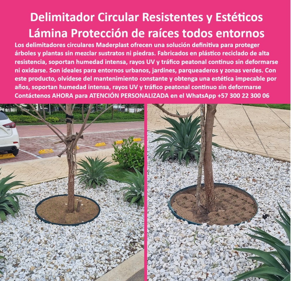 Delimitadores de Jardín Anti raíz Bordes Invisibles Duraderos Separador Maderplast En la imagen, la elegancia minimalista de un delimitador circular de alta resistencia de Maderplast realza visualmente el entorno verde, protegiendo las raíces de un árbol joven sin mezclar piedras con sustrato. El contraste entre el plástico reciclado de color verde oscuro y la cama de piedra blanca revela una integración estética impecable, propia de proyectos paisajísticos exigentes. No hay bordes filosos, ni anclajes visibles, ni señales de deterioro por el clima. Lo que hay es una solución que resiste, que embellece y que dura, - Los delimitadores de jardín anti raíz Maderplast se han convertido en una referencia para quienes buscan funcionalidad sin sacrificar el diseño. Fabricados en plástico reciclado de ingeniería, estos bordes invisibles para jardines modernos están pensados para el uso continuo, en climas extremos, zonas húmedas o expuestas al sol, sin deformarse, sin pudrirse, sin perder su color ni forma. Soportan rayos UV, lluvia constante y tráfico peatonal sin esfuerzo, - Y lo mejor: son productos para jardinería de bajo mantenimiento. No requieren pintura, no se oxidan ni astillan, y se instalan de forma rápida, sin obra civil. Solo se colocan y funcionan. Su estructura está diseñada para cumplir múltiples funciones: actúan como láminas anti raíz para zonas verdes, como protección de raíces contra pisoteo urbano y como separadores de tierra sin mantenimiento. ¿Qué más se puede pedir?, - ¿Buscas láminas de control de raíces para árboles urbanos que además sean estéticas? Maderplast tiene la solución. ¿Quieres bordes resistentes para el paisajismo urbano que no se deterioren con el tiempo? Aquí los tienes. ¿Necesitas contornos para árboles de fácil instalación, sin mezclar sustrato con piedra ni usar químicos? Estás en el lugar correcto. Porque los delimitadores ecológicos color verde jardín de Maderplast no solo cumplen su función técnica, también elevan la calidad visual de cualquier espacio, - La pregunta frecuente de muchos profesionales de mantenimiento urbano es, - ¿Dónde conseguir bordes resistentes al tráfico peatonal que no se oxiden ni pierden forma? La respuesta está en la línea Maderplast, - ¿Hay protección para raíces de árboles sin químicos? Por supuesto. Estas láminas plásticas que no se deforman están hechas sin metales, sin pintura y sin necesidad de refuerzo, - ¿Existen delimitadores que no se desplacen ni se hundan con el tiempo? Maderplast ofrece piezas moldeadas resistentes a rayos UV que se mantienen firmes gracias a su diseño técnico, - ¿Es posible lograr una protección estética sin mezclas de sustrato en jardines modernos? Claro que sí, y además sin mantenimiento, - Los proyectos paisajísticos actuales exigen orden, estética y eficiencia. Con los delimitadores que no oxidan ni astillan, cada árbol queda protegido, sin riesgos de tropiezos, sin daños a las raíces y sin necesidad de mezclas extrañas entre piedra decorativa y tierra vegetal. Esta protección urbana de árboles sin obra civil se convierte en una solución limpia, segura y duradera. Además, al ser molduras urbanas sin anclajes visibles, no generan interrupciones visuales, logrando una continuidad estética que embellece el espacio sin distraer, - Los delimitadores circulares Maderplast funcionan como separadores urbanos de plástico reciclado con altísima durabilidad. Se ven bien desde el primer día y se mantendrán impecables por décadas. Son ideales para parques, jardines verticales, andenes, entradas de conjuntos, zonas institucionales y áreas comunes de alta exigencia, - Este producto es más que una pieza plástica: es una declaración de intención. Cuidamos el árbol. Protegemos la raíz. Delimitamos sin daño. Mantenemos la estética. Sin mezclas, sin químicos, sin mantenimiento, - Contáctanos AHORA vía WhatsApp al +57 300 22 300 06 y descubre cómo transformar tus espacios verdes con delimitadores que sí hacen la diferencia. 0 Láminas control de raíces, - Delimitadores de alta resistencia para uso continuo, - Perfiles delimitadores exteriores resisten humedad 0 Delimitadores de Jardín Anti raíz Bordes Invisibles Duraderos Separador Maderplast 0 Láminas control de raíces Delimitadores de alta resistencia para uso continuo Perfiles delimitadores exteriores resisten humedad 0 En la imagen, la elegancia minimalista de un delimitador circular de alta resistencia de Maderplast realza visualmente el entorno verde, protegiendo las raíces de un árbol joven sin mezclar piedras con sustrato. El contraste entre el plástico reciclado de color verde oscuro y la cama de piedra blanca revela una integración estética impecable, propia de proyectos paisajísticos exigentes. No hay bordes filosos, ni anclajes visibles, ni señales de deterioro por el clima. Lo que hay es una solución que resiste, que embellece y que dura, - Los delimitadores de jardín anti raíz Maderplast se han convertido en una referencia para quienes buscan funcionalidad sin sacrificar el diseño. Fabricados en plástico reciclado de ingeniería, estos bordes invisibles para jardines modernos están pensados para el uso continuo, en climas extremos, zonas húmedas o expuestas al sol, sin deformarse, sin pudrirse, sin perder su color ni forma. Soportan rayos UV, lluvia constante y tráfico peatonal sin esfuerzo, - Y lo mejor: son productos para jardinería de bajo mantenimiento. No requieren pintura, no se oxidan ni astillan, y se instalan de forma rápida, sin obra civil. Solo se colocan y funcionan. Su estructura está diseñada para cumplir múltiples funciones: actúan como láminas anti raíz para zonas verdes, como protección de raíces contra pisoteo urbano y como separadores de tierra sin mantenimiento. ¿Qué más se puede pedir?, - ¿Buscas láminas de control de raíces para árboles urbanos que además sean estéticas? Maderplast tiene la solución. ¿Quieres bordes resistentes para el paisajismo urbano que no se deterioren con el tiempo? Aquí los tienes. ¿Necesitas contornos para árboles de fácil instalación, sin mezclar sustrato con piedra ni usar químicos? Estás en el lugar correcto. Porque los delimitadores ecológicos color verde jardín de Maderplast no solo cumplen su función técnica, también elevan la calidad visual de cualquier espacio, - La pregunta frecuente de muchos profesionales de mantenimiento urbano es, - ¿Dónde conseguir bordes resistentes al tráfico peatonal que no se oxiden ni pierden forma? La respuesta está en la línea Maderplast, - ¿Hay protección para raíces de árboles sin químicos? Por supuesto. Estas láminas plásticas que no se deforman están hechas sin metales, sin pintura y sin necesidad de refuerzo, - ¿Existen delimitadores que no se desplacen ni se hundan con el tiempo? Maderplast ofrece piezas moldeadas resistentes a rayos UV que se mantienen firmes gracias a su diseño técnico, - ¿Es posible lograr una protección estética sin mezclas de sustrato en jardines modernos? Claro que sí, y además sin mantenimiento, - Los proyectos paisajísticos actuales exigen orden, estética y eficiencia. Con los delimitadores que no oxidan ni astillan, cada árbol queda protegido, sin riesgos de tropiezos, sin daños a las raíces y sin necesidad de mezclas extrañas entre piedra decorativa y tierra vegetal. Esta protección urbana de árboles sin obra civil se convierte en una solución limpia, segura y duradera. Además, al ser molduras urbanas sin anclajes visibles, no generan interrupciones visuales, logrando una continuidad estética que embellece el espacio sin distraer, - Los delimitadores circulares Maderplast funcionan como separadores urbanos de plástico reciclado con altísima durabilidad. Se ven bien desde el primer día y se mantendrán impecables por décadas. Son ideales para parques, jardines verticales, andenes, entradas de conjuntos, zonas institucionales y áreas comunes de alta exigencia, - Este producto es más que una pieza plástica: es una declaración de intención. Cuidamos el árbol. Protegemos la raíz. Delimitamos sin daño. Mantenemos la estética. Sin mezclas, sin químicos, sin mantenimiento, - Contáctanos AHORA vía WhatsApp al +57 300 22 300 06 y descubre cómo transformar tus espacios verdes con delimitadores que sí hacen la diferencia. Delimitadores de Jardín Anti raíz Bordes Invisibles Duraderos Separador Maderplast 0 Láminas control de raíces, - Delimitadores de alta resistencia para uso continuo, - Perfiles delimitadores exteriores resisten humedad 0