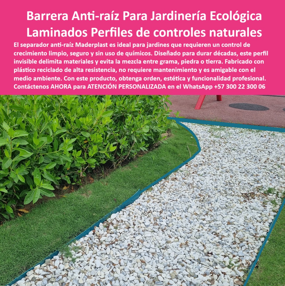 Delimitadores de Jardín Anti raíz Bordes Invisibles Duraderos Separador Maderplast Los proyectos de jardinería moderna exigen soluciones sostenibles, invisibles y técnicas que resuelvan los problemas de delimitación sin recurrir a químicos ni mantenimientos frecuentes. En este contexto, el perfil anti-raíz Maderplast se convierte en una herramienta esencial para paisajistas profesionales, arquitectos urbanos y diseñadores ambientales que buscan controlar el crecimiento de raíces de manera limpia, ecológica y visualmente armónica. Este separador, fabricado con polímero reciclado de alta resistencia, actúa como una barrera discreta pero poderosa que evita la mezcla entre césped, grava o sustratos decorativos, manteniendo cada material en su lugar con precisión milimétrica, - La instalación de este perfil es completamente subterránea, lo que le otorga una estética impecable: es invisible al ojo humano pero resistente al paso del tiempo. Gracias a su estructura plástica, no se oxida, no se rompe ni se deforma, incluso frente a lluvias intensas, exposición solar prolongada o tráfico peatonal continuo. Su diseño curvo o lineal, según la necesidad del trazado, se adapta sin problemas a formas complejas o contornos creativos del paisaje, permitiendo una integración perfecta con jardines residenciales, institucionales o públicos, - En lugar de aplicar productos químicos para frenar raíces invasoras, esta barrera actúa como un contenedor físico natural que respeta la salud del suelo y la vegetación. A diferencia de otros materiales tradicionales que requieren pintura, mantenimiento o reemplazos por desgaste, los perfiles Maderplast están diseñados para durar décadas sin perder su funcionalidad ni su integridad estructural. Son ideales para mantener caminos definidos, espacios verdes bien organizados y bordes entre piedras y grama con una claridad visual permanente, - En entornos urbanos donde la estética y el orden son tan importantes como la sostenibilidad, este tipo de tecnología resulta fundamental. Su color neutro o verde jardinería permite que se mimetice con el entorno sin interrumpir la experiencia visual del paisajismo. Además, su fabricación con materiales reciclados aporta valor ambiental agregado, alineándose con las políticas de economía circular y responsabilidad ecológica que hoy exigen tanto las normativas como los consumidores, - Los perfiles anti-raíz de Maderplast representan una evolución en el diseño de jardines contemporáneos: no son simplemente bordes, son soluciones técnicas inteligentes que garantizan una jardinería limpia, profesional, y libre de intervenciones costosas a futuro. Su resistencia extrema a climas adversos y su flexibilidad de diseño lo convierten en la elección definitiva para quienes buscan precisión, belleza y durabilidad en un solo producto, - Transformar un jardín no requiere esfuerzos titánicos si se cuenta con los elementos adecuados. Con Maderplast, la separación entre zonas se convierte en una línea de eficiencia, diseño y tecnología avanzada que aporta valor desde el primer día y se mantiene vigente durante años sin alteración, - Solicite atención personalizada ahora mismo a través del WhatsApp +57 300 22 300 06 y descubra cómo sus proyectos de jardinería ecológica pueden alcanzar un nuevo nivel de definición, control y estética con los perfiles laminados anti-raíz Maderplast. 0 Perfiles jardinería sin mantenimiento, - Barrera raíces para jardinería profesional cero químicos, - Barrera raíces ecológica segura car Delimitadores de Jardín Anti raíz Bordes Invisibles Duraderos Separador Maderplast 0 Perfiles jardinería sin mantenimiento Barrera raíces para jardinería profesional cero químicos Barrera raíces ecológica segura car 0 Los proyectos de jardinería moderna exigen soluciones sostenibles, invisibles y técnicas que resuelvan los problemas de delimitación sin recurrir a químicos ni mantenimientos frecuentes. En este contexto, el perfil anti-raíz Maderplast se convierte en una herramienta esencial para paisajistas profesionales, arquitectos urbanos y diseñadores ambientales que buscan controlar el crecimiento de raíces de manera limpia, ecológica y visualmente armónica. Este separador, fabricado con polímero reciclado de alta resistencia, actúa como una barrera discreta pero poderosa que evita la mezcla entre césped, grava o sustratos decorativos, manteniendo cada material en su lugar con precisión milimétrica, - La instalación de este perfil es completamente subterránea, lo que le otorga una estética impecable: es invisible al ojo humano pero resistente al paso del tiempo. Gracias a su estructura plástica, no se oxida, no se rompe ni se deforma, incluso frente a lluvias intensas, exposición solar prolongada o tráfico peatonal continuo. Su diseño curvo o lineal, según la necesidad del trazado, se adapta sin problemas a formas complejas o contornos creativos del paisaje, permitiendo una integración perfecta con jardines residenciales, institucionales o públicos, - En lugar de aplicar productos químicos para frenar raíces invasoras, esta barrera actúa como un contenedor físico natural que respeta la salud del suelo y la vegetación. A diferencia de otros materiales tradicionales que requieren pintura, mantenimiento o reemplazos por desgaste, los perfiles Maderplast están diseñados para durar décadas sin perder su funcionalidad ni su integridad estructural. Son ideales para mantener caminos definidos, espacios verdes bien organizados y bordes entre piedras y grama con una claridad visual permanente, - En entornos urbanos donde la estética y el orden son tan importantes como la sostenibilidad, este tipo de tecnología resulta fundamental. Su color neutro o verde jardinería permite que se mimetice con el entorno sin interrumpir la experiencia visual del paisajismo. Además, su fabricación con materiales reciclados aporta valor ambiental agregado, alineándose con las políticas de economía circular y responsabilidad ecológica que hoy exigen tanto las normativas como los consumidores, - Los perfiles anti-raíz de Maderplast representan una evolución en el diseño de jardines contemporáneos: no son simplemente bordes, son soluciones técnicas inteligentes que garantizan una jardinería limpia, profesional, y libre de intervenciones costosas a futuro. Su resistencia extrema a climas adversos y su flexibilidad de diseño lo convierten en la elección definitiva para quienes buscan precisión, belleza y durabilidad en un solo producto, - Transformar un jardín no requiere esfuerzos titánicos si se cuenta con los elementos adecuados. Con Maderplast, la separación entre zonas se convierte en una línea de eficiencia, diseño y tecnología avanzada que aporta valor desde el primer día y se mantiene vigente durante años sin alteración, - Solicite atención personalizada ahora mismo a través del WhatsApp +57 300 22 300 06 y descubra cómo sus proyectos de jardinería ecológica pueden alcanzar un nuevo nivel de definición, control y estética con los perfiles laminados anti-raíz Maderplast. Delimitadores de Jardín Anti raíz Bordes Invisibles Duraderos Separador Maderplast 0 Perfiles jardinería sin mantenimiento, - Barrera raíces para jardinería profesional cero químicos, - Barrera raíces ecológica segura car