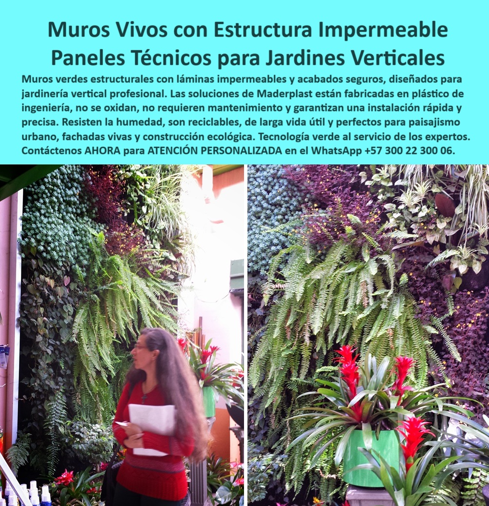 Estructuras Jardines Verticales Muros laminas Impermeables estructurales Maderplast Fachada interior ajardinada con lámina impermeable y plantas fijadas en panel técnico, una escena que representa el máximo nivel en tecnología aplicada al paisajismo-urbano-sustentable. Este panel técnico impermeable para jardín vertical con plantas naturales y estructura modular decorativa es la respuesta concreta a las exigencias de diseño contemporáneo que busca unir belleza, sostenibilidad y rendimiento técnico. En la imagen, las estructuras-para-muros-vivos se integran sin interferir con la arquitectura base, brindando una solución de instalación limpia, rápida y de alto impacto visual, - Ante la pregunta ¿qué estructura usar para plantas en muros?, la respuesta técnica es clara: un sistema prefabricado con canales para irrigación oculta fabricado en estructura plástica para muros verdes con paneles estructurales reciclables para jardines, que garantiza durabilidad, aislamiento contra humedad y soporte mecánico sin necesidad de pintura, ni mantenimiento. Este tipo de estructura modular para muros verdes ha sido diseñada específicamente para responder a entornos institucionales, comerciales y urbanos donde la eficiencia y la estética no deben competir, sino complementarse, - Ahora bien, ¿dónde consigo paneles para jardines verticales? Maderplast ofrece el sistema más avanzado del mercado, con láminas plásticas impermeables que aíslan y protegen, perfectas para crear fachadas verdes para zonas institucionales o muros decorativos con vegetación natural sin riesgo de filtraciones. La tecnología impermeable para muros verticales desarrollada por la empresa permite la instalación de jardinería vertical con láminas impermeables sin recurrir a obras civiles, manteniendo la estructura existente intacta, gracias a un panel técnico impermeable que se instala sin obras y que aporta soluciones sin mantenimiento para arquitectura verde, - Si usted se pregunta ¿cómo hacer jardín vertical profesional?, la solución es implementar paneles técnicos para jardines verticales con una estructura plástica duradera para vegetación vertical profesional, resistentes al óxido, a las plagas y al deterioro ambiental. Estos sistemas no requieren pintura ni impermeabilización adicional, lo que se traduce en una instalación rápida de jardín vertical con panel prearmado con guías para plantas y drenaje, y un rendimiento que sobrevive a condiciones variables con mínima intervención, - Los arquitectos y diseñadores también consultan ¿qué instalar en fachadas con plantas? y la respuesta es técnica y funcional: un panel técnico modular con ranuras para vegetación directa, que actúa como armazón técnico que se adapta a cualquier fachada, ocultando el sistema de sujeción, manteniendo una estética continua y facilitando el mantenimiento. Este tipo de revestimiento verde para construcción ecológica transforma muros comunes en muros ecológicos sin filtraciones, utilizando paneles de jardinería sin óxido ni plagas y apostando por la jardinería sustentable en espacios interiores, - Para quienes buscan muros verdes sin mantenimiento profesional, esta solución permite responder técnicamente a la necesidad de espacios vivos pero controlables. Con productos reciclables para diseño urbano, Maderplast responde a la demanda de ciudades que requieren soluciones limpias, confiables y sostenibles. La experiencia de más de dos décadas como fabricantes de estructuras técnicas para jardines colgantes se traduce en paneles-técnicos-ecológicos que elevan la categoría del diseño paisajístico, - Surge entonces una pregunta frecuente: ¿cómo se arma un muro vivo ecológico? Con módulos ensamblables de alta durabilidad técnica, que permiten montar paredes verticales con plantas integradas sin romper muros ni intervenir estructuras existentes. Este sistema, adaptable y técnico, es la mejor elección cuando se requiere un sistema impermeable para jardines verticales de alto rendimiento, - Y si lo que usted necesita es un jardín funcional, duradero y bello, sin preocuparse por la humedad o el deterioro, consulte con nuestros expertos. Asesoría especializada con un especialista de Maderplast, atención personalizada en este WhatsApp: +57 300 22 300 06. Obtenga acompañamiento profesional, técnico y orientado al logro de soluciones verdes reales, con panel para jardinería vertical en interiores y exteriores, preparados para el futuro urbano que ya comenzó, - Porque cuando se trata de estructuras impermeables para muros vivos, de fachadas-verdes-impermeables, de soluciones ecológicas para paredes vivas, y de estructura para jardines verticales duraderos, Maderplast es líder en tecnología, diseño y sostenibilidad. Esto no es solo un producto. Es una transformación verde al alcance de todos, con innovación que convence, belleza que emociona y técnica que permanece. 0 Estructuras flexibles acabados finos muy seguros, - Paneles para paredes vivas, Muros verdes impermeables, - Armazón para paredes vivas Estructuras Jardines Verticales Muros laminas Impermeables estructurales Maderplast 0 Estructuras flexibles acabados finos muy seguros Paneles para paredes vivas Muros verdes impermeables Armazón para paredes vivas 0 Fachada interior ajardinada con lámina impermeable y plantas fijadas en panel técnico, una escena que representa el máximo nivel en tecnología aplicada al paisajismo-urbano-sustentable. Este panel técnico impermeable para jardín vertical con plantas naturales y estructura modular decorativa es la respuesta concreta a las exigencias de diseño contemporáneo que busca unir belleza, sostenibilidad y rendimiento técnico. En la imagen, las estructuras-para-muros-vivos se integran sin interferir con la arquitectura base, brindando una solución de instalación limpia, rápida y de alto impacto visual, - Ante la pregunta ¿qué estructura usar para plantas en muros?, la respuesta técnica es clara: un sistema prefabricado con canales para irrigación oculta fabricado en estructura plástica para muros verdes con paneles estructurales reciclables para jardines, que garantiza durabilidad, aislamiento contra humedad y soporte mecánico sin necesidad de pintura, ni mantenimiento. Este tipo de estructura modular para muros verdes ha sido diseñada específicamente para responder a entornos institucionales, comerciales y urbanos donde la eficiencia y la estética no deben competir, sino complementarse, - Ahora bien, ¿dónde consigo paneles para jardines verticales? Maderplast ofrece el sistema más avanzado del mercado, con láminas plásticas impermeables que aíslan y protegen, perfectas para crear fachadas verdes para zonas institucionales o muros decorativos con vegetación natural sin riesgo de filtraciones. La tecnología impermeable para muros verticales desarrollada por la empresa permite la instalación de jardinería vertical con láminas impermeables sin recurrir a obras civiles, manteniendo la estructura existente intacta, gracias a un panel técnico impermeable que se instala sin obras y que aporta soluciones sin mantenimiento para arquitectura verde, - Si usted se pregunta ¿cómo hacer jardín vertical profesional?, la solución es implementar paneles técnicos para jardines verticales con una estructura plástica duradera para vegetación vertical profesional, resistentes al óxido, a las plagas y al deterioro ambiental. Estos sistemas no requieren pintura ni impermeabilización adicional, lo que se traduce en una instalación rápida de jardín vertical con panel prearmado con guías para plantas y drenaje, y un rendimiento que sobrevive a condiciones variables con mínima intervención, - Los arquitectos y diseñadores también consultan ¿qué instalar en fachadas con plantas? y la respuesta es técnica y funcional: un panel técnico modular con ranuras para vegetación directa, que actúa como armazón técnico que se adapta a cualquier fachada, ocultando el sistema de sujeción, manteniendo una estética continua y facilitando el mantenimiento. Este tipo de revestimiento verde para construcción ecológica transforma muros comunes en muros ecológicos sin filtraciones, utilizando paneles de jardinería sin óxido ni plagas y apostando por la jardinería sustentable en espacios interiores, - Para quienes buscan muros verdes sin mantenimiento profesional, esta solución permite responder técnicamente a la necesidad de espacios vivos pero controlables. Con productos reciclables para diseño urbano, Maderplast responde a la demanda de ciudades que requieren soluciones limpias, confiables y sostenibles. La experiencia de más de dos décadas como fabricantes de estructuras técnicas para jardines colgantes se traduce en paneles-técnicos-ecológicos que elevan la categoría del diseño paisajístico, - Surge entonces una pregunta frecuente: ¿cómo se arma un muro vivo ecológico? Con módulos ensamblables de alta durabilidad técnica, que permiten montar paredes verticales con plantas integradas sin romper muros ni intervenir estructuras existentes. Este sistema, adaptable y técnico, es la mejor elección cuando se requiere un sistema impermeable para jardines verticales de alto rendimiento, - Y si lo que usted necesita es un jardín funcional, duradero y bello, sin preocuparse por la humedad o el deterioro, consulte con nuestros expertos. Asesoría especializada con un especialista de Maderplast, atención personalizada en este WhatsApp: +57 300 22 300 06. Obtenga acompañamiento profesional, técnico y orientado al logro de soluciones verdes reales, con panel para jardinería vertical en interiores y exteriores, preparados para el futuro urbano que ya comenzó, - Porque cuando se trata de estructuras impermeables para muros vivos, de fachadas-verdes-impermeables, de soluciones ecológicas para paredes vivas, y de estructura para jardines verticales duraderos, Maderplast es líder en tecnología, diseño y sostenibilidad. Esto no es solo un producto. Es una transformación verde al alcance de todos, con innovación que convence, belleza que emociona y técnica que permanece. Estructuras Jardines Verticales Muros laminas Impermeables estructurales Maderplast 0 Estructuras flexibles acabados finos muy seguros, - Paneles para paredes vivas, Muros verdes impermeables, - Armazón para paredes vivas