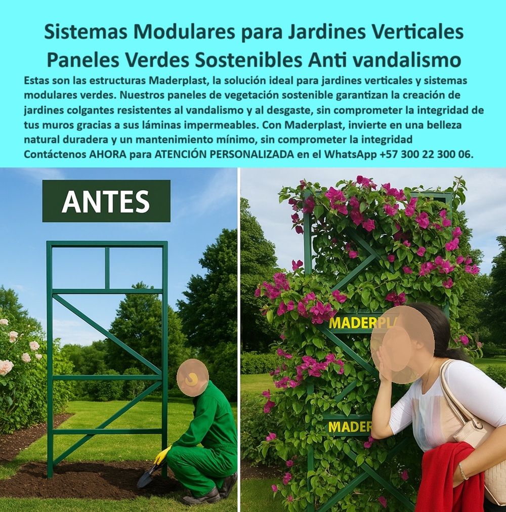 Estructuras Jardines Verticales Muros laminas Impermeables estructurales Maderplast Antes y después de la transformación verde: la imagen lo dice todo. A la izquierda, un marco plástico vacío se erige sobre la tierra, apenas insinuando su propósito. A la derecha, el mismo módulo ahora rebosa de vida, cubierto por flores color fucsia que trepan con fuerza y armonía. Este es el verdadero poder de los sistemas modulares para jardines verticales de Maderplast, una solución que no solo embellece el entorno urbano, sino que resuelve con ingeniería las exigencias del paisajismo sostenible, - Si alguna vez te preguntaste qué estructura usar para jardín vertical seguro, aquí tienes la respuesta: un soporte vertical para plantas con sistema modular hecho con polímero estructural impermeable, libre de corrosión, sin necesidad de pintura, y con una resistencia total al clima, al desgaste y al vandalismo urbano. El sistema incluye un diseño inteligente de refuerzos diagonales, que además de brindar rigidez, permiten guiar el crecimiento natural de plantas trepadoras como buganvilias, enredaderas o jazmines, - Lo que ves en esta escena no es casualidad. Es el resultado de años de desarrollo de estructuras plásticas para jardines colgantes, diseñadas específicamente para soportar vegetación densa, ofrecer anclaje seguro sin dañar paredes y eliminar por completo la necesidad de mantenimiento continuo. A diferencia de los antiguos muros metálicos, este panel vegetal seguro para parques y jardines no se oxida, no se astilla, y no transmite humedad a los muros gracias a sus láminas impermeables estructurales, - Este tipo de producto responde de forma perfecta a necesidades de muros verdes fáciles de instalar y duraderos. Arquitectos, paisajistas y administradores de espacio público encuentran en estos paneles sostenibles para jardinería vertical una respuesta técnica y estética a las demandas contemporáneas de ciudades más verdes, limpias y saludables, - Cuando preguntas cómo evitar que un muro verde se oxide o se deteriore, Maderplast te responde con innovación: sus estructuras antidesgaste para muros verdes están compuestas de un polímero de ingeniería que no requiere refuerzos metálicos, que se adapta al crecimiento natural de las plantas, y que además resiste los actos vandálicos comunes en áreas públicas, - Y si el diseño también es prioridad, la solución no se queda atrás. Estos paneles verdes sostenibles anti vandalismo están pensados para integrarse a todo tipo de espacios urbanos: desde parques y plazas públicas, hasta fachadas comerciales, colegios o zonas de tráfico peatonal intensivo. Su estética se potencia con el verde natural de las plantas, ofreciendo una alternativa visual impactante sin sacrificar funcionalidad ni durabilidad, - Además, su formato modular permite que cualquier proyecto de diseño paisajístico vertical sostenible se realice de forma escalable. No necesitas construir muros especiales ni invertir en obras civiles complejas: el sistema se instala fácilmente, se une como un rompecabezas inteligente, y queda listo para recibir vegetación viva que en poco tiempo convertirá una pared inerte en un muro ecológico con crecimiento vegetal natural, - Gracias a esta tecnología, Maderplast permite que tus jardines verticales estén listos para resistir el paso del tiempo, el clima y el uso público. Estas estructuras ecológicas para jardines colgantes hacen parte de la nueva generación de infraestructura verde: técnica, funcional, segura y totalmente libre de mantenimiento, - La inversión es mínima comparada con los beneficios. Un solo módulo puede transformar un espacio seco en un jardín vertical lleno de color, vida y frescura. Los sistemas verdes para fachadas ecológicas de Maderplast están construidos con visión a largo plazo, sostenibilidad real y una lógica constructiva que respeta la naturaleza sin renunciar a la ingeniería, - Si estás planeando renovar un parque, un muro, una fachada o simplemente necesitas una solución viva, funcional y sin mantenimiento, escríbenos al WhatsApp +57 300 22 300 06. Nuestro equipo te dará atención personalizada y te guiará para que tu proyecto sea un éxito, - Maderplast no vende productos. Maderplast transforma espacios. 0 Sistemas modulares verticales, - Paneles-Vegetación-Sostenible, - Estructuras jardín colgante resistentes vandalismo, Sistemas modulares verdes Estructuras Jardines Verticales Muros laminas Impermeables estructurales Maderplast 0 Sistemas modulares verticales Paneles Vegetación Sostenible Estructuras jardín colgante resistentes vandalismo Sistemas modulares verdes 0 Antes y después de la transformación verde: la imagen lo dice todo. A la izquierda, un marco plástico vacío se erige sobre la tierra, apenas insinuando su propósito. A la derecha, el mismo módulo ahora rebosa de vida, cubierto por flores color fucsia que trepan con fuerza y armonía. Este es el verdadero poder de los sistemas modulares para jardines verticales de Maderplast, una solución que no solo embellece el entorno urbano, sino que resuelve con ingeniería las exigencias del paisajismo sostenible, - Si alguna vez te preguntaste qué estructura usar para jardín vertical seguro, aquí tienes la respuesta: un soporte vertical para plantas con sistema modular hecho con polímero estructural impermeable, libre de corrosión, sin necesidad de pintura, y con una resistencia total al clima, al desgaste y al vandalismo urbano. El sistema incluye un diseño inteligente de refuerzos diagonales, que además de brindar rigidez, permiten guiar el crecimiento natural de plantas trepadoras como buganvilias, enredaderas o jazmines, - Lo que ves en esta escena no es casualidad. Es el resultado de años de desarrollo de estructuras plásticas para jardines colgantes, diseñadas específicamente para soportar vegetación densa, ofrecer anclaje seguro sin dañar paredes y eliminar por completo la necesidad de mantenimiento continuo. A diferencia de los antiguos muros metálicos, este panel vegetal seguro para parques y jardines no se oxida, no se astilla, y no transmite humedad a los muros gracias a sus láminas impermeables estructurales, - Este tipo de producto responde de forma perfecta a necesidades de muros verdes fáciles de instalar y duraderos. Arquitectos, paisajistas y administradores de espacio público encuentran en estos paneles sostenibles para jardinería vertical una respuesta técnica y estética a las demandas contemporáneas de ciudades más verdes, limpias y saludables, - Cuando preguntas cómo evitar que un muro verde se oxide o se deteriore, Maderplast te responde con innovación: sus estructuras antidesgaste para muros verdes están compuestas de un polímero de ingeniería que no requiere refuerzos metálicos, que se adapta al crecimiento natural de las plantas, y que además resiste los actos vandálicos comunes en áreas públicas, - Y si el diseño también es prioridad, la solución no se queda atrás. Estos paneles verdes sostenibles anti vandalismo están pensados para integrarse a todo tipo de espacios urbanos: desde parques y plazas públicas, hasta fachadas comerciales, colegios o zonas de tráfico peatonal intensivo. Su estética se potencia con el verde natural de las plantas, ofreciendo una alternativa visual impactante sin sacrificar funcionalidad ni durabilidad, - Además, su formato modular permite que cualquier proyecto de diseño paisajístico vertical sostenible se realice de forma escalable. No necesitas construir muros especiales ni invertir en obras civiles complejas: el sistema se instala fácilmente, se une como un rompecabezas inteligente, y queda listo para recibir vegetación viva que en poco tiempo convertirá una pared inerte en un muro ecológico con crecimiento vegetal natural, - Gracias a esta tecnología, Maderplast permite que tus jardines verticales estén listos para resistir el paso del tiempo, el clima y el uso público. Estas estructuras ecológicas para jardines colgantes hacen parte de la nueva generación de infraestructura verde: técnica, funcional, segura y totalmente libre de mantenimiento, - La inversión es mínima comparada con los beneficios. Un solo módulo puede transformar un espacio seco en un jardín vertical lleno de color, vida y frescura. Los sistemas verdes para fachadas ecológicas de Maderplast están construidos con visión a largo plazo, sostenibilidad real y una lógica constructiva que respeta la naturaleza sin renunciar a la ingeniería, - Si estás planeando renovar un parque, un muro, una fachada o simplemente necesitas una solución viva, funcional y sin mantenimiento, escríbenos al WhatsApp +57 300 22 300 06. Nuestro equipo te dará atención personalizada y te guiará para que tu proyecto sea un éxito, - Maderplast no vende productos. Maderplast transforma espacios. Estructuras Jardines Verticales Muros laminas Impermeables estructurales Maderplast 0 Sistemas modulares verticales, - Paneles-Vegetación-Sostenible, - Estructuras jardín colgante resistentes vandalismo, Sistemas modulares verdes