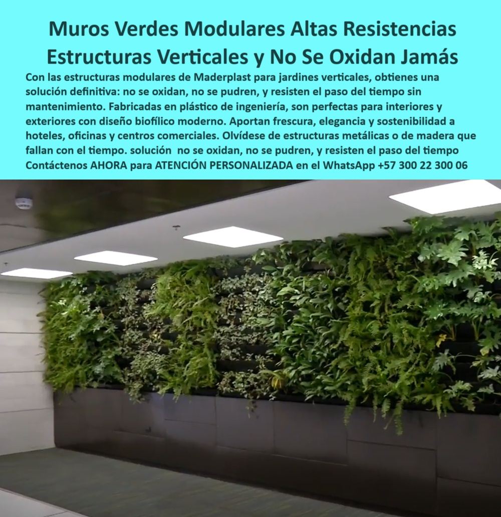 Estructuras Pérgolas Vivas Jardines Verticales Soportes Diseño paisajismo Maderplast Jardines Verticales Maderplast, - Diseño Biofílico Real, Modular, Sin Mantenimiento y Sin Óxido, - Desde el primer vistazo, el muro verde que aparece en esta imagen proyecta más que diseño: comunica una visión sostenible, un compromiso con la vida, con la elegancia funcional y con la arquitectura bioclimática inteligente. Los muros verdes modulares de alta resistencia de Maderplast se integran en interiores de alto tránsito como oficinas, lobbies, hoteles y centros comerciales, pero también en exteriores controlados, convirtiéndose en verdaderas estructuras de soporte para vegetación vertical que no solo son estéticas, sino también técnicamente superiores, - A diferencia de otras soluciones que utilizan madera, acero o materiales que se deterioran con el paso del tiempo, los jardines verticales interiores sin mantenimiento de Maderplast están fabricados en polímero técnico de alta ingeniería, lo que significa que son estructuras Maderplast para muros vivos completamente inmunes al óxido, a la humedad, al sol y al desgaste. Esto los convierte en una inversión de largo plazo, sin necesidad de mantenimiento, ni pintura, ni repuestos costosos. Es decir, son jardines verticales sin óxido ni madera, ideales para proyectos modernos y sostenibles que buscan combinar diseño y funcionalidad sin comprometer el medio ambiente, - Su diseño modular permite adaptarse a diferentes formas arquitectónicas, desde paneles para fachadas verdes sostenibles hasta jardines verticales modulares personalizables que siguen los contornos de muros curvos o rectos. Además, su estructura garantiza una instalación limpia, sin filtraciones, gracias a sus soportes antihumedad para follaje vertical. Esto convierte a los paneles resistentes al tiempo y clima de Maderplast en una infraestructura verde para oficinas modernas donde el diseño biofílico cobra sentido funcional, - En espacios cerrados o semi cubiertos, estos sistemas funcionan como verdaderas estructuras vivas para arquitectura interior, capaces de generar confort térmico, acústico y visual. La vegetación real —ya sean trepadoras, helechos o plantas ornamentales perennes— crece con vigor sobre un soporte modular para plantas de interior que, además de ser seguro y resistente, ofrece una experiencia visual que revitaliza, - Este tipo de soluciones son perfectas para muros decorativos con vegetación real o como revestimiento ecológico para centros comerciales que buscan dar un paso hacia el paisajismo corporativo con plantas vivas. Aportan frescura, elegancia, y lo más importante: cero mantenimiento. Ya no hay excusas para postergar un proyecto verde. No se necesita metal, no se necesita madera, ni químicos. Solo el diseño biofílico Maderplast, una opción libre de óxido, sin pudrición y resistente a las condiciones más exigentes, - Cada jardín vertical de Maderplast se convierte en un emblema de ciudad inteligente, de arquitectura responsable, de una tendencia global hacia el bienestar. Ya sea que se instale en una pared viva de hospital, una sala de espera de una clínica, una pasarela corporativa, o como parte del soporte para muros bioclimáticos urbanos, su impacto es - Respuesta - : el entorno cambia, se siente mejor, se respira mejor, - No se trata solo de estética, sino de hacer las cosas bien desde el diseño. Con Maderplast, cada componente está pensado para durar, para resistir y para hacer parte de una transformación urbana que pone a la naturaleza en el centro de la escena. Si buscas estructuras ecológicas para diseño biofílico con resultados duraderos y sostenibles, si necesitas soluciones ecológicas de diseño interior que realmente funcionen en el tiempo, entonces no hay mejor opción, - 🌿 Vive la evolución de los espacios con muros que respiran, protegen y embellecen por décadas, - Solicita hoy mismo tu asesoría técnica personalizada por WhatsApp: +57 300 22 300 06 0 Fachadas verdes soporte no se oxidan, resisten clima, sin pudrición, Jardines verticales modulares nuevas tendencias, alta durabilidad Estructuras Pérgolas Vivas Jardines Verticales Soportes Diseño paisajismo Maderplast 0 Fachadas verdes soporte no se oxidan resisten clima sin pudrición Jardines verticales modulares nuevas tendencias alta durabilidad 0 Jardines Verticales Maderplast, - Diseño Biofílico Real, Modular, Sin Mantenimiento y Sin Óxido, - Desde el primer vistazo, el muro verde que aparece en esta imagen proyecta más que diseño: comunica una visión sostenible, un compromiso con la vida, con la elegancia funcional y con la arquitectura bioclimática inteligente. Los muros verdes modulares de alta resistencia de Maderplast se integran en interiores de alto tránsito como oficinas, lobbies, hoteles y centros comerciales, pero también en exteriores controlados, convirtiéndose en verdaderas estructuras de soporte para vegetación vertical que no solo son estéticas, sino también técnicamente superiores, - A diferencia de otras soluciones que utilizan madera, acero o materiales que se deterioran con el paso del tiempo, los jardines verticales interiores sin mantenimiento de Maderplast están fabricados en polímero técnico de alta ingeniería, lo que significa que son estructuras Maderplast para muros vivos completamente inmunes al óxido, a la humedad, al sol y al desgaste. Esto los convierte en una inversión de largo plazo, sin necesidad de mantenimiento, ni pintura, ni repuestos costosos. Es decir, son jardines verticales sin óxido ni madera, ideales para proyectos modernos y sostenibles que buscan combinar diseño y funcionalidad sin comprometer el medio ambiente, - Su diseño modular permite adaptarse a diferentes formas arquitectónicas, desde paneles para fachadas verdes sostenibles hasta jardines verticales modulares personalizables que siguen los contornos de muros curvos o rectos. Además, su estructura garantiza una instalación limpia, sin filtraciones, gracias a sus soportes antihumedad para follaje vertical. Esto convierte a los paneles resistentes al tiempo y clima de Maderplast en una infraestructura verde para oficinas modernas donde el diseño biofílico cobra sentido funcional, - En espacios cerrados o semi cubiertos, estos sistemas funcionan como verdaderas estructuras vivas para arquitectura interior, capaces de generar confort térmico, acústico y visual. La vegetación real —ya sean trepadoras, helechos o plantas ornamentales perennes— crece con vigor sobre un soporte modular para plantas de interior que, además de ser seguro y resistente, ofrece una experiencia visual que revitaliza, - Este tipo de soluciones son perfectas para muros decorativos con vegetación real o como revestimiento ecológico para centros comerciales que buscan dar un paso hacia el paisajismo corporativo con plantas vivas. Aportan frescura, elegancia, y lo más importante: cero mantenimiento. Ya no hay excusas para postergar un proyecto verde. No se necesita metal, no se necesita madera, ni químicos. Solo el diseño biofílico Maderplast, una opción libre de óxido, sin pudrición y resistente a las condiciones más exigentes, - Cada jardín vertical de Maderplast se convierte en un emblema de ciudad inteligente, de arquitectura responsable, de una tendencia global hacia el bienestar. Ya sea que se instale en una pared viva de hospital, una sala de espera de una clínica, una pasarela corporativa, o como parte del soporte para muros bioclimáticos urbanos, su impacto es - Respuesta - : el entorno cambia, se siente mejor, se respira mejor, - No se trata solo de estética, sino de hacer las cosas bien desde el diseño. Con Maderplast, cada componente está pensado para durar, para resistir y para hacer parte de una transformación urbana que pone a la naturaleza en el centro de la escena. Si buscas estructuras ecológicas para diseño biofílico con resultados duraderos y sostenibles, si necesitas soluciones ecológicas de diseño interior que realmente funcionen en el tiempo, entonces no hay mejor opción, - 🌿 Vive la evolución de los espacios con muros que respiran, protegen y embellecen por décadas, - Solicita hoy mismo tu asesoría técnica personalizada por WhatsApp: +57 300 22 300 06 Estructuras Pérgolas Vivas Jardines Verticales Soportes Diseño paisajismo Maderplast 0 Fachadas verdes soporte no se oxidan, resisten clima, sin pudrición, Jardines verticales modulares nuevas tendencias, alta durabilidad