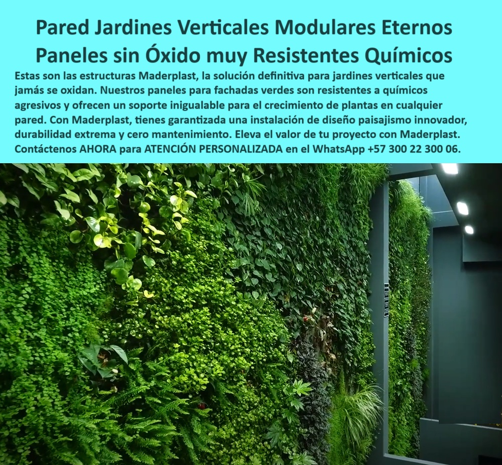 Estructuras Pérgolas Vivas Jardines Verticales Soportes Diseño paisajismo Maderplast En la imagen observamos un muro verde impactante, cubierto por una vegetación viva y exuberante que escala con precisión sobre una estructura oculta. A primera vista, se percibe armonía, vida, diseño y tecnología integrados en un solo plano vertical. El ambiente corporativo donde se encuentra este jardín demuestra que no se trata de una intervención decorativa cualquiera, sino de un sistema avanzado, robusto y duradero. La elegancia estética no está reñida con la resistencia técnica. Esta es la verdadera solución para jardines verticales modulares sin corrosión, desarrollada por Maderplast, - Este tipo de muro vegetal responde a una pregunta fundamental: ¿Qué paneles no se oxidan para jardines verticales? Y la respuesta es clara, funcional y definitiva: los paneles para jardines verticales resistentes de Maderplast están fabricados en polímero de ingeniería, sin ningún tipo de componente metálico, lo que elimina por completo el riesgo de óxido, astillado o pudrición. Su diseño modular permite cubrir desde pequeñas divisiones hasta fachadas verdes comerciales completas sin necesidad de pintura, recubrimientos ni mantenimientos anuales, - Otro interrogante que resuelve esta tecnología es: ¿Qué estructura usar para jardín vertical interior sin mantenimiento?. La solución es la misma: estructuras de polímero sin partes metálicas ni corrosión, pensadas para interiores exigentes, donde los entornos pueden tener humedad controlada, vapores, productos de limpieza o químicos sanitarios. Gracias a ello, estos jardines son ideales para clínicas, oficinas, hoteles, universidades, pasillos corporativos, e incluso sistemas para arquitectura biofílica en hospitales, donde la estética verde debe combinarse con higiene y resistencia química, - Muchos clientes se preguntan también: ¿Qué jardín vertical dura más de 20 años sin deterioro?. Los muros vivos con paneles modulares de Maderplast están pensados precisamente para perdurar sin reposiciones, sin oxidación ni pérdida de forma. Su resistencia a los químicos agresivos y a los cambios de humedad o temperatura hacen que el jardín permanezca como nuevo durante décadas. Esto responde también a otra duda técnica: ¿Qué panel elegir si no quiero mantenimiento ni riesgos por corrosión o filtración?. La respuesta está en estas estructuras para fachadas verdes comerciales, que al estar libres de acero, clavos o recubrimientos metálicos, no necesitan ser pintadas, ni tratadas, ni selladas. No se astillan, no se pudren, no absorben agua, y no permiten el crecimiento de hongos internos, - En proyectos de alto tráfico o de uso continuo, donde los errores de instalación pueden generar costos posteriores, muchos arquitectos buscan una solución clara: ¿Cómo evitar óxido en muros verdes interiores o exteriores?. La clave está en elegir sistemas 100% plásticos como los de Maderplast. Estos paneles sin óxido no se degradan con el tiempo, soportan humedad constante y no se deforman. Tampoco desprenden partículas ni requieren repuestos. Así, se ofrece un soporte limpio y duradero para plantas trepadoras o vegetación en paredes sin interrumpir el ciclo natural del verde, - Y no se trata solamente de técnica. También se trata de bienestar. Porque cuando alguien pregunta: ¿Qué jardín vertical es ideal para oficinas modernas?, está buscando más que un sistema de riego o una estructura bonita. Busca un espacio que genere bienestar visual, frescura interior y conexión con la naturaleza. Es aquí donde estos jardines verticales interiores con riego integrado y diseño modular ecológico de paredes verdes juegan un papel fundamental en la salud emocional, la productividad laboral y la percepción del entorno, - Maderplast, como líder en estructuras modulares para paredes verdes, ha logrado que cada panel tenga una instalación simple, sin obra pesada. No necesita soldaduras, no requiere herramientas industriales y no se ancla con químicos corrosivos. Por eso, incluso en proyectos LEED o de construcción sostenible, estos jardines son una de las soluciones ecológicas para muros interiores más confiables del mercado. Elevan el valor de cualquier inmueble sin aumentar los costos de mantenimiento. Además, no generan residuos ni necesitan repuestos frecuentes. Cada módulo se adapta a la medida exacta de cada muro, lo que permite cubrir superficies curvas, techos, esquinas o zonas de difícil acceso sin limitar el crecimiento natural de la planta, - A través de esta innovación, Maderplast responde también a otra necesidad de mercado: ¿Qué soporte ecológico usar en jardines vivos verticales de bajo mantenimiento?. Usar estructuras de polímero con ensamblaje invisible y resistencia garantizada permite que cada jardín sea una obra viva, sin preocuparse por la corrosión, el reemplazo de piezas o el desmonte por deterioro. Esto lo convierte en la opción número uno para quienes buscan sistemas verdes modulares para muros, pero también para techos vivos, pasillos bioclimáticos o paredes vegetales de alto impacto visual, - La imagen lo demuestra: lo que se ve es belleza, pero lo que se oculta es tecnología. Una tecnología pensada para durar, para crecer con la naturaleza, para facilitar la vida de arquitectos, paisajistas, propietarios y diseñadores. Por eso decimos con firmeza que estos son paneles sin acero ni oxidación, y lo reafirmamos cada vez que uno de nuestros clientes nos elige para transformar un espacio gris en un espacio verde y vibrante, - No es solo un jardín vertical. Es una declaración de sostenibilidad, durabilidad y diseño. Es una fachada que respira, un muro que no necesita repintar, una estructura que no falla, - Si quieres llevar esta tecnología a tu proyecto, si buscas asesoría personalizada y una solución definitiva para tu espacio vertical, contáctanos ahora mismo por WhatsApp al +57 300 22 300 06, - Maderplast te acompaña desde el diseño hasta la instalación con ingeniería, experiencia y pasión por el verde que transforma ciudades.0 Jardines verticales modulares no se oxidan nunca, Paneles para fachadas resistentes químicos agresivos, - Estructuras escalables plantas pared Estructuras Pérgolas Vivas Jardines Verticales Soportes Diseño paisajismo Maderplast 0 Jardines verticales modulares no se oxidan nunca Paneles para fachadas resistentes químicos agresivos Estructuras escalables plantas pared 0 En la imagen observamos un muro verde impactante, cubierto por una vegetación viva y exuberante que escala con precisión sobre una estructura oculta. A primera vista, se percibe armonía, vida, diseño y tecnología integrados en un solo plano vertical. El ambiente corporativo donde se encuentra este jardín demuestra que no se trata de una intervención decorativa cualquiera, sino de un sistema avanzado, robusto y duradero. La elegancia estética no está reñida con la resistencia técnica. Esta es la verdadera solución para jardines verticales modulares sin corrosión, desarrollada por Maderplast, - Este tipo de muro vegetal responde a una pregunta fundamental: ¿Qué paneles no se oxidan para jardines verticales? Y la respuesta es clara, funcional y definitiva: los paneles para jardines verticales resistentes de Maderplast están fabricados en polímero de ingeniería, sin ningún tipo de componente metálico, lo que elimina por completo el riesgo de óxido, astillado o pudrición. Su diseño modular permite cubrir desde pequeñas divisiones hasta fachadas verdes comerciales completas sin necesidad de pintura, recubrimientos ni mantenimientos anuales, - Otro interrogante que resuelve esta tecnología es: ¿Qué estructura usar para jardín vertical interior sin mantenimiento?. La solución es la misma: estructuras de polímero sin partes metálicas ni corrosión, pensadas para interiores exigentes, donde los entornos pueden tener humedad controlada, vapores, productos de limpieza o químicos sanitarios. Gracias a ello, estos jardines son ideales para clínicas, oficinas, hoteles, universidades, pasillos corporativos, e incluso sistemas para arquitectura biofílica en hospitales, donde la estética verde debe combinarse con higiene y resistencia química, - Muchos clientes se preguntan también: ¿Qué jardín vertical dura más de 20 años sin deterioro?. Los muros vivos con paneles modulares de Maderplast están pensados precisamente para perdurar sin reposiciones, sin oxidación ni pérdida de forma. Su resistencia a los químicos agresivos y a los cambios de humedad o temperatura hacen que el jardín permanezca como nuevo durante décadas. Esto responde también a otra duda técnica: ¿Qué panel elegir si no quiero mantenimiento ni riesgos por corrosión o filtración?. La respuesta está en estas estructuras para fachadas verdes comerciales, que al estar libres de acero, clavos o recubrimientos metálicos, no necesitan ser pintadas, ni tratadas, ni selladas. No se astillan, no se pudren, no absorben agua, y no permiten el crecimiento de hongos internos, - En proyectos de alto tráfico o de uso continuo, donde los errores de instalación pueden generar costos posteriores, muchos arquitectos buscan una solución clara: ¿Cómo evitar óxido en muros verdes interiores o exteriores?. La clave está en elegir sistemas 100% plásticos como los de Maderplast. Estos paneles sin óxido no se degradan con el tiempo, soportan humedad constante y no se deforman. Tampoco desprenden partículas ni requieren repuestos. Así, se ofrece un soporte limpio y duradero para plantas trepadoras o vegetación en paredes sin interrumpir el ciclo natural del verde, - Y no se trata solamente de técnica. También se trata de bienestar. Porque cuando alguien pregunta: ¿Qué jardín vertical es ideal para oficinas modernas?, está buscando más que un sistema de riego o una estructura bonita. Busca un espacio que genere bienestar visual, frescura interior y conexión con la naturaleza. Es aquí donde estos jardines verticales interiores con riego integrado y diseño modular ecológico de paredes verdes juegan un papel fundamental en la salud emocional, la productividad laboral y la percepción del entorno, - Maderplast, como líder en estructuras modulares para paredes verdes, ha logrado que cada panel tenga una instalación simple, sin obra pesada. No necesita soldaduras, no requiere herramientas industriales y no se ancla con químicos corrosivos. Por eso, incluso en proyectos LEED o de construcción sostenible, estos jardines son una de las soluciones ecológicas para muros interiores más confiables del mercado. Elevan el valor de cualquier inmueble sin aumentar los costos de mantenimiento. Además, no generan residuos ni necesitan repuestos frecuentes. Cada módulo se adapta a la medida exacta de cada muro, lo que permite cubrir superficies curvas, techos, esquinas o zonas de difícil acceso sin limitar el crecimiento natural de la planta, - A través de esta innovación, Maderplast responde también a otra necesidad de mercado: ¿Qué soporte ecológico usar en jardines vivos verticales de bajo mantenimiento?. Usar estructuras de polímero con ensamblaje invisible y resistencia garantizada permite que cada jardín sea una obra viva, sin preocuparse por la corrosión, el reemplazo de piezas o el desmonte por deterioro. Esto lo convierte en la opción número uno para quienes buscan sistemas verdes modulares para muros, pero también para techos vivos, pasillos bioclimáticos o paredes vegetales de alto impacto visual, - La imagen lo demuestra: lo que se ve es belleza, pero lo que se oculta es tecnología. Una tecnología pensada para durar, para crecer con la naturaleza, para facilitar la vida de arquitectos, paisajistas, propietarios y diseñadores. Por eso decimos con firmeza que estos son paneles sin acero ni oxidación, y lo reafirmamos cada vez que uno de nuestros clientes nos elige para transformar un espacio gris en un espacio verde y vibrante, - No es solo un jardín vertical. Es una declaración de sostenibilidad, durabilidad y diseño. Es una fachada que respira, un muro que no necesita repintar, una estructura que no falla, - Si quieres llevar esta tecnología a tu proyecto, si buscas asesoría personalizada y una solución definitiva para tu espacio vertical, contáctanos ahora mismo por WhatsApp al +57 300 22 300 06, - Maderplast te acompaña desde el diseño hasta la instalación con ingeniería, experiencia y pasión por el verde que transforma ciudades. Estructuras Pérgolas Vivas Jardines Verticales Soportes Diseño paisajismo Maderplast 0 Jardines verticales modulares no se oxidan nunca, Paneles para fachadas resistentes químicos agresivos, - Estructuras escalables plantas pared