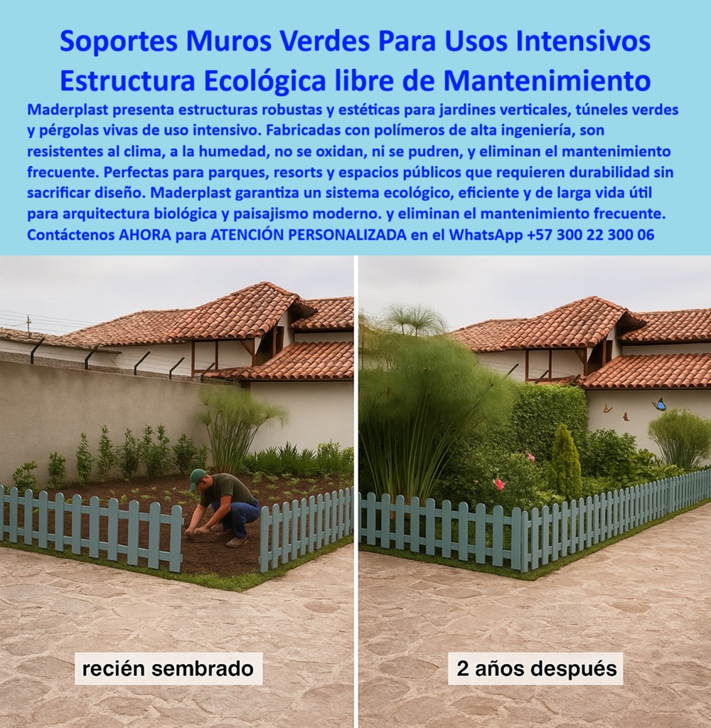 Estructuras Verdes Soporte Jardines Verticales Cercas Decorativas Durables Maderplast SOPORTES VERDES QUE TRANSFORMAN ESPACIOS CON JARDINES VERTICALES, MUROS VIVOS Y CERCAS DECORATIVAS DURABLES SIN MANTENIMIENTO, - En la imagen se aprecia la transformación tangible del paisaje: un jardín recién sembrado y, dos años después, un muro verde exuberante que crece vigorosamente contenido por una cerca decorativa de plástico resistente al clima, con apariencia estética impecable y color totalmente conservado. Este resultado no es casualidad, es ingeniería aplicada: un sistema de estructuras verdes soporte para jardines verticales y vegetación intensiva, desarrollado por Maderplast para durar décadas sin necesidad de pintura, ni mantenimiento, ni reposiciones, - Esta estructura ecológica libre de mantenimiento ha sido creada para responder a las más altas exigencias del paisajismo urbano moderno, donde la estética, la sostenibilidad y la eficiencia deben coexistir. Fabricada con polímeros reciclados de alta ingeniería, esta celosía decorativa resistente al vandalismo exterior no se oxida, no se astilla, no pierde color y es inmune a la humedad. Es el tipo de panel para muros verdes sin pintura que todo arquitecto paisajista busca para eliminar costos de repintado y problemas por deterioro, - ¿Cuál es la mejor cerca para muros verdes? La respuesta es simple: una estructura robusta sin óxido ni mantenimiento, como la que se presenta aquí. No solo soporta el peso de la vegetación, también lo hace con elegancia, aportando carácter visual a cualquier espacio verde. Es ideal para espacios públicos, resorts, parques urbanos y proyectos institucionales que requieren estructuras robustas para zonas públicas verdes con vegetación natural, - ¿Dónde compro una cerca ecológica sin pintura? Maderplast la fábrica. Este panel reciclado que no se astilla ni se pudre es completamente sostenible, fabricado sin tóxicos, sin necesidad de retoques, y con un acabado fino que se mantiene intacto con el paso del tiempo. Lo que ves en la foto no fue repintado: así luce la cerca después de dos años de exposición al sol, la lluvia y el riego constante, - ¿Qué estructura funciona en jardines intensivos? Sin duda, una celosía flexible con color integral duradero, capaz de adaptarse al crecimiento de las plantas sin deformarse, agrietarse ni perder su funcionalidad. Este soporte plástico para vegetación intensiva es ideal para delimitar espacios ecológicos con un diseño visual impactante y práctico, - ¿Qué reja decorativa no se decolora? Este tipo de rejas decorativas sin decoloración exterior se fabrica con color integral, no pintado ni adherido, lo que garantiza que mantendrán su tono original aún en condiciones extremas. No se degradan con rayos UV, no se manchan ni se pelan, - ¿Existe una cerca sin mantenimiento exterior? Claro. Este sistema es un cercado antióxido que conserva su color, incluso con vegetación adherida, agua permanente y cambios de temperatura. Su rendimiento elimina por completo los gastos de mantenimiento frecuente, - ¿Cuál es la mejor cerca para espacios públicos? Una estructura ecológica fuerte con diseño fino como esta. No sacrifica estética por funcionalidad, y es la razón por la cual múltiples entidades públicas, jardines institucionales y hoteles la han elegido para sus proyectos, - ¿Qué cerca sirve para proyectos biológicos? La opción ideal es una valla sin óxido con estética integrada, capaz de soportar el crecimiento natural de plantas sin contaminar el suelo, sin liberar partículas tóxicas, y sin colapsar ante el uso intensivo, - ¿Hay celosías que soporten vandalismo? Estas rejas resistentes con alta durabilidad exterior han sido probadas en espacios urbanos de alto tráfico y han superado pruebas de impacto, graffiti y exposición constante al medio ambiente sin perder su integridad, - ¿Qué módulo delimita espacios verdes decorativos? Un módulo ecológico perimetral para proyectos de arquitectura viva como este, que combina el valor visual con la resistencia técnica. Es un panel para zonas con alta humedad que sigue firme y funcional con el paso de los años, - ¿Cuál es la cerca más duradera para exteriores? La que está hecha en estructura urbana antidecoloración para plantas, sin químicos, sin mantenimiento, con resistencia garantizada por la ingeniería de materiales reciclados de Maderplast, - Estas cercas tipo celosía decorativa son más que un simple delimitador. Son paneles flexibles con acabados finos, pensados para proyectos de paisajismo biológico de larga duración, capaces de soportar jardines verticales vivos, pérgolas ecológicas y muros vegetales. Son la combinación perfecta de forma y función, ideales para quienes buscan un soporte duradero para pérgolas vivas o delimitadores resistentes para jardinería vertical que mantengan el equilibrio entre lo natural y lo estructural, - Maderplast entrega soluciones completas que hacen del paisajismo moderno sostenible una realidad. Cada pieza ha sido diseñada para resistir, embellecer y proteger, siendo un componente esencial en los sistemas ecológicos para la arquitectura viva moderna. Y con su ligereza y facilidad de instalación, estas estructuras se adaptan a todo tipo de terreno sin complicaciones ni maquinaria pesada, - Este producto, con su estructura modular para jardín vertical resistente, representa la mejor elección para proyectos que desean crecer con vida, color y sin límites. Su diseño ha sido pensado para durar, destacar y sostener con firmeza la vegetación más exigente, - Solicite ahora su ASESORÍA PERSONALIZADA con un especialista de Maderplast escribiendo al WhatsApp +57 300 22 300 06. Descubra por qué nuestras cercas no solo delimitan espacios, sino que los transforman en ecosistemas vivos, sostenibles y admirables. 0 Celosías decorativas resistentes vandalismo exterior, - Paneles flexibles acabados finos, - Rejas forja artística no decoloran color integral Estructuras Verdes Soporte Jardines Verticales Cercas Decorativas Durables Maderplast 0 Celosías decorativas resistentes vandalismo exterior Paneles flexibles acabados finos Rejas forja artística no decoloran color integral 0 SOPORTES VERDES QUE TRANSFORMAN ESPACIOS CON JARDINES VERTICALES, MUROS VIVOS Y CERCAS DECORATIVAS DURABLES SIN MANTENIMIENTO, - En la imagen se aprecia la transformación tangible del paisaje: un jardín recién sembrado y, dos años después, un muro verde exuberante que crece vigorosamente contenido por una cerca decorativa de plástico resistente al clima, con apariencia estética impecable y color totalmente conservado. Este resultado no es casualidad, es ingeniería aplicada: un sistema de estructuras verdes soporte para jardines verticales y vegetación intensiva, desarrollado por Maderplast para durar décadas sin necesidad de pintura, ni mantenimiento, ni reposiciones, - Esta estructura ecológica libre de mantenimiento ha sido creada para responder a las más altas exigencias del paisajismo urbano moderno, donde la estética, la sostenibilidad y la eficiencia deben coexistir. Fabricada con polímeros reciclados de alta ingeniería, esta celosía decorativa resistente al vandalismo exterior no se oxida, no se astilla, no pierde color y es inmune a la humedad. Es el tipo de panel para muros verdes sin pintura que todo arquitecto paisajista busca para eliminar costos de repintado y problemas por deterioro, - ¿Cuál es la mejor cerca para muros verdes? La respuesta es simple: una estructura robusta sin óxido ni mantenimiento, como la que se presenta aquí. No solo soporta el peso de la vegetación, también lo hace con elegancia, aportando carácter visual a cualquier espacio verde. Es ideal para espacios públicos, resorts, parques urbanos y proyectos institucionales que requieren estructuras robustas para zonas públicas verdes con vegetación natural, - ¿Dónde compro una cerca ecológica sin pintura? Maderplast la fábrica. Este panel reciclado que no se astilla ni se pudre es completamente sostenible, fabricado sin tóxicos, sin necesidad de retoques, y con un acabado fino que se mantiene intacto con el paso del tiempo. Lo que ves en la foto no fue repintado: así luce la cerca después de dos años de exposición al sol, la lluvia y el riego constante, - ¿Qué estructura funciona en jardines intensivos? Sin duda, una celosía flexible con color integral duradero, capaz de adaptarse al crecimiento de las plantas sin deformarse, agrietarse ni perder su funcionalidad. Este soporte plástico para vegetación intensiva es ideal para delimitar espacios ecológicos con un diseño visual impactante y práctico, - ¿Qué reja decorativa no se decolora? Este tipo de rejas decorativas sin decoloración exterior se fabrica con color integral, no pintado ni adherido, lo que garantiza que mantendrán su tono original aún en condiciones extremas. No se degradan con rayos UV, no se manchan ni se pelan, - ¿Existe una cerca sin mantenimiento exterior? Claro. Este sistema es un cercado antióxido que conserva su color, incluso con vegetación adherida, agua permanente y cambios de temperatura. Su rendimiento elimina por completo los gastos de mantenimiento frecuente, - ¿Cuál es la mejor cerca para espacios públicos? Una estructura ecológica fuerte con diseño fino como esta. No sacrifica estética por funcionalidad, y es la razón por la cual múltiples entidades públicas, jardines institucionales y hoteles la han elegido para sus proyectos, - ¿Qué cerca sirve para proyectos biológicos? La opción ideal es una valla sin óxido con estética integrada, capaz de soportar el crecimiento natural de plantas sin contaminar el suelo, sin liberar partículas tóxicas, y sin colapsar ante el uso intensivo, - ¿Hay celosías que soporten vandalismo? Estas rejas resistentes con alta durabilidad exterior han sido probadas en espacios urbanos de alto tráfico y han superado pruebas de impacto, graffiti y exposición constante al medio ambiente sin perder su integridad, - ¿Qué módulo delimita espacios verdes decorativos? Un módulo ecológico perimetral para proyectos de arquitectura viva como este, que combina el valor visual con la resistencia técnica. Es un panel para zonas con alta humedad que sigue firme y funcional con el paso de los años, - ¿Cuál es la cerca más duradera para exteriores? La que está hecha en estructura urbana antidecoloración para plantas, sin químicos, sin mantenimiento, con resistencia garantizada por la ingeniería de materiales reciclados de Maderplast, - Estas cercas tipo celosía decorativa son más que un simple delimitador. Son paneles flexibles con acabados finos, pensados para proyectos de paisajismo biológico de larga duración, capaces de soportar jardines verticales vivos, pérgolas ecológicas y muros vegetales. Son la combinación perfecta de forma y función, ideales para quienes buscan un soporte duradero para pérgolas vivas o delimitadores resistentes para jardinería vertical que mantengan el equilibrio entre lo natural y lo estructural, - Maderplast entrega soluciones completas que hacen del paisajismo moderno sostenible una realidad. Cada pieza ha sido diseñada para resistir, embellecer y proteger, siendo un componente esencial en los sistemas ecológicos para la arquitectura viva moderna. Y con su ligereza y facilidad de instalación, estas estructuras se adaptan a todo tipo de terreno sin complicaciones ni maquinaria pesada, - Este producto, con su estructura modular para jardín vertical resistente, representa la mejor elección para proyectos que desean crecer con vida, color y sin límites. Su diseño ha sido pensado para durar, destacar y sostener con firmeza la vegetación más exigente, - Solicite ahora su ASESORÍA PERSONALIZADA con un especialista de Maderplast escribiendo al WhatsApp +57 300 22 300 06. Descubra por qué nuestras cercas no solo delimitan espacios, sino que los transforman en ecosistemas vivos, sostenibles y admirables. Estructuras Verdes Soporte Jardines Verticales Cercas Decorativas Durables Maderplast 0 Celosías decorativas resistentes vandalismo exterior, - Paneles flexibles acabados finos, - Rejas forja artística no decoloran color integral