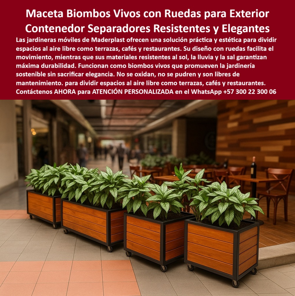 Jardineras Móviles Separadoras De Ambientes Biombos Vivos Macetas Maderplast Las macetas móviles para exteriores con ruedas de Maderplast representan la evolución funcional del mobiliario ecológico con plantas vivas, fusionando elegancia, movilidad y sostenibilidad. En la imagen vemos cómo estas jardineras se convierten en auténticos biombos verdes para restaurantes al aire libre, delimitando ambientes sin alterar el espacio, sin obras civiles y sin sacrificar la estética. Su diseño robusto y versátil las convierte en contenedores separadores con plantas ideales para cafés exteriores, terrazas comerciales y zonas urbanas de alto tráfico, cumpliendo una doble función: decoración natural y división práctica de ambientes. - A diferencia de los separadores tradicionales, estas jardineras con ruedas para terrazas están fabricadas con materiales resistentes a la sal, la lluvia, el sol y la humedad. Gracias a su estructura en plástico reciclado de alta ingeniería y refuerzos metálicos anticorrosión, son completamente inmunes al deterioro ambiental. No se oxidan, no se pudren, no requieren pintura ni mantenimiento y conservan su color y forma por más de 20 años. Son biombos vegetales portátiles sin mantenimiento y con la firmeza que exige el mobiliario de diseño natural resistente, ideal para climas extremos y cambios constantes de ubicación. - ¿Te preguntas qué macetas sirven como separadores móviles? Las jardineras Maderplast no solo son prácticas, sino que además permiten transformar cualquier espacio en un ambiente acogedor, moderno y sustentable. ¿Quieres dividir zonas exteriores con plantas sin perder la estética? Este sistema modular con ruedas te ofrece la respuesta perfecta: se adapta a cualquier lugar, se instala sin herramientas y se desplaza con facilidad. Es la solución soñada para quienes buscan delimitadores de espacios sostenibles sin recurrir a instalaciones fijas ni intervenciones costosas. - En cafeterías, terrazas o corredores de centros comerciales, estos biombos vivos para restaurantes permiten crear zonas privadas con jardinería urbana inteligente, haciendo de cada rincón una experiencia biofílica para el visitante. Los maceteros resistentes a la sal y el sol no se deforman ni se decoloran, y su presencia transmite orden, frescura y una clara preocupación por el diseño responsable. Además, el sistema es escalable: puedes añadir más unidades, reorganizarse o trasladarlas según las necesidades del negocio o del flujo de clientes. - Para quienes buscan implementar jardinería sustentable sin químicos, estas jardineras son una inversión a largo plazo que mejora la experiencia de uso del espacio público o comercial. Son ideales como macetas modulares para separar ambientes sin generar residuos ni huella ecológica negativa. Y lo más importante, su presencia añade valor estético inmediato sin incurrir en mantenimiento continuo. - No se trata solo de jardinería, se trata de impacto visual, gestión inteligente del espacio y sostenibilidad real. Si deseas un ambiente acogedor, ordenado y moderno en exteriores comerciales, las jardineras móviles Maderplast con ruedas son la solución que estás buscando. - Transforma tu terraza, restaurante, plaza o zona común en un espacio funcional con estilo verde. Solicita atención personalizada con un especialista de Maderplast ahora mismo al WhatsApp +57 300 22 300 06 y recibe asesoría para llevar tu proyecto al siguiente nivel. 0 Delimitaciones ecológicas móviles a prueba de sal, - Delimitaciones ecológicas móviles, - Biombos vivos para restaurantes, - Jardinería sustentable 00 Jardineras Móviles Separadoras De Ambientes Biombos Vivos Macetas Maderplast 0 Delimitaciones ecológicas móviles a prueba de sal Delimitaciones ecológicas móviles Biombos vivos para restaurantes Jardinería sustentable 00 Las macetas móviles para exteriores con ruedas de Maderplast representan la evolución funcional del mobiliario ecológico con plantas vivas, fusionando elegancia, movilidad y sostenibilidad. En la imagen vemos cómo estas jardineras se convierten en auténticos biombos verdes para restaurantes al aire libre, delimitando ambientes sin alterar el espacio, sin obras civiles y sin sacrificar la estética. Su diseño robusto y versátil las convierte en contenedores separadores con plantas ideales para cafés exteriores, terrazas comerciales y zonas urbanas de alto tráfico, cumpliendo una doble función: decoración natural y división práctica de ambientes. - A diferencia de los separadores tradicionales, estas jardineras con ruedas para terrazas están fabricadas con materiales resistentes a la sal, la lluvia, el sol y la humedad. Gracias a su estructura en plástico reciclado de alta ingeniería y refuerzos metálicos anticorrosión, son completamente inmunes al deterioro ambiental. No se oxidan, no se pudren, no requieren pintura ni mantenimiento y conservan su color y forma por más de 20 años. Son biombos vegetales portátiles sin mantenimiento y con la firmeza que exige el mobiliario de diseño natural resistente, ideal para climas extremos y cambios constantes de ubicación. - ¿Te preguntas qué macetas sirven como separadores móviles? Las jardineras Maderplast no solo son prácticas, sino que además permiten transformar cualquier espacio en un ambiente acogedor, moderno y sustentable. ¿Quieres dividir zonas exteriores con plantas sin perder la estética? Este sistema modular con ruedas te ofrece la respuesta perfecta: se adapta a cualquier lugar, se instala sin herramientas y se desplaza con facilidad. Es la solución soñada para quienes buscan delimitadores de espacios sostenibles sin recurrir a instalaciones fijas ni intervenciones costosas. - En cafeterías, terrazas o corredores de centros comerciales, estos biombos vivos para restaurantes permiten crear zonas privadas con jardinería urbana inteligente, haciendo de cada rincón una experiencia biofílica para el visitante. Los maceteros resistentes a la sal y el sol no se deforman ni se decoloran, y su presencia transmite orden, frescura y una clara preocupación por el diseño responsable. Además, el sistema es escalable: puedes añadir más unidades, reorganizarse o trasladarlas según las necesidades del negocio o del flujo de clientes. - Para quienes buscan implementar jardinería sustentable sin químicos, estas jardineras son una inversión a largo plazo que mejora la experiencia de uso del espacio público o comercial. Son ideales como macetas modulares para separar ambientes sin generar residuos ni huella ecológica negativa. Y lo más importante, su presencia añade valor estético inmediato sin incurrir en mantenimiento continuo. - No se trata solo de jardinería, se trata de impacto visual, gestión inteligente del espacio y sostenibilidad real. Si deseas un ambiente acogedor, ordenado y moderno en exteriores comerciales, las jardineras móviles Maderplast con ruedas son la solución que estás buscando. - Transforma tu terraza, restaurante, plaza o zona común en un espacio funcional con estilo verde. Solicita atención personalizada con un especialista de Maderplast ahora mismo al WhatsApp +57 300 22 300 06 y recibe asesoría para llevar tu proyecto al siguiente nivel. Jardineras Móviles Separadoras De Ambientes Biombos Vivos Macetas Maderplast 0 Delimitaciones ecológicas móviles a prueba de sal, - Delimitaciones ecológicas móviles, - Biombos vivos para restaurantes, - Jardinería sustentable 00