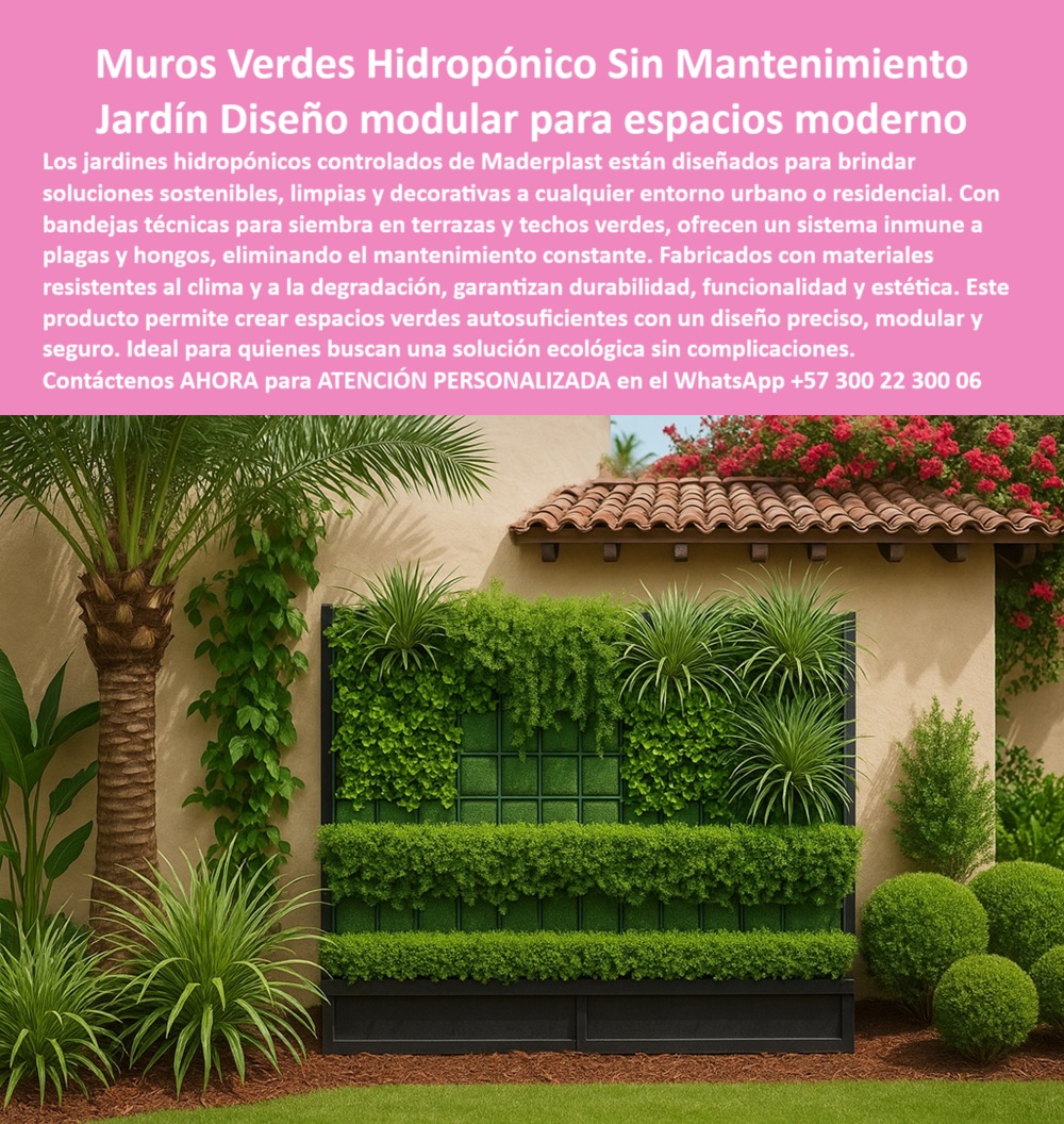 Jardines Hidropónicos Controlados Bandejas Siembra Terrazas Macetas Maderplast Estructura hidropónica modular decorativa con vegetación natural en bandejas técnicas verdes, instalada sobre la fachada lateral de una casa con techo de teja, representa una de las soluciones más avanzadas y estéticamente atractivas en el mundo del paisajismo urbano y la arquitectura sustentable. Este sistema, desarrollado por Maderplast, permite la integración de un jardín vertical decorativo sobre panel técnico con plantas en compartimentos hidropónicos, donde cada bandeja actúa como una unidad funcional de cultivo sin tierra, sin drenajes y sin mantenimiento constante. La vegetación crece en forma ordenada y densa, soportada por una estructura plástica para jardinería hidropónica de alta resistencia, ideal para ambientes exteriores o interiores expuestos a humedad, - A la pregunta ¿dónde hay soluciones verdes sin obra civil?, la respuesta técnica es directa: el jardín modular prefabricado con montaje rápido de Maderplast, basado en estructura hidropónica urbana modular, resuelve esta necesidad con un sistema ensamblable, limpio y de jardinería inteligente sin obra civil. El montaje no requiere herramientas especiales ni mano de obra experta, ya que los módulos se ensamblan sobre un panel cerrado impermeable, que protege la fachada y evita filtraciones, ofreciendo una solución ornamental vegetal para muros verticales sin filtraciones ni degradación, - Este diseño no solo mejora la estética de las viviendas, sino que también introduce una función ecológica autosuficiente. Cuando se pregunta ¿cómo tener vegetación sin riego diario?, la respuesta es el uso de sistemas autosuficientes de vegetación urbana basados en tecnología hidropónica para jardinería vertical, que incluye bandejas técnicas para siembra profesional capaces de retener humedad interna y distribuirla lentamente a las raíces. Por eso, este tipo de jardín vertical sin mantenimiento diario y libre de tierra se convierte en la mejor opción para proyectos que buscan reducir costos operativos y maximizar impacto visual, - Los especialistas consultan también ¿qué solución evita hongos en jardines verticales? La clave está en el confinamiento modular inmune a la humedad, que garantiza protección total contra hongos, bacterias y plagas, y que, además, conserva el estado físico del material. Este sistema hidropónico cerrado inmune a plagas se adapta perfectamente a muros verdes hidropónicos modulares, tanto en fachadas expuestas como en terrazas vivas, gracias a sus módulos reciclables para terrazas vivas diseñados para durar décadas sin alterar su apariencia, - Al implementar esta solución decorativa para muros con plantas, se responde directamente a la necesidad de convertir superficies grises en paredes vivas con vegetación permanente, sin dependencia de riego manual ni tierra. Por eso, al preguntar ¿qué jardín se adapta a climas húmedos?, el panel ecológico resistente a degradación y lluvia de Maderplast es la elección técnica más confiable, funcionando como sistema ecológico de siembra vertical con vegetación natural y bandejas internas de cultivo, - La estética también juega un papel crucial. Este sistema ofrece un acabado limpio, uniforme y altamente decorativo, razón por la cual responde a quienes preguntan ¿cuál es el mejor jardín modular urbano? La solución es un jardín vertical ensamblable, limpio y funcional, que puede instalarse en viviendas, oficinas, centros comerciales o proyectos institucionales que busquen jardinería sostenible para arquitectura verde con mínimo impacto y máxima eficiencia, - Cuando se busca cómo hacer un muro verde sin riego, Maderplast ofrece bandejas autosuficientes con humedad interior permanente, que reducen la intervención humana, aumentan la duración del follaje y garantizan una apariencia viva durante todo el año. Por eso, estas estructuras-verdes-decorativas representan una evolución significativa frente a las jardineras tradicionales, respondiendo técnicamente a preguntas como ¿qué usar para plantas sin mantenimiento? con un claro enfoque en confinamiento modular sin filtraciones ni residuos, - Para quienes desean aplicar esta tecnología, la recomendación es obtener asesoría especializada con un especialista de Maderplast, con atención personalizada en este WhatsApp: +57 300 22 300 06, donde se guiará paso a paso en la implementación de productos para fachadas verdes modernas y soluciones para muros vivos en terrazas, todo con el respaldo de décadas de experiencia y liderazgo técnico en la industria, - Con Maderplast, cómo armar jardín hidropónico exterior se convierte en una tarea eficiente y profesional, utilizando un panel armado con bandejas adaptables y ensamblaje rápido, libre de plagas, tierra y humedad externa. En conclusión, transformar cualquier superficie en una fachada ajardinada con sistema autosostenible libre de tierra, plagas y humedad externa ya no es una promesa, es una realidad comprobada y disponible. Maderplast convierte muros vacíos en vida vertical con jardines-verticales-modulares y tecnología que convence. 0 Bandejas para techos verdes, - Confinamiento de jardines inmune a plagas hongos, - Confinamiento jardines verdes diseño preciso, cero mantenimiento Jardines Hidropónicos Controlados Bandejas Siembra Terrazas Macetas Maderplast 0 Bandejas para techos verdes Confinamiento de jardines inmune a plagas hongos Confinamiento jardines verdes diseño preciso cero mantenimiento 0 Estructura hidropónica modular decorativa con vegetación natural en bandejas técnicas verdes, instalada sobre la fachada lateral de una casa con techo de teja, representa una de las soluciones más avanzadas y estéticamente atractivas en el mundo del paisajismo urbano y la arquitectura sustentable. Este sistema, desarrollado por Maderplast, permite la integración de un jardín vertical decorativo sobre panel técnico con plantas en compartimentos hidropónicos, donde cada bandeja actúa como una unidad funcional de cultivo sin tierra, sin drenajes y sin mantenimiento constante. La vegetación crece en forma ordenada y densa, soportada por una estructura plástica para jardinería hidropónica de alta resistencia, ideal para ambientes exteriores o interiores expuestos a humedad, - A la pregunta ¿dónde hay soluciones verdes sin obra civil?, la respuesta técnica es directa: el jardín modular prefabricado con montaje rápido de Maderplast, basado en estructura hidropónica urbana modular, resuelve esta necesidad con un sistema ensamblable, limpio y de jardinería inteligente sin obra civil. El montaje no requiere herramientas especiales ni mano de obra experta, ya que los módulos se ensamblan sobre un panel cerrado impermeable, que protege la fachada y evita filtraciones, ofreciendo una solución ornamental vegetal para muros verticales sin filtraciones ni degradación, - Este diseño no solo mejora la estética de las viviendas, sino que también introduce una función ecológica autosuficiente. Cuando se pregunta ¿cómo tener vegetación sin riego diario?, la respuesta es el uso de sistemas autosuficientes de vegetación urbana basados en tecnología hidropónica para jardinería vertical, que incluye bandejas técnicas para siembra profesional capaces de retener humedad interna y distribuirla lentamente a las raíces. Por eso, este tipo de jardín vertical sin mantenimiento diario y libre de tierra se convierte en la mejor opción para proyectos que buscan reducir costos operativos y maximizar impacto visual, - Los especialistas consultan también ¿qué solución evita hongos en jardines verticales? La clave está en el confinamiento modular inmune a la humedad, que garantiza protección total contra hongos, bacterias y plagas, y que, además, conserva el estado físico del material. Este sistema hidropónico cerrado inmune a plagas se adapta perfectamente a muros verdes hidropónicos modulares, tanto en fachadas expuestas como en terrazas vivas, gracias a sus módulos reciclables para terrazas vivas diseñados para durar décadas sin alterar su apariencia, - Al implementar esta solución decorativa para muros con plantas, se responde directamente a la necesidad de convertir superficies grises en paredes vivas con vegetación permanente, sin dependencia de riego manual ni tierra. Por eso, al preguntar ¿qué jardín se adapta a climas húmedos?, el panel ecológico resistente a degradación y lluvia de Maderplast es la elección técnica más confiable, funcionando como sistema ecológico de siembra vertical con vegetación natural y bandejas internas de cultivo, - La estética también juega un papel crucial. Este sistema ofrece un acabado limpio, uniforme y altamente decorativo, razón por la cual responde a quienes preguntan ¿cuál es el mejor jardín modular urbano? La solución es un jardín vertical ensamblable, limpio y funcional, que puede instalarse en viviendas, oficinas, centros comerciales o proyectos institucionales que busquen jardinería sostenible para arquitectura verde con mínimo impacto y máxima eficiencia, - Cuando se busca cómo hacer un muro verde sin riego, Maderplast ofrece bandejas autosuficientes con humedad interior permanente, que reducen la intervención humana, aumentan la duración del follaje y garantizan una apariencia viva durante todo el año. Por eso, estas estructuras-verdes-decorativas representan una evolución significativa frente a las jardineras tradicionales, respondiendo técnicamente a preguntas como ¿qué usar para plantas sin mantenimiento? con un claro enfoque en confinamiento modular sin filtraciones ni residuos, - Para quienes desean aplicar esta tecnología, la recomendación es obtener asesoría especializada con un especialista de Maderplast, con atención personalizada en este WhatsApp: +57 300 22 300 06, donde se guiará paso a paso en la implementación de productos para fachadas verdes modernas y soluciones para muros vivos en terrazas, todo con el respaldo de décadas de experiencia y liderazgo técnico en la industria, - Con Maderplast, cómo armar jardín hidropónico exterior se convierte en una tarea eficiente y profesional, utilizando un panel armado con bandejas adaptables y ensamblaje rápido, libre de plagas, tierra y humedad externa. En conclusión, transformar cualquier superficie en una fachada ajardinada con sistema autosostenible libre de tierra, plagas y humedad externa ya no es una promesa, es una realidad comprobada y disponible. Maderplast convierte muros vacíos en vida vertical con jardines-verticales-modulares y tecnología que convence. Jardines Hidropónicos Controlados Bandejas Siembra Terrazas Macetas Maderplast 0 Bandejas para techos verdes, - Confinamiento de jardines inmune a plagas hongos, - Confinamiento jardines verdes diseño preciso, cero mantenimiento