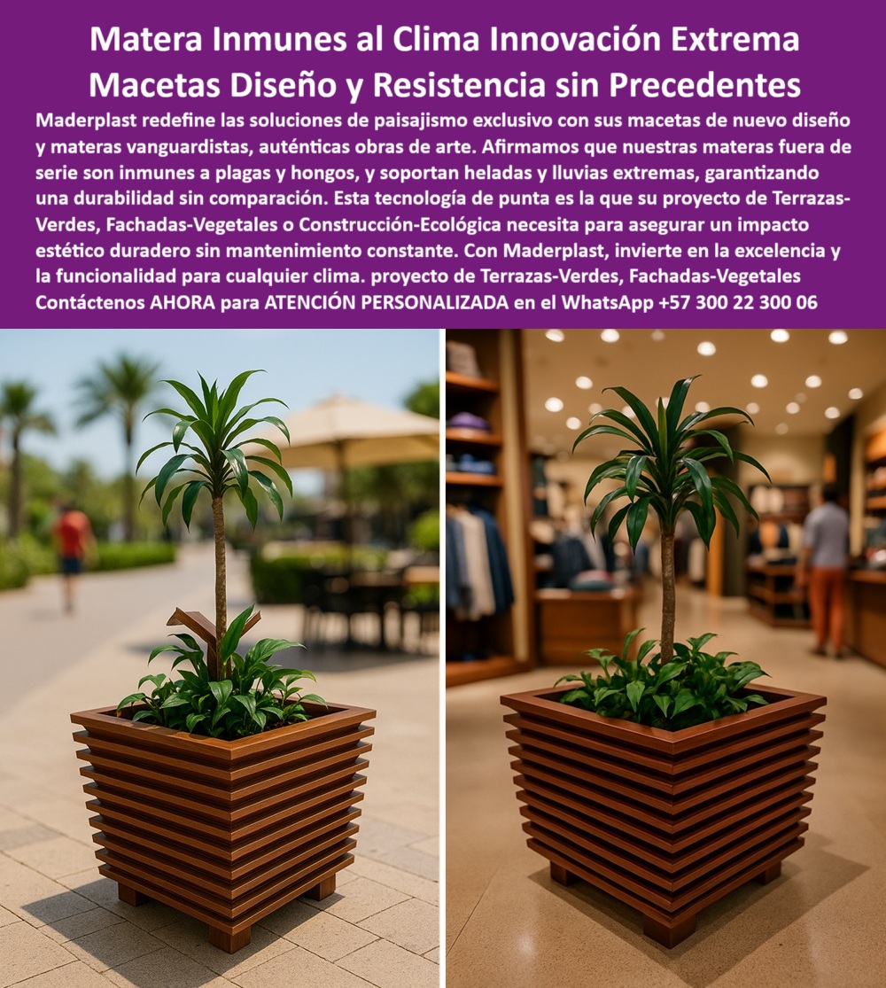 Macetas nuevos diseños Materas Vanguardistas Diseño Exclusivo Obras Arte Maderplast Maceta decorativa de plástico técnico con diseño arquitectónico para oficinas y terrazas, esa es la imagen que abre esta propuesta de alto nivel técnico, estético y comercial. La fotografía muestra una matera escultural marrón, resistente al clima, sin óxido ni mantenimiento constante, posicionada en dos contextos opuestos pero igualmente exigentes: un espacio comercial interior con tráfico de clientes y una avenida peatonal bajo sol tropical intenso. En ambas condiciones, la maceta de alta durabilidad, estilo moderno, con líneas horizontales decorativas permanece impecable, elegante y sin señales de desgaste. Su cuerpo cuadrado con diseño escalonado y acabado tipo madera se integra con sobriedad en cualquier proyecto de paisajismo profesional, - Esta no es una materia-resistente-clima-extremo más, es una solución estructural, vanguardista y sostenible, diseñada por Maderplast para revolucionar el paisajismo moderno. Su material plástico técnico, fabricado bajo normas de ingeniería avanzada, permite que estas materas vanguardistas para terrazas verdes sean utilizadas en entornos urbanos, rurales, costeros o de montaña sin necesidad de repintes, sellos ni barnices, - Cuando un arquitecto o diseñador de espacios se pregunta: ¿Cuál es la mejor matera para centros comerciales?, la respuesta no puede ser otra que esta jardinera escultural de diseño exclusivo, creada para resistir rayos UV, humedad permanente, heladas intensas, lluvias tropicales y todo tipo de condiciones climáticas sin comprometer su forma, color o integridad. Su durabilidad extrema supera incluso a las macetas metálicas, cerámicas o de concreto, porque no se oxida, no se astilla, no se pudre y no presenta riesgo de fractura por choque térmico, - El secreto de estas macetas modernas resistentes al clima está en su diseño funcional, pensado para resolver los mayores desafíos del paisajismo urbano: el mantenimiento constante, el deterioro acelerado y la necesidad de sustituciones. Estas macetas funcionales con estética profesional no solo eliminan esos problemas, sino que lo hacen con un diseño de alto impacto visual, que eleva la categoría de cualquier espacio donde se instalan, - ¿Materas para proyectos sin mantenimiento constante? Aquí tienes la solución. Este producto permite a las constructoras, hoteleros, diseñadores y responsables de centros comerciales instalar jardineras de alto impacto, sin preocuparse por deterioro, reemplazos o corrosión, - Ahora bien, ¿dónde comprar macetas resistentes sin pintura? La respuesta es clara: en Maderplast. Aquí encuentras una materia plástica estructural sin corrosión, de instalación inmediata, sin necesidad de obra civil ni soporte especial. La estética tipo madera de estas jardineras permite que encajen con cualquier estilo arquitectónico, desde el minimalismo contemporáneo hasta las fachadas tradicionales de centros turísticos o zonas patrimoniales, - Además, su estructura con patas integradas mejora el drenaje, evita el encharcamiento y proporciona una solución real a quienes buscan maceteros decorativos para terrazas comerciales, materas sin óxido ni pintura para oficinas, y jardineras decorativas para zonas comerciales, - ¿Macetero para fachadas vivas sin hongos? Este es el indicado. Su composición inmune a plagas, moho y hongos lo convierte en una opción confiable para proyectos que buscan integrar naturaleza con arquitectura, sin riesgos biológicos ni necesidades de fumigación, - Los maceteros sin astillamientos para espacios urbanos como este son una inversión inteligente. No solo mejoran la imagen del entorno, también reducen costos operativos. No hay repintado, no hay mantenimiento, no hay reposiciones. Y eso convierte a estas macetas técnicas con estilo moderno duradero en una inversión de valor permanente, - ¿Qué tipo de maceta es inmune al clima? Las que están fabricadas en plásticos técnicos avanzados, como las de Maderplast. Estas materas técnicas sin hongos ni plagas permiten a paisajistas, promotores de construcción y administradores de espacios comerciales despreocuparse del deterioro, mientras obtienen una solución visualmente impactante y funcional, - Si tu proyecto necesita materas duraderas para fachadas naturales, para centros comerciales, para parques premium o para terrazas de exposición solar directa, aquí tienes la respuesta. Maderplast ha desarrollado un macetero de gran formato con estética de listones, funcional y decorativo, que no solo se ve bien, sino que se comporta como lo exige la arquitectura moderna, - ¿Jardinera que no se oxida ni se astilla? Este producto no se oxida, no se astilla, no pierde color ni forma, no se calienta como el metal y no representa riesgo para el usuario. Es por eso que las materas escultóricas de gran resistencia de Maderplast están siendo adoptadas en jardineras modernas para interiores sin mantenimiento, macetas duraderas para proyectos de lujo, y en macetas grandes estilo arquitectónico urbano, - Y si te preguntas, finalmente, ¿dónde venden jardineras que no se oxidan? Estás en el lugar correcto. Maderplast no solo las fabrica, sino que brinda asesoría personalizada en cada proyecto para asegurar que cada espacio reciba la matera escultural de gran durabilidad adecuada a sus condiciones, con impacto visual y garantía de funcionamiento, - Contáctanos ahora mismo al WhatsApp +57 300 22 300 06 y un especialista de Maderplast te guiará personalmente para que elijas la mejor solución técnica, ecológica y decorativa para tu proyecto de alto nivel. Con Maderplast, tu inversión dura más, brilla más y vale más. 0 Jardineras escultóricas duraderas no se oxidan, - Materas vanguardistas diseño único sin mantenimiento, - Asientos para clima extremo Macetas 0 Macetas nuevos diseños Materas Vanguardistas Diseño Exclusivo Obras Arte Maderplast 0 Jardineras escultóricas duraderas no se oxidan Materas vanguardistas diseño único sin mantenimiento Asientos para clima extremo Macetas 0 Maceta decorativa de plástico técnico con diseño arquitectónico para oficinas y terrazas, esa es la imagen que abre esta propuesta de alto nivel técnico, estético y comercial. La fotografía muestra una matera escultural marrón, resistente al clima, sin óxido ni mantenimiento constante, posicionada en dos contextos opuestos pero igualmente exigentes: un espacio comercial interior con tráfico de clientes y una avenida peatonal bajo sol tropical intenso. En ambas condiciones, la maceta de alta durabilidad, estilo moderno, con líneas horizontales decorativas permanece impecable, elegante y sin señales de desgaste. Su cuerpo cuadrado con diseño escalonado y acabado tipo madera se integra con sobriedad en cualquier proyecto de paisajismo profesional, - Esta no es una materia-resistente-clima-extremo más, es una solución estructural, vanguardista y sostenible, diseñada por Maderplast para revolucionar el paisajismo moderno. Su material plástico técnico, fabricado bajo normas de ingeniería avanzada, permite que estas materas vanguardistas para terrazas verdes sean utilizadas en entornos urbanos, rurales, costeros o de montaña sin necesidad de repintes, sellos ni barnices, - Cuando un arquitecto o diseñador de espacios se pregunta: ¿Cuál es la mejor matera para centros comerciales?, la respuesta no puede ser otra que esta jardinera escultural de diseño exclusivo, creada para resistir rayos UV, humedad permanente, heladas intensas, lluvias tropicales y todo tipo de condiciones climáticas sin comprometer su forma, color o integridad. Su durabilidad extrema supera incluso a las macetas metálicas, cerámicas o de concreto, porque no se oxida, no se astilla, no se pudre y no presenta riesgo de fractura por choque térmico, - El secreto de estas macetas modernas resistentes al clima está en su diseño funcional, pensado para resolver los mayores desafíos del paisajismo urbano: el mantenimiento constante, el deterioro acelerado y la necesidad de sustituciones. Estas macetas funcionales con estética profesional no solo eliminan esos problemas, sino que lo hacen con un diseño de alto impacto visual, que eleva la categoría de cualquier espacio donde se instalan, - ¿Materas para proyectos sin mantenimiento constante? Aquí tienes la solución. Este producto permite a las constructoras, hoteleros, diseñadores y responsables de centros comerciales instalar jardineras de alto impacto, sin preocuparse por deterioro, reemplazos o corrosión, - Ahora bien, ¿dónde comprar macetas resistentes sin pintura? La respuesta es clara: en Maderplast. Aquí encuentras una materia plástica estructural sin corrosión, de instalación inmediata, sin necesidad de obra civil ni soporte especial. La estética tipo madera de estas jardineras permite que encajen con cualquier estilo arquitectónico, desde el minimalismo contemporáneo hasta las fachadas tradicionales de centros turísticos o zonas patrimoniales, - Además, su estructura con patas integradas mejora el drenaje, evita el encharcamiento y proporciona una solución real a quienes buscan maceteros decorativos para terrazas comerciales, materas sin óxido ni pintura para oficinas, y jardineras decorativas para zonas comerciales, - ¿Macetero para fachadas vivas sin hongos? Este es el indicado. Su composición inmune a plagas, moho y hongos lo convierte en una opción confiable para proyectos que buscan integrar naturaleza con arquitectura, sin riesgos biológicos ni necesidades de fumigación, - Los maceteros sin astillamientos para espacios urbanos como este son una inversión inteligente. No solo mejoran la imagen del entorno, también reducen costos operativos. No hay repintado, no hay mantenimiento, no hay reposiciones. Y eso convierte a estas macetas técnicas con estilo moderno duradero en una inversión de valor permanente, - ¿Qué tipo de maceta es inmune al clima? Las que están fabricadas en plásticos técnicos avanzados, como las de Maderplast. Estas materas técnicas sin hongos ni plagas permiten a paisajistas, promotores de construcción y administradores de espacios comerciales despreocuparse del deterioro, mientras obtienen una solución visualmente impactante y funcional, - Si tu proyecto necesita materas duraderas para fachadas naturales, para centros comerciales, para parques premium o para terrazas de exposición solar directa, aquí tienes la respuesta. Maderplast ha desarrollado un macetero de gran formato con estética de listones, funcional y decorativo, que no solo se ve bien, sino que se comporta como lo exige la arquitectura moderna, - ¿Jardinera que no se oxida ni se astilla? Este producto no se oxida, no se astilla, no pierde color ni forma, no se calienta como el metal y no representa riesgo para el usuario. Es por eso que las materas escultóricas de gran resistencia de Maderplast están siendo adoptadas en jardineras modernas para interiores sin mantenimiento, macetas duraderas para proyectos de lujo, y en macetas grandes estilo arquitectónico urbano, - Y si te preguntas, finalmente, ¿dónde venden jardineras que no se oxidan? Estás en el lugar correcto. Maderplast no solo las fabrica, sino que brinda asesoría personalizada en cada proyecto para asegurar que cada espacio reciba la matera escultural de gran durabilidad adecuada a sus condiciones, con impacto visual y garantía de funcionamiento, - Contáctanos ahora mismo al WhatsApp +57 300 22 300 06 y un especialista de Maderplast te guiará personalmente para que elijas la mejor solución técnica, ecológica y decorativa para tu proyecto de alto nivel. Con Maderplast, tu inversión dura más, brilla más y vale más. Macetas nuevos diseños Materas Vanguardistas Diseño Exclusivo Obras Arte Maderplast 0 Jardineras escultóricas duraderas no se oxidan, - Materas vanguardistas diseño único sin mantenimiento, - Asientos para clima extremo Macetas 0