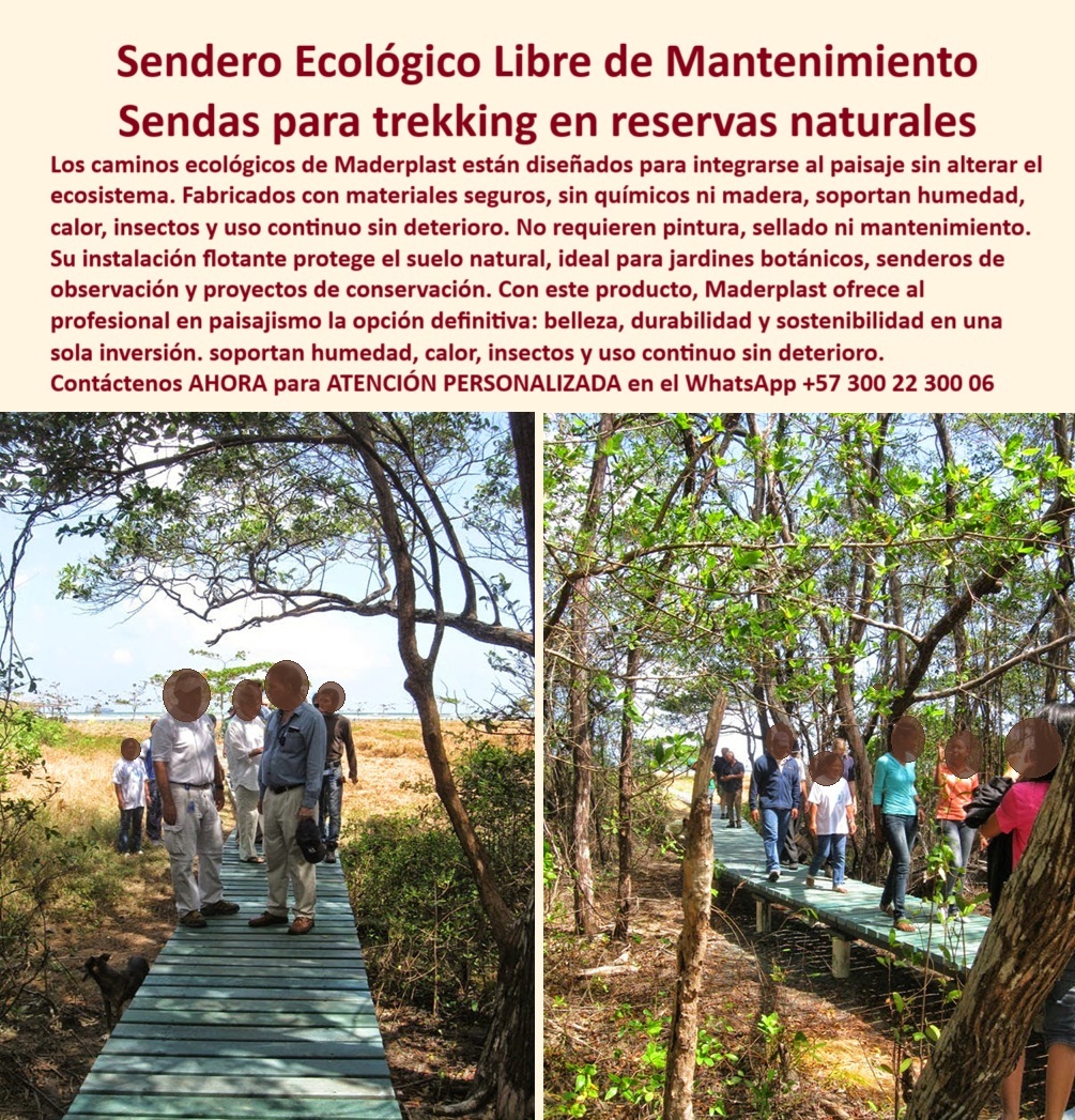 Senderos Ecológicos Placas Huella Trekking Senderos de Vanguardia Maderplast En medio del espesor del bosque seco tropical, una pasarela elevada de color verde serpentea entre árboles nativos y vegetación protegida. Un grupo de visitantes avanza cómodamente sobre el sendero ecológico flotante Maderplast, sin alterar el suelo, sin hundirse en el lodo, sin dejar huella alguna sobre el ecosistema. La escena no solo es visualmente armoniosa, es también un ejemplo perfecto de cómo la ingeniería moderna puede integrarse con la naturaleza de forma respetuosa, funcional y duradera, - Este tipo de estructuras no son simples caminos: son soluciones ambientales inteligentes, diseñadas para quienes entienden la necesidad urgente de proteger el medioambiente incluso al desarrollar senderos para el disfrute público. Los senderos ecológicos sin mantenimiento de Maderplast están fabricados en polímeros técnicos reciclados, sin químicos ni madera, lo que les permite resistir humedad, calor, rayos UV, insectos y tráfico constante sin deterioro. No se pudren, no se agrietan, no requieren pintura ni sellado. Esto los convierte en un verdadero hito en infraestructura para senderismo natural sin obras invasivas, - ¿Dónde comprar senderos ecológicos sin mantenimiento? En Maderplast. Nuestra línea especializada de placas de huella ecológica está diseñada para proyectos de conservación, turismo sostenible, restauración de hábitats, y trekking en reservas naturales. Su diseño modular y flotante permite instalar caminos seguros incluso sobre zonas húmedas, fangosas o de alta sensibilidad ambiental, sin necesidad de excavación ni maquinaria pesada. La instalación rápida protege la integridad del paisaje y reduce los costos operativos, - ¿Qué caminos sirven para reservas naturales? Aquellos que no interfieren con la biodiversidad, que no contaminan con pintura ni químicos y que pueden desmontarse o reubicarse sin dejar rastro. En ese sentido, las pasarelas técnicas Maderplast no solo cumplen con estas condiciones, las superan. Son estructuras caminables para manglares, selvas, humedales, parques botánicos, zonas de observación ambiental y proyectos de restauración ecológica, - ¿Existen pasarelas que no se pudran en humedad? Sí. Las nuestras. Hechas en plástico técnico de alta ingeniería, estas estructuras elevadas no absorben agua, no promueven hongos ni crían insectos. Esto las hace ideales para zonas con alta pluviosidad o exposición directa a fuentes naturales. Además, su diseño antideslizante y estable permite el paso seguro de niños, adultos mayores, grupos escolares o investigadores ambientales, - ¿Qué caminos se integran al paisaje sin alterarlo? Aquellos que desaparecen visualmente en el entorno. Las pasarelas flotantes para trekking de Maderplast están diseñadas en colores neutros y formas minimalistas que se fusionan con el ambiente. Son la opción predilecta para arquitectos paisajistas, biólogos conservacionistas y administradores de áreas naturales protegidas que necesitan crear accesos peatonales sin comprometer el entorno, - Desde la costa hasta el bosque húmedo, desde el jardín botánico hasta el sendero de montaña, estos caminos ofrecen una experiencia de caminabilidad segura, cómoda y ecológica. Cada paso sobre nuestras placas de huella para trekking es un paso firme hacia un turismo más responsable, una jardinería sustentable y una infraestructura verde de verdad, - ¿Qué tipo de caminos soportan calor, humedad e insectos? Solo los que han sido desarrollados con visión de futuro, como los nuestros. La tecnología de caminos ecológicos sin uso de madera y sin químicos de Maderplast representa un cambio de paradigma frente a los antiguos caminos de madera tratada o estructuras metálicas que oxidan, queman o se deterioran rápidamente, - ¿Dónde encuentro caminos que protejan el suelo natural? En proyectos bien pensados como los de Maderplast, donde cada módulo caminable está diseñado para flotar sobre el terreno sin compactar. Camino modular flotante en reserva natural, como se muestra en la imagen, es la prueba concreta de que la ingeniería y la sostenibilidad no solo pueden coexistir: deben hacerlo, - ¿Qué pasarelas usar en áreas sensibles? Las que no requieren obra pesada, ni anclajes al subsuelo, ni tratamientos posteriores. Las estructuras elevadas sostenibles para trekking que ofrecemos son lo que el futuro exige hoy: durabilidad con conciencia ambiental, - No se trata de vender senderos. Se trata de construir experiencias que educan, que inspiran, que transforman la relación entre infraestructura y entorno natural. Por eso, si estás diseñando un parque natural, un jardín botánico, una ruta ecológica o un sendero de observación ambiental, confía en una tecnología que no deja huella... en el suelo, pero sí en la memoria de quienes la caminan, - Contáctenos AHORA MISMO para una ASESORÍA PERSONALIZADA vía WhatsApp +57 300 22 300 06 y diseñemos juntos caminos que respetan la vida. 0 Jardinería sustentable cero químicos materiales seguros, - Placas de huellas para trekking, - Caminos-Naturaleza-Sin-Mantenimiento, Caminos PP Senderos Ecológicos Placas Huella Trekking Senderos de Vanguardia Maderplast 0 Jardinería sustentable cero químicos materiales seguros Placas de huellas para trekking Caminos Naturaleza Sin Mantenimiento Caminos PP 0 En medio del espesor del bosque seco tropical, una pasarela elevada de color verde serpentea entre árboles nativos y vegetación protegida. Un grupo de visitantes avanza cómodamente sobre el sendero ecológico flotante Maderplast, sin alterar el suelo, sin hundirse en el lodo, sin dejar huella alguna sobre el ecosistema. La escena no solo es visualmente armoniosa, es también un ejemplo perfecto de cómo la ingeniería moderna puede integrarse con la naturaleza de forma respetuosa, funcional y duradera, - Este tipo de estructuras no son simples caminos: son soluciones ambientales inteligentes, diseñadas para quienes entienden la necesidad urgente de proteger el medioambiente incluso al desarrollar senderos para el disfrute público. Los senderos ecológicos sin mantenimiento de Maderplast están fabricados en polímeros técnicos reciclados, sin químicos ni madera, lo que les permite resistir humedad, calor, rayos UV, insectos y tráfico constante sin deterioro. No se pudren, no se agrietan, no requieren pintura ni sellado. Esto los convierte en un verdadero hito en infraestructura para senderismo natural sin obras invasivas, - ¿Dónde comprar senderos ecológicos sin mantenimiento? En Maderplast. Nuestra línea especializada de placas de huella ecológica está diseñada para proyectos de conservación, turismo sostenible, restauración de hábitats, y trekking en reservas naturales. Su diseño modular y flotante permite instalar caminos seguros incluso sobre zonas húmedas, fangosas o de alta sensibilidad ambiental, sin necesidad de excavación ni maquinaria pesada. La instalación rápida protege la integridad del paisaje y reduce los costos operativos, - ¿Qué caminos sirven para reservas naturales? Aquellos que no interfieren con la biodiversidad, que no contaminan con pintura ni químicos y que pueden desmontarse o reubicarse sin dejar rastro. En ese sentido, las pasarelas técnicas Maderplast no solo cumplen con estas condiciones, las superan. Son estructuras caminables para manglares, selvas, humedales, parques botánicos, zonas de observación ambiental y proyectos de restauración ecológica, - ¿Existen pasarelas que no se pudran en humedad? Sí. Las nuestras. Hechas en plástico técnico de alta ingeniería, estas estructuras elevadas no absorben agua, no promueven hongos ni crían insectos. Esto las hace ideales para zonas con alta pluviosidad o exposición directa a fuentes naturales. Además, su diseño antideslizante y estable permite el paso seguro de niños, adultos mayores, grupos escolares o investigadores ambientales, - ¿Qué caminos se integran al paisaje sin alterarlo? Aquellos que desaparecen visualmente en el entorno. Las pasarelas flotantes para trekking de Maderplast están diseñadas en colores neutros y formas minimalistas que se fusionan con el ambiente. Son la opción predilecta para arquitectos paisajistas, biólogos conservacionistas y administradores de áreas naturales protegidas que necesitan crear accesos peatonales sin comprometer el entorno, - Desde la costa hasta el bosque húmedo, desde el jardín botánico hasta el sendero de montaña, estos caminos ofrecen una experiencia de caminabilidad segura, cómoda y ecológica. Cada paso sobre nuestras placas de huella para trekking es un paso firme hacia un turismo más responsable, una jardinería sustentable y una infraestructura verde de verdad, - ¿Qué tipo de caminos soportan calor, humedad e insectos? Solo los que han sido desarrollados con visión de futuro, como los nuestros. La tecnología de caminos ecológicos sin uso de madera y sin químicos de Maderplast representa un cambio de paradigma frente a los antiguos caminos de madera tratada o estructuras metálicas que oxidan, queman o se deterioran rápidamente, - ¿Dónde encuentro caminos que protejan el suelo natural? En proyectos bien pensados como los de Maderplast, donde cada módulo caminable está diseñado para flotar sobre el terreno sin compactar. Camino modular flotante en reserva natural, como se muestra en la imagen, es la prueba concreta de que la ingeniería y la sostenibilidad no solo pueden coexistir: deben hacerlo, - ¿Qué pasarelas usar en áreas sensibles? Las que no requieren obra pesada, ni anclajes al subsuelo, ni tratamientos posteriores. Las estructuras elevadas sostenibles para trekking que ofrecemos son lo que el futuro exige hoy: durabilidad con conciencia ambiental, - No se trata de vender senderos. Se trata de construir experiencias que educan, que inspiran, que transforman la relación entre infraestructura y entorno natural. Por eso, si estás diseñando un parque natural, un jardín botánico, una ruta ecológica o un sendero de observación ambiental, confía en una tecnología que no deja huella... en el suelo, pero sí en la memoria de quienes la caminan, - Contáctenos AHORA MISMO para una ASESORÍA PERSONALIZADA vía WhatsApp +57 300 22 300 06 y diseñemos juntos caminos que respetan la vida. Senderos Ecológicos Placas Huella Trekking Senderos de Vanguardia Maderplast 0 Jardinería sustentable cero químicos materiales seguros, - Placas de huellas para trekking, - Caminos-Naturaleza-Sin-Mantenimiento, Caminos PP
