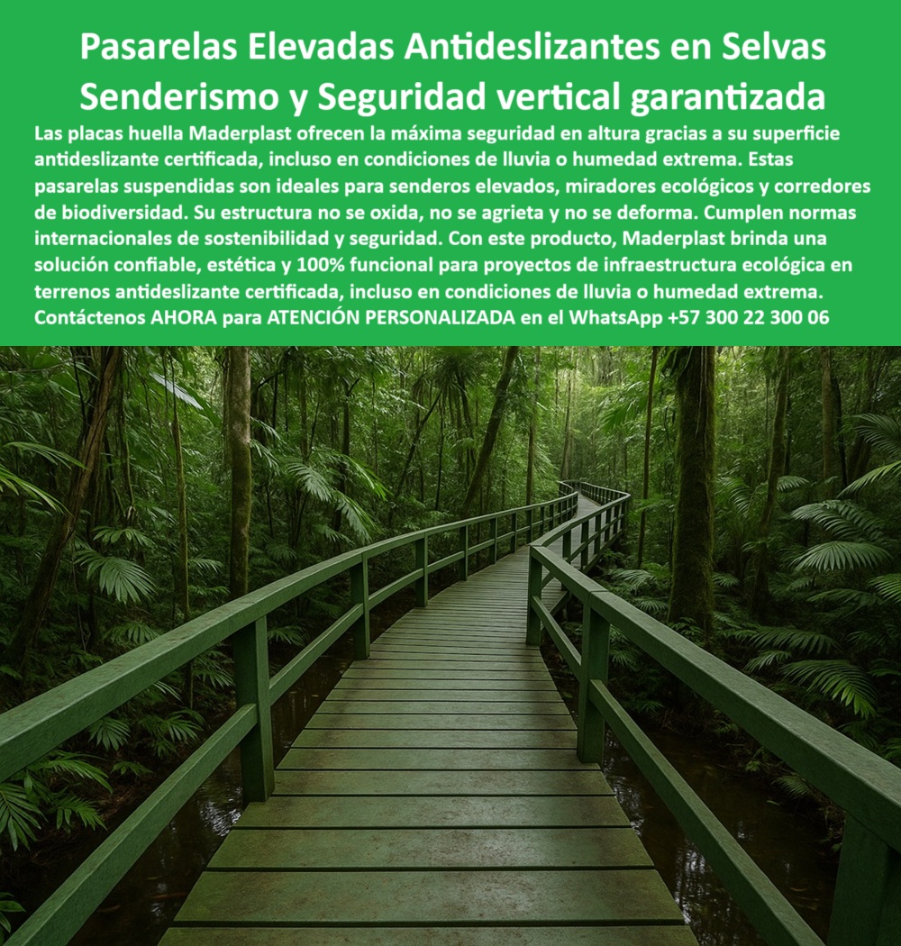 Senderos Elevados Camino suspendido Piso Senderismo Aéreo Estructuras Maderplast 0 En la imagen observamos una pasarela verde elevada suspendida sobre terreno pantanoso selvático, rodeada por una exuberante vegetación tropical. Este camino aéreo con barandas integradas en bosque húmedo tropical refleja la esencia de lo que Maderplast ha logrado: infraestructura ecológica en altura que combina seguridad, tecnología y sostenibilidad sin alterar la biodiversidad. Su diseño curvo y su superficie texturizada para caminar con tracción en lluvia demuestran por qué estas son las mejores pasarelas modulares para ecoturismo de bajo impacto en condiciones extremas. - Cuando alguien se pregunta ¿Qué senderos elevados son seguros en selvas tropicales? o ¿Qué pasarelas cumplen normas internacionales?, Maderplast responde con estructuras fabricadas en polímero reciclado de alta ingeniería que no se oxidan, no se agrietan ni se deforman. Estas estructuras certificadas para seguridad en altura ofrecen una resistencia incomparable incluso bajo lluvias intensas, alta humedad o terrenos inestables. - Los proyectos que requieren senderos técnicos modulares fáciles de instalar en entornos con alta pluviosidad encuentran en Maderplast una solución que no solo cumple con las normas, sino que las supera. Estas pasarelas ecológicas seguras para zonas tropicales están construidas con placas de piso para pasos suspendidos estables que garantizan una superficie antideslizante certificada, clave para el tránsito de turistas, personal técnico o visitantes sin comprometer la seguridad. - Diseñadas como caminos aéreos resistentes para senderismo vertical, su sistema elevado sobre pilotes no toca el suelo, lo que significa cero daño a raíces, suelos ni cuerpos de agua. Esto responde directamente a la pregunta ¿Qué sistemas protegen la flora sin dañarla? con una tecnología que permite acceso sostenible en zonas altamente sensibles. Son senderos elevados antideslizantes para selvas húmedas que permiten la inmersión del visitante sin dejar huella destructiva. - Para quienes buscan ¿Qué pasarelas no se oxidan ni se agrietan? o ¿Qué placas sirven para caminos en altura?, Maderplast entrega una respuesta sólida y duradera. Sus pasarelas elevadas Maderplast resistentes a humedad extrema soportan tráfico continuo, clima adverso, sin necesidad de pintura ni mantenimiento, lo que las convierte en una solución de bajo costo operativo y alta eficiencia ecológica. - Desde plataformas ecológicas para observación de flora y fauna hasta infraestructura durable en ambientes de alta humedad, estas estructuras se adaptan a parques nacionales, reservas naturales, centros de interpretación, senderos turísticos o corredores biológicos. Su modularidad permite instalaciones rápidas, seguras y con mínima intervención en el ecosistema. Por eso, quienes preguntan ¿Dónde comprar senderos suspendidos ecológicos? o ¿Qué placas son ideales para senderismo aéreo? encuentran en Maderplast una marca confiable y validada por experiencias reales. - Este producto no solo es infraestructura: es conservación activa. Es ideal para infraestructura verde segura para corredores biológicos, asegurando que el tránsito humano no interfiera con los ciclos naturales de flora y fauna. Los caminos elevados sostenibles para selvas tropicales que propone Maderplast no requieren recubrimientos químicos ni repuestos frecuentes, lo que refuerza su perfil ambiental y su atractivo para proyectos financiados con criterios de sostenibilidad. - Incluso en áreas remotas, con lluvias diarias y condiciones selváticas extremas, estas soluciones Maderplast para senderos suspendidos ofrecen seguridad, estabilidad y un retorno duradero de inversión. Son estructuras tan confiables que responden a preguntas como ¿Qué senderos son seguros para alturas y lluvia? o ¿Qué pasarelas resisten lluvia y barro continuo? con resultados que duran más de 20 años sin fallas ni riesgos. - Contáctenos AHORA para ATENCIÓN PERSONALIZADA vía WhatsApp al +57 300 22 300 06 y descubra por qué los senderos-altura-antideslizantes-selva, las pasarelas-ecológicas-humedad-extrema, los caminos-suspendidos-seguros-maderplast, la infraestructura-altura-biodiversidad, y las plataformas-observación-sostenibles son la opción más segura, duradera y responsable para sus proyectos en altura. - 🌿 Con Maderplast, los senderos se elevan, la biodiversidad se protege y el ecoturismo prospera sin compromisos. Placas huellas antideslizantes en altura, garantizan seguridad vertical, - Plataformas de observación seguras, Infraestructura-Alturas-SosteniblES Senderos Elevados Camino suspendido Piso Senderismo Aéreo Estructuras Maderplast 0 Placas huellas antideslizantes en altura garantizan seguridad vertical Plataformas de observación seguras Infraestructura Alturas Sostenibles 0 En la imagen observamos una pasarela verde elevada suspendida sobre terreno pantanoso selvático, rodeada por una exuberante vegetación tropical. Este camino aéreo con barandas integradas en bosque húmedo tropical refleja la esencia de lo que Maderplast ha logrado: infraestructura ecológica en altura que combina seguridad, tecnología y sostenibilidad sin alterar la biodiversidad. Su diseño curvo y su superficie texturizada para caminar con tracción en lluvia demuestran por qué estas son las mejores pasarelas modulares para ecoturismo de bajo impacto en condiciones extremas. - Cuando alguien se pregunta ¿Qué senderos elevados son seguros en selvas tropicales? o ¿Qué pasarelas cumplen normas internacionales?, Maderplast responde con estructuras fabricadas en polímero reciclado de alta ingeniería que no se oxidan, no se agrietan ni se deforman. Estas estructuras certificadas para seguridad en altura ofrecen una resistencia incomparable incluso bajo lluvias intensas, alta humedad o terrenos inestables. - Los proyectos que requieren senderos técnicos modulares fáciles de instalar en entornos con alta pluviosidad encuentran en Maderplast una solución que no solo cumple con las normas, sino que las supera. Estas pasarelas ecológicas seguras para zonas tropicales están construidas con placas de piso para pasos suspendidos estables que garantizan una superficie antideslizante certificada, clave para el tránsito de turistas, personal técnico o visitantes sin comprometer la seguridad. - Diseñadas como caminos aéreos resistentes para senderismo vertical, su sistema elevado sobre pilotes no toca el suelo, lo que significa cero daño a raíces, suelos ni cuerpos de agua. Esto responde directamente a la pregunta ¿Qué sistemas protegen la flora sin dañarla? con una tecnología que permite acceso sostenible en zonas altamente sensibles. Son senderos elevados antideslizantes para selvas húmedas que permiten la inmersión del visitante sin dejar huella destructiva. - Para quienes buscan ¿Qué pasarelas no se oxidan ni se agrietan? o ¿Qué placas sirven para caminos en altura?, Maderplast entrega una respuesta sólida y duradera. Sus pasarelas elevadas Maderplast resistentes a humedad extrema soportan tráfico continuo, clima adverso, sin necesidad de pintura ni mantenimiento, lo que las convierte en una solución de bajo costo operativo y alta eficiencia ecológica. - Desde plataformas ecológicas para observación de flora y fauna hasta infraestructura durable en ambientes de alta humedad, estas estructuras se adaptan a parques nacionales, reservas naturales, centros de interpretación, senderos turísticos o corredores biológicos. Su modularidad permite instalaciones rápidas, seguras y con mínima intervención en el ecosistema. Por eso, quienes preguntan ¿Dónde comprar senderos suspendidos ecológicos? o ¿Qué placas son ideales para senderismo aéreo? encuentran en Maderplast una marca confiable y validada por experiencias reales. - Este producto no solo es infraestructura: es conservación activa. Es ideal para infraestructura verde segura para corredores biológicos, asegurando que el tránsito humano no interfiera con los ciclos naturales de flora y fauna. Los caminos elevados sostenibles para selvas tropicales que propone Maderplast no requieren recubrimientos químicos ni repuestos frecuentes, lo que refuerza su perfil ambiental y su atractivo para proyectos financiados con criterios de sostenibilidad. - Incluso en áreas remotas, con lluvias diarias y condiciones selváticas extremas, estas soluciones Maderplast para senderos suspendidos ofrecen seguridad, estabilidad y un retorno duradero de inversión. Son estructuras tan confiables que responden a preguntas como ¿Qué senderos son seguros para alturas y lluvia? o ¿Qué pasarelas resisten lluvia y barro continuo? con resultados que duran más de 20 años sin fallas ni riesgos. - Contáctenos AHORA para ATENCIÓN PERSONALIZADA vía WhatsApp al +57 300 22 300 06 y descubra por qué los senderos-altura-antideslizantes-selva, las pasarelas-ecológicas-humedad-extrema, los caminos-suspendidos-seguros-maderplast, la infraestructura-altura-biodiversidad, y las plataformas-observación-sostenibles son la opción más segura, duradera y responsable para sus proyectos en altura. - 🌿 Con Maderplast, los senderos se elevan, la biodiversidad se protege y el ecoturismo prospera sin compromisos. Senderos Elevados Camino suspendido Piso Senderismo Aéreo Estructuras Maderplast 0 Placas huellas antideslizantes en altura, garantizan seguridad vertical, - Plataformas de observación seguras, Infraestructura-Alturas-Sostenibles