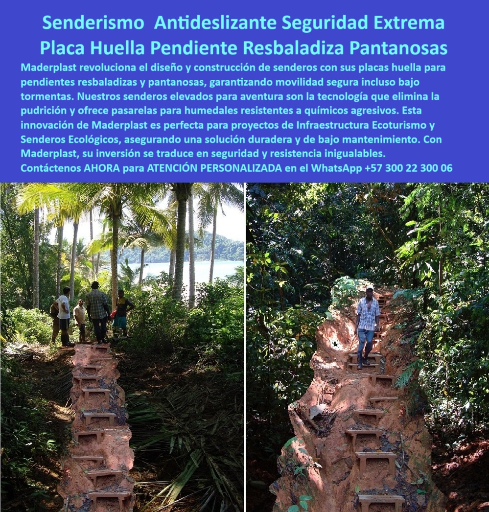 Senderos Elevados Pisos Aéreos Senderismo Caminos suspendidos Placas Maderplast Cuando la topografía se vuelve un desafío, Maderplast responde con tecnología. En la imagen vemos un sendero selvático con fuerte pendiente, un terreno donde la lluvia constante, el barro y la vegetación densa vuelven peligrosos incluso los pasos más simples. Sin embargo, las placas huella Maderplast convierten este reto en una oportunidad de acceso seguro y sin mantenimiento, - Estas estructuras están diseñadas con polímeros reciclados de alta ingeniería, capaces de soportar humedad extrema, químicos presentes en suelos pantanosos y la abrasión del uso continuo. No se agrietan, no se pudren y no se deforman con el tiempo. Su tracción antideslizante está pensada para dar confianza incluso en los descensos más empinados o bajo tormenta. Olvídese del riesgo de caídas o del deterioro por hongos o putrefacción: este es un producto técnico, seguro y sustentable, - Los escalones se integran al terreno sin necesidad de cimentaciones costosas, permitiendo que el entorno se conserve sin intervención destructiva. Su sistema modular se adapta al relieve natural, reduciendo el impacto ambiental. Son ideales para rutas turísticas en selvas tropicales, humedales, manglares, ecoparques o cualquier proyecto de infraestructura verde que exija seguridad extrema sin dejar huella ecológica, - Además, su ligereza y composición no metálica los vuelve antirrobo, y su resistencia estructural supera por años a las soluciones tradicionales en madera o metal, que rápidamente ceden al clima o a los organismos biológicos, - Maderplast no solo fabrica placas: diseña experiencias de senderismo seguras, duraderas y confiables. Quien camina sobre una estructura Maderplast no solo avanza, lo hace con estabilidad, sin sobresaltos, y con la certeza de que cada paso es un acierto técnico y ambiental, - ¿Tienes un proyecto en terreno húmedo o pendiente? Contáctanos AHORA por WhatsApp al +57 300 22 300 06 para recibir asesoría técnica personalizada. Te ayudamos a diseñar y suministrar la solución más segura y ecológica del mercado, - Maderplast. Donde termina el barro, comienza la ingeniería. 0 Senderos elevados aventura segura sin pudrición, - Pasarelas para humedales resistentes químicos agresivos, - Senderos-Elevados-Aventura, 0 Senderos Elevados Pisos Aéreos Senderismo Caminos suspendidos Placas Maderplast 0 Senderos elevados aventura segura sin pudrición Pasarelas para humedales resistentes químicos agresivos Senderos Elevados Aventura 0 Cuando la topografía se vuelve un desafío, Maderplast responde con tecnología. En la imagen vemos un sendero selvático con fuerte pendiente, un terreno donde la lluvia constante, el barro y la vegetación densa vuelven peligrosos incluso los pasos más simples. Sin embargo, las placas huella Maderplast convierten este reto en una oportunidad de acceso seguro y sin mantenimiento, - Estas estructuras están diseñadas con polímeros reciclados de alta ingeniería, capaces de soportar humedad extrema, químicos presentes en suelos pantanosos y la abrasión del uso continuo. No se agrietan, no se pudren y no se deforman con el tiempo. Su tracción antideslizante está pensada para dar confianza incluso en los descensos más empinados o bajo tormenta. Olvídese del riesgo de caídas o del deterioro por hongos o putrefacción: este es un producto técnico, seguro y sustentable, - Los escalones se integran al terreno sin necesidad de cimentaciones costosas, permitiendo que el entorno se conserve sin intervención destructiva. Su sistema modular se adapta al relieve natural, reduciendo el impacto ambiental. Son ideales para rutas turísticas en selvas tropicales, humedales, manglares, ecoparques o cualquier proyecto de infraestructura verde que exija seguridad extrema sin dejar huella ecológica, - Además, su ligereza y composición no metálica los vuelve antirrobo, y su resistencia estructural supera por años a las soluciones tradicionales en madera o metal, que rápidamente ceden al clima o a los organismos biológicos, - Maderplast no solo fabrica placas: diseña experiencias de senderismo seguras, duraderas y confiables. Quien camina sobre una estructura Maderplast no solo avanza, lo hace con estabilidad, sin sobresaltos, y con la certeza de que cada paso es un acierto técnico y ambiental, - ¿Tienes un proyecto en terreno húmedo o pendiente? Contáctanos AHORA por WhatsApp al +57 300 22 300 06 para recibir asesoría técnica personalizada. Te ayudamos a diseñar y suministrar la solución más segura y ecológica del mercado, - Maderplast. Donde termina el barro, comienza la ingeniería. Senderos Elevados Pisos Aéreos Senderismo Caminos suspendidos Placas Maderplast 0 Senderos elevados aventura segura sin pudrición, - Pasarelas para humedales resistentes químicos agresivos, - Senderos-Elevados-Aventura, 0