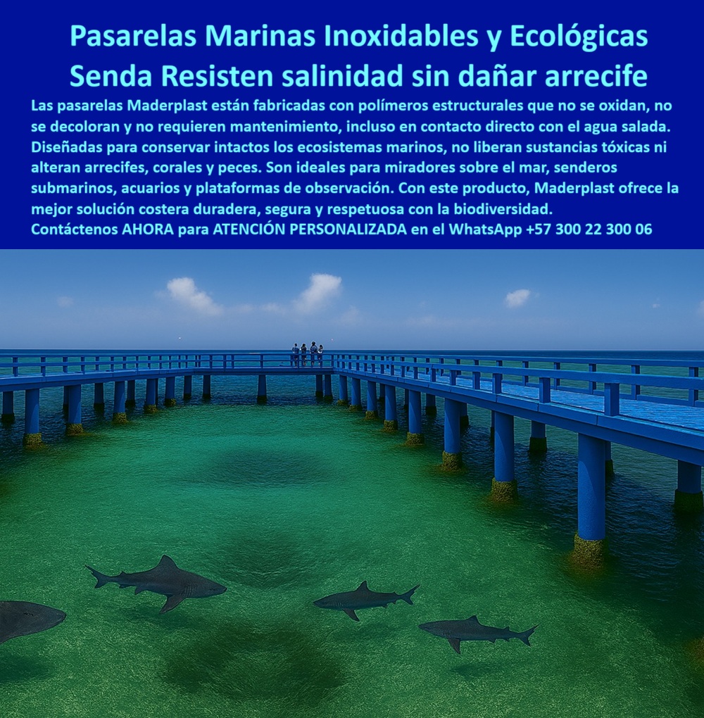 Senderos Marinos Inoxidables Puentes Ecosistemas Acuáticos Submarinos Maderplast 0 Pasarelas costeras duraderas resisten salinidad extrema, sin mantenimiento, - Caminos submarinos ecológicos no dañan los arrecifes, Pasarelas mar Senderos Marinos Inoxidables Puentes Ecosistemas Acuáticos Submarinos Maderplast 0 Pasarelas costeras duraderas resisten salinidad extrema sin mantenimiento Caminos submarinos ecológicos no dañan los arrecifes Pasarelas mar 0 Senderos Marinos Inoxidables Puentes Ecosistemas Acuáticos Submarinos Maderplast 0 Pasarelas costeras duraderas resisten salinidad extrema, sin mantenimiento, - Caminos submarinos ecológicos no dañan los arrecifes, Pasarelas mar