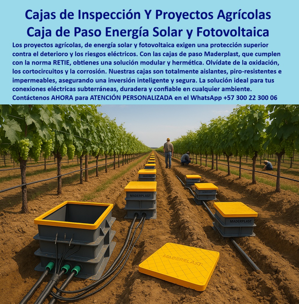 Cajas De Inspección Redes Comunicaciones Caja Conexiones Herméticas Maderplast Cajas de Inspección Maderplast: Proyectos Agrícolas y de Energía Solar con Protección Superior, - En los proyectos agrícolas, la infraestructura de energía solar y fotovoltaica exige una protección superior para evitar el deterioro y los riesgos eléctricos. El contacto constante con la humedad, los químicos del suelo y las condiciones climáticas extremas puede dañar las conexiones eléctricas subterráneas, provocando costosas interrupciones y fallos. La solución definitiva a estos problemas es Maderplast, con su caja de paso energía solar y fotovoltaica, que ofrece una solución modular y hermética que cumple con la norma RETIE, - La imagen muestra una instalación real en un viñedo, donde una hilera de cajas de inspección de Maderplast protege las conexiones eléctricas en medio de los cultivos. Las tapas amarillas, visibles y robustas, aseguran la protección de las redes subterráneas. Estas cajas, fabricadas en polímero reforzado de alta resistencia, son la base para una inversión inteligente y segura, ya que son totalmente aislantes, piro-resistentes e impermeables, - Maderplast: La Tecnología que Resiste el Ambiente Agrícola, - ¿Qué caja usar para energía solar en cultivos agrícolas? La solución es la caja hermética agrícola certificada RETIE de Maderplast. Su diseño estanco, anticorrosivo y fácil de instalar las hace ideales para proyectos agrícolas, viñedos y cualquier instalación que requiera protección en ambientes hostiles, - ¿Cuál es la mejor caja de paso para proyectos fotovoltaicos? El resultado es una caja modular de conexiones solares de Maderplast. Fabricada con polímero reforzado, esta caja de paso eléctrica fotovoltaica es estanca e ignífuga, lo que garantiza la continuidad eléctrica y la durabilidad en cualquier instalación, - ¿Cómo proteger conexiones solares en viñedos contra humedad? Con cajas herméticas plásticas reforzadas, que son 100% estancas y resistentes a químicos. Esta caja plástica inspección eléctrica viñedos asegura una vida útil superior a 20 años sin fallas ni mantenimiento, - ¿Qué caja conviene para instalaciones de riego solar? La solución es una caja hermética de paso contra humedad agrícola. Con protección anticorrosiva y contra cortocircuitos, esta caja estanca agrícola riego eléctrico es ideal para la protección de las conexiones eléctricas rurales, - ¿Cómo evitar fallas eléctricas en granjas solares agrícolas? Con cajas de paso herméticas modulares de Maderplast. Son resistentes a la humedad, al sol y a los químicos, lo que garantiza cero filtraciones y una continuidad operativa sin fallas, - ¿Qué caja de inspección usar en proyectos de energía renovable agrícola? El consejo más lógico es instalar cajas herméticas plásticas certificadas RETIE, estancas y de bajo mantenimiento. Son la inversión inteligente para ingenieros, agricultores y contratistas que buscan seguridad real, - ¿Cuál es la caja más confiable para empalmes solares subterráneos? La respuesta es la caja hermética subterránea redes solares de Maderplast. Su diseño anticorrosivo y piro-resistente la hace ideal para la protección de empalmes solares y telecomunicaciones en cualquier ambiente, - Maderplast: La Opción Confiable para Proyectos Exigentes, - La Ing. Laura Morales, jefa de Ingeniería Energética en Agroproyectos, lo confirma: “En nuestra finca solar necesitábamos cajas estancas para proteger conexiones en terrenos húmedos. Con las cajas herméticas plásticas de Maderplast logramos una instalación segura, rápida y libre de fallas. Después de dos temporadas agrícolas, confirmamos cero mantenimiento y máxima seguridad en nuestros sistemas fotovoltaicos.”, - Este testimonio es la prueba irrefutable de que nuestra tecnología de cajas de paso resis es la única que ofrece una solución real a los problemas de filtración, corrosión y altos costos de mantenimiento, - Te sentirás convencido y seguro de que Maderplast es la única opción que cumple con todos tus requisitos. 0 Cajas proyectos agrícolas, - caja modular de conexiones solares, - Caja de paso energía solar, - caja de paso eléctrica fotovoltaica, - Cajas de paso resis Cajas De Inspección Redes Comunicaciones Caja Conexiones Herméticas Maderplast 0 Cajas proyectos agrícolas caja modular de conexiones solares Caja de paso energía solar caja de paso eléctrica fotovoltaica Cajas de paso resis Cajas de Inspección Maderplast: Proyectos Agrícolas y de Energía Solar con Protección Superior, - En los proyectos agrícolas, la infraestructura de energía solar y fotovoltaica exige una protección superior para evitar el deterioro y los riesgos eléctricos. El contacto constante con la humedad, los químicos del suelo y las condiciones climáticas extremas puede dañar las conexiones eléctricas subterráneas, provocando costosas interrupciones y fallos. La solución definitiva a estos problemas es Maderplast, con su caja de paso energía solar y fotovoltaica, que ofrece una solución modular y hermética que cumple con la norma RETIE, - La imagen muestra una instalación real en un viñedo, donde una hilera de cajas de inspección de Maderplast protege las conexiones eléctricas en medio de los cultivos. Las tapas amarillas, visibles y robustas, aseguran la protección de las redes subterráneas. Estas cajas, fabricadas en polímero reforzado de alta resistencia, son la base para una inversión inteligente y segura, ya que son totalmente aislantes, piro-resistentes e impermeables, - Maderplast: La Tecnología que Resiste el Ambiente Agrícola, - ¿Qué caja usar para energía solar en cultivos agrícolas? La solución es la caja hermética agrícola certificada RETIE de Maderplast. Su diseño estanco, anticorrosivo y fácil de instalar las hace ideales para proyectos agrícolas, viñedos y cualquier instalación que requiera protección en ambientes hostiles, - ¿Cuál es la mejor caja de paso para proyectos fotovoltaicos? El resultado es una caja modular de conexiones solares de Maderplast. Fabricada con polímero reforzado, esta caja de paso eléctrica fotovoltaica es estanca e ignífuga, lo que garantiza la continuidad eléctrica y la durabilidad en cualquier instalación, - ¿Cómo proteger conexiones solares en viñedos contra humedad? Con cajas herméticas plásticas reforzadas, que son 100% estancas y resistentes a químicos. Esta caja plástica inspección eléctrica viñedos asegura una vida útil superior a 20 años sin fallas ni mantenimiento, - ¿Qué caja conviene para instalaciones de riego solar? La solución es una caja hermética de paso contra humedad agrícola. Con protección anticorrosiva y contra cortocircuitos, esta caja estanca agrícola riego eléctrico es ideal para la protección de las conexiones eléctricas rurales, - ¿Cómo evitar fallas eléctricas en granjas solares agrícolas? Con cajas de paso herméticas modulares de Maderplast. Son resistentes a la humedad, al sol y a los químicos, lo que garantiza cero filtraciones y una continuidad operativa sin fallas, - ¿Qué caja de inspección usar en proyectos de energía renovable agrícola? El consejo más lógico es instalar cajas herméticas plásticas certificadas RETIE, estancas y de bajo mantenimiento. Son la inversión inteligente para ingenieros, agricultores y contratistas que buscan seguridad real, - ¿Cuál es la caja más confiable para empalmes solares subterráneos? La respuesta es la caja hermética subterránea redes solares de Maderplast. Su diseño anticorrosivo y piro-resistente la hace ideal para la protección de empalmes solares y telecomunicaciones en cualquier ambiente, - Maderplast: La Opción Confiable para Proyectos Exigentes, - La Ing. Laura Morales, jefa de Ingeniería Energética en Agroproyectos, lo confirma: “En nuestra finca solar necesitábamos cajas estancas para proteger conexiones en terrenos húmedos. Con las cajas herméticas plásticas de Maderplast logramos una instalación segura, rápida y libre de fallas. Después de dos temporadas agrícolas, confirmamos cero mantenimiento y máxima seguridad en nuestros sistemas fotovoltaicos.”, - Este testimonio es la prueba irrefutable de que nuestra tecnología de cajas de paso resis es la única que ofrece una solución real a los problemas de filtración, corrosión y altos costos de mantenimiento, - Te sentirás convencido y seguro de que Maderplast es la única opción que cumple con todos tus requisitos.