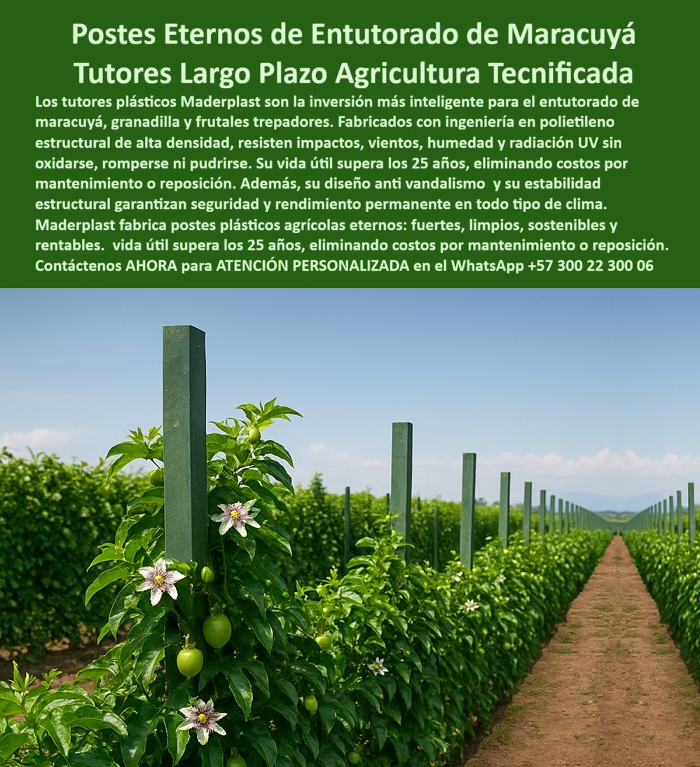 Fabricante Tutores Plásticos De Exteriores Tutores Para Maracuyá Maderplast 0 poste plástico para entutorado maracuyá, Precios tutores plásticos ahorro largo plazo, Ingeniería tutores plásticos antivandalismo, Postes Plásticos Eternos 0 Fabricante Tutores Plásticos De Exteriores Tutores Para Maracuyá Maderplast 0 poste plástico para entutorado maracuyá Precios tutores plásticos ahorro largo plazo Ingeniería tutores plásticos antivandalismo Postes Plásticos Eternos 0