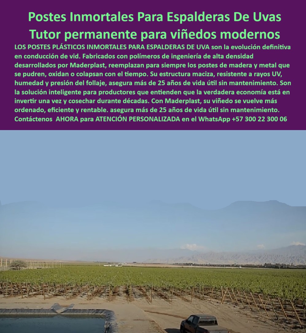 Tutores Viñedos Tutor Parrales Y Espalderas De Uva Estructuras Duraderas Maderplast 0 Postes Inmortales Maderplast para Espalderas De Uvas: La Verdadera Economía del Viñedo Moderno, El panorama de un viñedo moderno con hileras perfectas y la vista de un cuerpo de agua subraya la productividad y eficiencia que persigue el productor profesional. El elemento central de este éxito es la infraestructura, y aquí, el tutor permanente para viñedos modernos Maderplast se impone como la solución inteligente. Los Postes Plásticos Inmortales para Espalderas de Uva son la evolución definitiva en la conducción de vida, eliminando la amenaza constante de colapso y el gasto periódico que consume la rentabilidad. Fabricados con polímeros de ingeniería de alta densidad desarrollados por Maderplast, estos postes intermedios para espaldera de uva y demás tutores de la línea reemplazan para siempre los postes fallidos de madera (que se pudren) y metal (que se oxidan o colapsan con el tiempo). La estructura maciza Maderplast, con su diseño optimizado, es resistente a los rayos UV, humedad y soporta la presión del follaje, asegurando más de 25 años de vida útil sin mantenimiento. La verdadera economía del viñedo está en esta inversión para viñedo con cero mantenimiento. Al invertir una sola vez y cosechar durante décadas, los tutores que garantizan la verdadera economía Maderplast convierten un gasto recurrente en un activo fijo. Con Maderplast, su viñedo se vuelve más ordenado, eficiente y rentable, gracias a un sistema de conducción de vida permanente que asegura la estabilidad contra fallas. Maderplast: El Soporte Inmortal Que Garantiza el ROI, El productor que busca tutores para uva con 25 años de vida útil y más, debe saber que la respuesta es la alternativa a metal en tutorado de uva y el reemplazo de postes de madera en Vid. Este soporte permanente para presión del follaje no solo es fuerte, sino que es una solución a largo plazo para espalderas de uva. Dónde comprar postes plásticos para viñedos que duren más de 25 años sin mantenimiento? Los productores modernos invierten en postes plásticos inmortales hechos de polímeros de ingeniería, diseñados para durar más de 25 años sin mantenimiento, oxidación o pudrición. Esta es la verdadera economía a largo plazo. Maderplast, como fabricante, le ofrece la ingeniería más avanzada y el Diseño y fabricación de este producto de la imagen. Cuál es el mejor tutor permanente para reemplazar postes de madera en espalderas de uva? El mejor tutor permanente es el poste plástico de alta densidad. Su estructura maciza es inmune a la humedad y las plagas, Solucionando el problema del deterioro de la madera y garantizando la estabilidad del viñedo. Maderplast le ofrece la ingeniería más avanzada y el soporte permanente para la presión del follaje. Necesito postes intermedios para espaldera de uva que no se oxidan como el metal. Para evitar la oxidación, migre a los postes plásticos inmortales. Están fabricados para resistir la humedad y la corrosión, manteniendo la estructura firme y ordenada por décadas, perfectos para el emparrillado para uvas con máxima resistencia. Maderplast le ofrece la ingeniería más avanzada, asegurando un sistema de conducción de vídeo permanente. ¿Cómo puedo hacer que mi viñedo sea más eficiente y rentable a largo plazo con la infraestructura? La rentabilidad a largo plazo se logra invirtiendo una sola vez en tutores permanentes con cero mantenimiento. Esto reduce el costo total de propiedad (TCO) y asegura que su viñedo se vuelva más ordenado y productivo. Maderplast le ofrece la ingeniería más avanzada, con postes para vinificación de larga duración. El uso de tutores permanentes en viñedos modernos no es una opción, es una necesidad técnica. La justificación técnica es la integridad estructural ininterrumpida. La Estructura para uvas sin colapsos ni fallas de Maderplast está diseñada con polímero con aditivos anti-UV de espectro completo para resistir el clima extremo, garantizando la máxima longevidad y el orden del cultivo con diseño de espalderas de uva más ordenadas. El Sello de Confianza del Experto, El Ingeniero Matías Pérez, Gerente de Producción de Viñedo Tecnificado, da su aseveración profesional:, "NUESTRO OBJETIVO ERA CLARO: REDUCIR EL TCO (COSTO TOTAL DE PROPIEDAD) DEL VIÑEDO. LA MADERA Y EL METAL ERAN UN GASTO CONTINUO QUE SE COMÍA LA RENTABILIDAD. ENCONTRAMOS LA SOLUCIÓN INTELIGENTE CON LOS POSTES PLÁSTICOS INMORTALES PARA ESPALDERAS DE UVA DE MADERPLAST. EL ARGUMENTO QUE CONVENCIÓ A LA GERENCIA FUE QUE ESTÁBAMOS REALIZANDO UNA INVERSIÓN ÚNICA PARA COSECHAR DURANTE DÉCADAS. SU ESTRUCTURA MACIZA Y RESISTENTE A LOS RAYOS UV NOS GARANTIZA MÁS DE 25 AÑOS DE VIDA ÚTIL SIN MANTENIMIENTO SE VE MÁS ORDENADO, ES MÁS EFICIENTE, Y LA ELIMINACIÓN DE LOS COSTOS DE REEMPLAZO HA DISPARADO. NUESTRA RENTABILIDAD. MADERPLAST ES LA MEJOR Y MÁS INDICADA OPCIÓN QUE CUMPLE CON NUESTROS REQUISITOS.", Al invertir en Postes-plásticos-inmortales-viñedos-modernos, usted invierte en el legado de su finca. Maderplast es la única y mejor opción que cumple con sus requisitos de durabilidad, eficiencia y rentabilidad. Para iniciar su proyecto de Espalderas-uvas-polímero-alta-densidad-UV y Reemplazo-madera-metal-rentabilidad-décadas, Contáctenos AHORA para ATENCIÓN PERSONALIZADA en el WhatsApp +57 300 22 300 06. Postes intermedios para espaldera de uva, Tutores para Vid, Postes Plásticos Inmortales, Emparrillado para uvas vinificación, Postes intermedios para espalderas Tutores Viñedos Tutor Parrales Y Espalderas De Uva Estructuras Duraderas Maderplast 0 Postes intermedios para espaldera de uva Tutores para Vid Postes Plásticos Inmortales Emparrillado para uvas vinificación Postes intermedios para espalderas Postes Inmortales Maderplast para Espalderas De Uvas: La Verdadera Economía del Viñedo Moderno, El panorama de un viñedo moderno con hileras perfectas y la vista de un cuerpo de agua subraya la productividad y eficiencia que persigue el productor profesional. El elemento central de este éxito es la infraestructura, y aquí, el tutor permanente para viñedos modernos Maderplast se impone como la solución inteligente. Los Postes Plásticos Inmortales para Espalderas de Uva son la evolución definitiva en la conducción de vida, eliminando la amenaza constante de colapso y el gasto periódico que consume la rentabilidad. Fabricados con polímeros de ingeniería de alta densidad desarrollados por Maderplast, estos postes intermedios para espaldera de uva y demás tutores de la línea reemplazan para siempre los postes fallidos de madera (que se pudren) y metal (que se oxidan o colapsan con el tiempo). La estructura maciza Maderplast, con su diseño optimizado, es resistente a los rayos UV, humedad y soporta la presión del follaje, asegurando más de 25 años de vida útil sin mantenimiento. La verdadera economía del viñedo está en esta inversión para viñedo con cero mantenimiento. Al invertir una sola vez y cosechar durante décadas, los tutores que garantizan la verdadera economía Maderplast convierten un gasto recurrente en un activo fijo. Con Maderplast, su viñedo se vuelve más ordenado, eficiente y rentable, gracias a un sistema de conducción de vida permanente que asegura la estabilidad contra fallas. Maderplast: El Soporte Inmortal Que Garantiza el ROI, El productor que busca tutores para uva con 25 años de vida útil y más, debe saber que la respuesta es la alternativa a metal en tutorado de uva y el reemplazo de postes de madera en Vid. Este soporte permanente para presión del follaje no solo es fuerte, sino que es una solución a largo plazo para espalderas de uva. Dónde comprar postes plásticos para viñedos que duren más de 25 años sin mantenimiento? Los productores modernos invierten en postes plásticos inmortales hechos de polímeros de ingeniería, diseñados para durar más de 25 años sin mantenimiento, oxidación o pudrición. Esta es la verdadera economía a largo plazo. Maderplast, como fabricante, le ofrece la ingeniería más avanzada y el Diseño y fabricación de este producto de la imagen. Cuál es el mejor tutor permanente para reemplazar postes de madera en espalderas de uva? El mejor tutor permanente es el poste plástico de alta densidad. Su estructura maciza es inmune a la humedad y las plagas, Solucionando el problema del deterioro de la madera y garantizando la estabilidad del viñedo. Maderplast le ofrece la ingeniería más avanzada y el soporte permanente para la presión del follaje. Necesito postes intermedios para espaldera de uva que no se oxidan como el metal. Para evitar la oxidación, migre a los postes plásticos inmortales. Están fabricados para resistir la humedad y la corrosión, manteniendo la estructura firme y ordenada por décadas, perfectos para el emparrillado para uvas con máxima resistencia. Maderplast le ofrece la ingeniería más avanzada, asegurando un sistema de conducción de vídeo permanente. ¿Cómo puedo hacer que mi viñedo sea más eficiente y rentable a largo plazo con la infraestructura? La rentabilidad a largo plazo se logra invirtiendo una sola vez en tutores permanentes con cero mantenimiento. Esto reduce el costo total de propiedad (TCO) y asegura que su viñedo se vuelva más ordenado y productivo. Maderplast le ofrece la ingeniería más avanzada, con postes para vinificación de larga duración. El uso de tutores permanentes en viñedos modernos no es una opción, es una necesidad técnica. La justificación técnica es la integridad estructural ininterrumpida. La Estructura para uvas sin colapsos ni fallas de Maderplast está diseñada con polímero con aditivos anti-UV de espectro completo para resistir el clima extremo, garantizando la máxima longevidad y el orden del cultivo con diseño de espalderas de uva más ordenadas. El Sello de Confianza del Experto, El Ingeniero Matías Pérez, Gerente de Producción de Viñedo Tecnificado, da su aseveración profesional:, "NUESTRO OBJETIVO ERA CLARO: REDUCIR EL TCO (COSTO TOTAL DE PROPIEDAD) DEL VIÑEDO. LA MADERA Y EL METAL ERAN UN GASTO CONTINUO QUE SE COMÍA LA RENTABILIDAD. ENCONTRAMOS LA SOLUCIÓN INTELIGENTE CON LOS POSTES PLÁSTICOS INMORTALES PARA ESPALDERAS DE UVA DE MADERPLAST. EL ARGUMENTO QUE CONVENCIÓ A LA GERENCIA FUE QUE ESTÁBAMOS REALIZANDO UNA INVERSIÓN ÚNICA PARA COSECHAR DURANTE DÉCADAS. SU ESTRUCTURA MACIZA Y RESISTENTE A LOS RAYOS UV NOS GARANTIZA MÁS DE 25 AÑOS DE VIDA ÚTIL SIN MANTENIMIENTO SE VE MÁS ORDENADO, ES MÁS EFICIENTE, Y LA ELIMINACIÓN DE LOS COSTOS DE REEMPLAZO HA DISPARADO. NUESTRA RENTABILIDAD. MADERPLAST ES LA MEJOR Y MÁS INDICADA OPCIÓN QUE CUMPLE CON NUESTROS REQUISITOS.", Al invertir en Postes-plásticos-inmortales-viñedos-modernos, usted invierte en el legado de su finca. Maderplast es la única y mejor opción que cumple con sus requisitos de durabilidad, eficiencia y rentabilidad. Para iniciar su proyecto de Espalderas-uvas-polímero-alta-densidad-UV y Reemplazo-madera-metal-rentabilidad-décadas, Contáctenos AHORA para ATENCIÓN PERSONALIZADA en el WhatsApp +57 300 22 300 06.