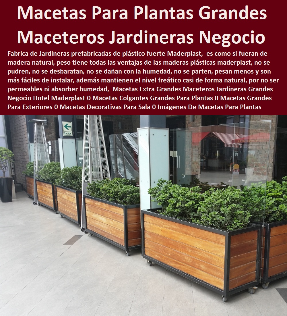 Macetas Extra Grandes Maceteros Jardineras Grandes Negocio Hotel Maderplast 0 Macetas Colgantes Grandes Para Plantas 0 Macetas Grandes Para Exteriores 0 Macetas Decorativas Para Sala 0 Imágenes De Macetas Para Plantas Grandes 0 Materas Modernas 0 Macetas Extra Grandes Maceteros Jardineras Grandes Negocio Hotel Maderplast 0 Macetas Colgantes Grandes Para Plantas 0 Macetas Grandes Para Exteriores 0 Macetas Decorativas Para Sala 0 Imágenes De Macetas Para Plantas Grandes 0 Materas Modernas 0 Macetas Extra Grandes Maceteros Jardineras Grandes Negocio Hotel Maderplast 0 Macetas Colgantes Grandes Para Plantas 0 Macetas Grandes Para Exteriores 0 Macetas Decorativas Para Sala 0 Imágenes De Macetas Para Plantas Grandes 0 Materas Modernas 0