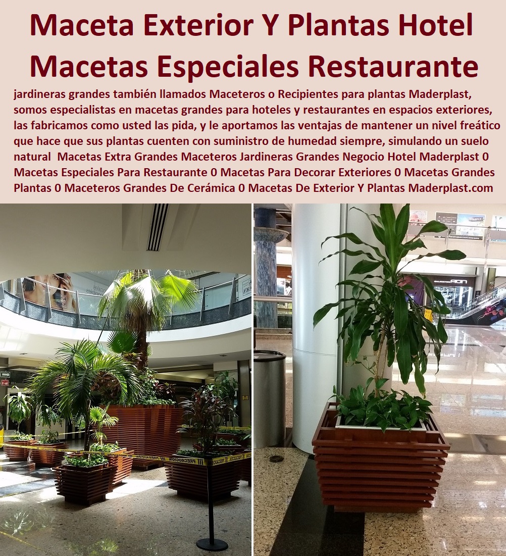 Macetas Extra Grandes Maceteros Jardineras Grandes Negocio Hotel Maderplast 0 Macetas Especiales Para Restaurante 0 Macetas Para Decorar Exteriores 0 Macetas Grandes Para Plantas 0 Maceteros Grandes De Cerámica 0 Macetas De Exterior Y Plantas 0 Macetas Extra Grandes Maceteros Jardineras Grandes Negocio Hotel Maderplast 0 Macetas Especiales Para Restaurante 0 Macetas Para Decorar Exteriores 0 Macetas Grandes Para Plantas 0 Maceteros Grandes De Cerámica 0 Macetas De Exterior Y Plantas 0Macetas Extra Grandes Maceteros Jardineras Grandes Negocio Hotel Maderplast 0 Macetas Especiales Para Restaurante 0 Macetas Para Decorar Exteriores 0 Macetas Grandes Para Plantas 0 Maceteros Grandes De Cerámica 0 Macetas De Exterior Y Plantas 0