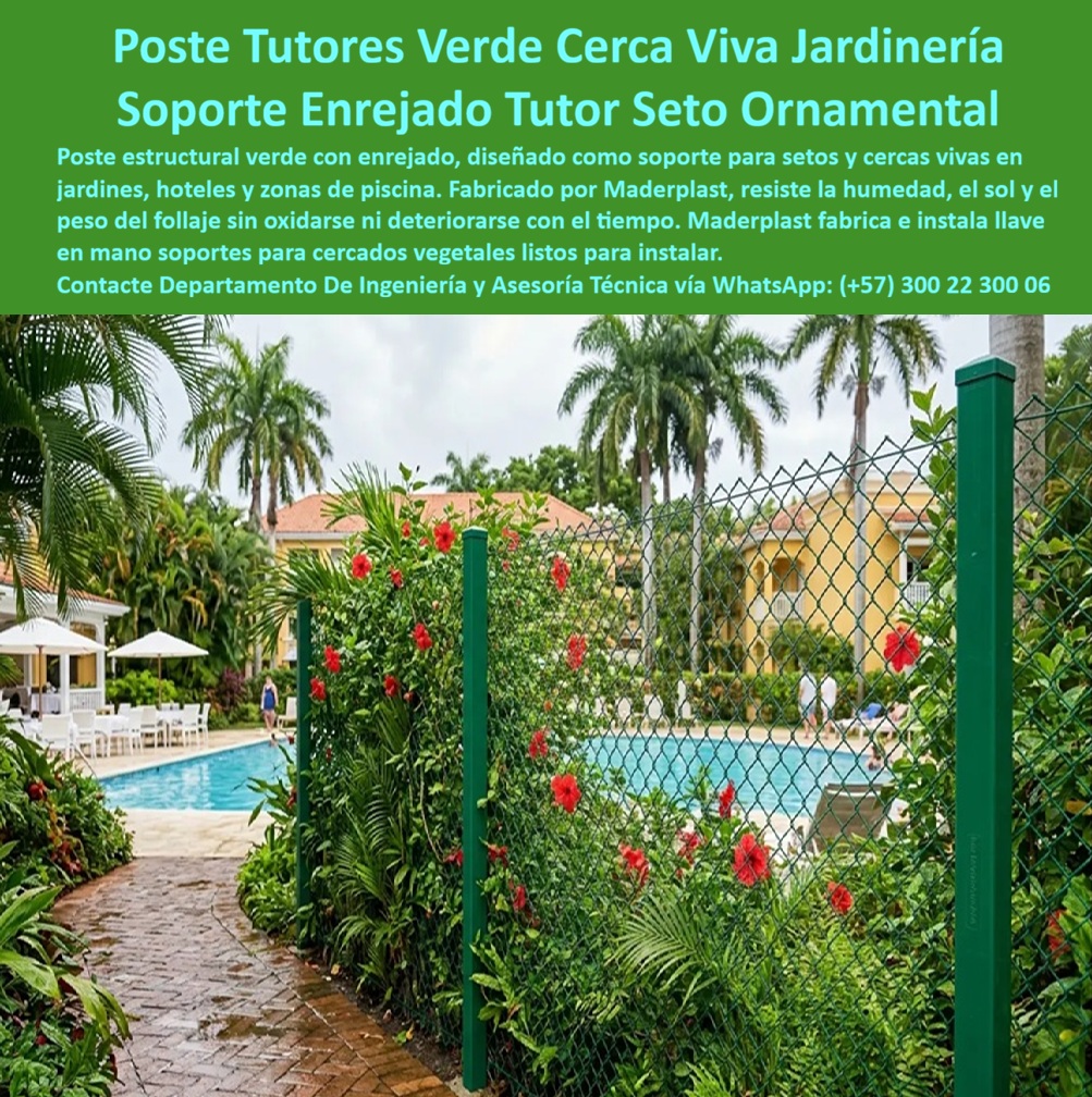 Soportes Muros Verdes Cerramientos cercas vivas Maderplast - Soportes para Cercas Vivas y Muros Verdes | Postes Estructurales Paisajísticos Maderplast La imagen muestra un elegante soporte verde con enrejado que sostiene una cerca viva ornamental junto a una piscina en un entorno tropical. Los postes estructurales y la malla permiten el crecimiento controlado de follaje con flores rojas, creando una barrera natural y estética que se integra armoniosamente al paisaje. Fabricados por Maderplast en materiales plásticos de alta durabilidad, estos soportes para cercas vivas ofrecen resistencia al peso del follaje sin comprometer la estética. Arquitectos paisajistas, hoteleros y administradores de zonas verdes enfrentan el problema recurrente de soportes metálicos que se oxidan, requieren pintura constante y deterioran la imagen natural de setos y muros verdes. Estos postes estructurales con cercas vivas y enrejados tutores Maderplast resuelven ese dolor de forma definitiva. Totalmente resistentes a humedad, UV y peso vegetal, mantienen su color y estructura durante décadas sin oxidación ni mantenimiento. Además de soportar setos ornamentales y cercas vegetales, estos sistemas entregan beneficios adicionales: instalación rápida y lista para usar, bajo peso, diseños modulares personalizables y excelente integración paisajística. Ideales para soportar muros verdes, cercados vivos y estructuras para cercas vegetales en jardines, piscinas y proyectos hoteleros, combinan funcionalidad con belleza natural perdurable. Los profesionales del paisajismo saben que un buen soporte debe durar tanto como el jardín mismo. Mientras las soluciones metálicas generan costos ocultos y deterioro visual, los soportes Maderplast ofrecen tranquilidad y estética constante. Las pruebas extremas de laboratorio del canal @maderplasSA y fichas técnicas completas respaldan su rendimiento real. Para proyectos que requieren soportes para cercas vivas, postes estructurales paisajísticos, enrejados tutores y estructuras para muros verdes, Maderplast es la solución duradera que embellece y soporta sin mantenimiento. Asesoría Especializada Con Un Especialista De Maderplast, Atención Personalizada En Este Whatsapp 57+ 300 22 300 06 Cercados vivos con enrejados plásticos listos instalar, Soportes Setos Ornamentales Y Cercas Vegetales, Postes Estructurales Cercas Vivas Paisajísticas, Estructuras Cercados Vivos vayas Soportes Muros Verdes Cerramientos cercas vivas Maderplast Cercados vivos con enrejados plásticos listos instalar Soportes Setos Ornamentales Y Cercas Vegetales Postes Estructurales Cercas Vivas Paisajísticas Estructuras Cercados Vivos vayas Soportes para Cercas Vivas y Muros Verdes | Postes Estructurales Paisajísticos Maderplast La imagen muestra un elegante soporte verde con enrejado que sostiene una cerca viva ornamental junto a una piscina en un entorno tropical. Los postes estructurales y la malla permiten el crecimiento controlado de follaje con flores rojas, creando una barrera natural y estética que se integra armoniosamente al paisaje. Fabricados por Maderplast en materiales plásticos de alta durabilidad, estos soportes para cercas vivas ofrecen resistencia al peso del follaje sin comprometer la estética. Arquitectos paisajistas, hoteleros y administradores de zonas verdes enfrentan el problema recurrente de soportes metálicos que se oxidan, requieren pintura constante y deterioran la imagen natural de setos y muros verdes. Estos postes estructurales con cercas vivas y enrejados tutores Maderplast resuelven ese dolor de forma definitiva. Totalmente resistentes a humedad, UV y peso vegetal, mantienen su color y estructura durante décadas sin oxidación ni mantenimiento. Además de soportar setos ornamentales y cercas vegetales, estos sistemas entregan beneficios adicionales: instalación rápida y lista para usar, bajo peso, diseños modulares personalizables y excelente integración paisajística. Ideales para soportar muros verdes, cercados vivos y estructuras para cercas vegetales en jardines, piscinas y proyectos hoteleros, combinan funcionalidad con belleza natural perdurable. Los profesionales del paisajismo saben que un buen soporte debe durar tanto como el jardín mismo. Mientras las soluciones metálicas generan costos ocultos y deterioro visual, los soportes Maderplast ofrecen tranquilidad y estética constante. Las pruebas extremas de laboratorio del canal @maderplasSA y fichas técnicas completas respaldan su rendimiento real. Para proyectos que requieren soportes para cercas vivas, postes estructurales paisajísticos, enrejados tutores y estructuras para muros verdes, Maderplast es la solución duradera que embellece y soporta sin mantenimiento. Asesoría Especializada Con Un Especialista De Maderplast, Atención Personalizada En Este Whatsapp 57+ 300 22 300 06