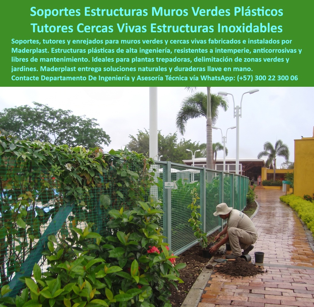 Soportes Muros Verdes Cerramientos cercas vivas Maderplast - Los soportes para muros verdes, estructuras para cercas vivas y sistemas de enrejado para plantas trepadoras cumplen una doble función dentro del paisajismo moderno: brindar un soporte estructural confiable para el crecimiento natural de la vegetación y, al mismo tiempo, crear cerramientos estéticos que mejoran la seguridad, la privacidad y el valor ambiental de cualquier proyecto. En parques, hoteles, conjuntos residenciales, clubes, centros empresariales, instituciones educativas, complejos turísticos y desarrollos urbanísticos, cada vez más arquitectos paisajistas, diseñadores urbanos, ingenieros ambientales y constructores buscan estructuras que permanezcan estables durante décadas, resistan permanentemente la humedad y la intemperie y permitan que la naturaleza se convierta en un elemento vivo de la arquitectura. Los sistemas desarrollados por Maderplast responden a esta necesidad mediante estructuras plásticas de alta ingeniería que no se oxidan, no se pudren y mantienen su capacidad estructural incluso en ambientes tropicales de alta humedad. Las estructuras para cercas vivas y muros verdes fabricadas por Maderplast proporcionan un soporte seguro para especies trepadoras, jardines verticales, barreras vegetales y corredores ecológicos, favoreciendo un crecimiento ordenado de la vegetación mientras delimitan espacios con una imagen natural y elegante. Su diseño permite integrar paisajismo, urbanismo y sostenibilidad en una sola solución, reduciendo considerablemente las labores de mantenimiento asociadas a estructuras convencionales expuestas al agua, fertilizantes, tierra y cambios climáticos. Gracias a su resistencia a la corrosión, los rayos UV y la humedad permanente, estas estructuras conservan su estabilidad y apariencia durante muchos años, convirtiéndose en una excelente alternativa para proyectos que buscan infraestructura verde de larga duración. Un complejo turístico que deseaba incrementar sus zonas verdes sin perder el control de los recorridos peatonales decidió reemplazar antiguos soportes deteriorados por estructuras plásticas desarrolladas por Maderplast para cercas vivas y plantas trepadoras. Con el paso del tiempo, la vegetación cubrió naturalmente los cerramientos, creando barreras verdes de gran valor paisajístico que mejoran el confort visual, aumentaron la privacidad y redujeron significativamente las labores de mantenimiento. Los responsables del proyecto destacaron la estabilidad de las estructuras, la facilidad de instalación y el excelente comportamiento frente al clima tropical, logrando un equilibrio entre naturaleza, arquitectura y funcionalidad que elevó la percepción de calidad de todo el complejo. Los profesionales que buscan estructuras para muros verdes, soportes para jardines verticales, cerramientos ecológicos, cercas vivas permanentes, sistemas para plantas trepadoras, estructuras paisajísticas resistentes o soluciones sostenibles para urbanismo requieren productos que puedan especificarse desde la etapa de diseño con plena confianza técnica. Por ello, Maderplast acompaña a arquitectos, paisajistas, ingenieros civiles, diseñadores ambientales y desarrolladores inmobiliarios durante todo el proceso, ofreciendo asesoría especializada, diseño personalizado, fabricación a la medida e instalación profesional para integrar infraestructura verde duradera en proyectos públicos y privados. Invertir en estructuras de soporte para vegetación no significa únicamente instalar un cerramiento; significa desarrollar un sistema vivo que evolucionará con el paisaje durante muchos años. Cuando el soporte estructural mantiene su resistencia sin oxidación ni deterioro, la vegetación puede desarrollarse de forma segura y el proyecto conserva su valor estético con un costo total de propiedad mucho menor. Maderplast complementa cada solución con experiencia técnica, respaldo en proyectos reales, ingeniería especializada y fabricación con materiales de alta durabilidad, ofreciendo sistemas llave en mano que combinan sostenibilidad, funcionalidad y belleza natural. Si su proyecto contempla muros verdes, cercas vivas, jardines verticales, cerramientos ecológicos o estructuras para paisajismo de larga duración, contacte al Departamento de Ingeniería y Asesoría Técnica de Maderplast vía WhatsApp (+57) 300 22 300 06, donde un especialista le ayudará a desarrollar una solución personalizada que integre naturaleza, ingeniería y durabilidad en una sola infraestructura Estructuras Cercados Ecológicos con Plantas Trepadoras Seguros, Estructuras Paisajismo Con Cercas Vivas Permanentes, Cercados Ecológicos Con Estructuras Plásticas Duraderas, Soportes PP Soportes Muros Verdes Cerramientos cercas vivas Maderplast Estructuras Cercados Ecológicos con Plantas Trepadoras Seguros Estructuras Paisajismo Con Cercas Vivas Permanentes Cercados Ecológicos Con Estructuras Plásticas Duraderas Soportes PP Los soportes para muros verdes, estructuras para cercas vivas y sistemas de enrejado para plantas trepadoras cumplen una doble función dentro del paisajismo moderno: brindar un soporte estructural confiable para el crecimiento natural de la vegetación y, al mismo tiempo, crear cerramientos estéticos que mejoran la seguridad, la privacidad y el valor ambiental de cualquier proyecto. En parques, hoteles, conjuntos residenciales, clubes, centros empresariales, instituciones educativas, complejos turísticos y desarrollos urbanísticos, cada vez más arquitectos paisajistas, diseñadores urbanos, ingenieros ambientales y constructores buscan estructuras que permanezcan estables durante décadas, resistan permanentemente la humedad y la intemperie y permitan que la naturaleza se convierta en un elemento vivo de la arquitectura. Los sistemas desarrollados por Maderplast responden a esta necesidad mediante estructuras plásticas de alta ingeniería que no se oxidan, no se pudren y mantienen su capacidad estructural incluso en ambientes tropicales de alta humedad. Las estructuras para cercas vivas y muros verdes fabricadas por Maderplast proporcionan un soporte seguro para especies trepadoras, jardines verticales, barreras vegetales y corredores ecológicos, favoreciendo un crecimiento ordenado de la vegetación mientras delimitan espacios con una imagen natural y elegante. Su diseño permite integrar paisajismo, urbanismo y sostenibilidad en una sola solución, reduciendo considerablemente las labores de mantenimiento asociadas a estructuras convencionales expuestas al agua, fertilizantes, tierra y cambios climáticos. Gracias a su resistencia a la corrosión, los rayos UV y la humedad permanente, estas estructuras conservan su estabilidad y apariencia durante muchos años, convirtiéndose en una excelente alternativa para proyectos que buscan infraestructura verde de larga duración. Un complejo turístico que deseaba incrementar sus zonas verdes sin perder el control de los recorridos peatonales decidió reemplazar antiguos soportes deteriorados por estructuras plásticas desarrolladas por Maderplast para cercas vivas y plantas trepadoras. Con el paso del tiempo, la vegetación cubrió naturalmente los cerramientos, creando barreras verdes de gran valor paisajístico que mejoran el confort visual, aumentaron la privacidad y redujeron significativamente las labores de mantenimiento. Los responsables del proyecto destacaron la estabilidad de las estructuras, la facilidad de instalación y el excelente comportamiento frente al clima tropical, logrando un equilibrio entre naturaleza, arquitectura y funcionalidad que elevó la percepción de calidad de todo el complejo. Los profesionales que buscan estructuras para muros verdes, soportes para jardines verticales, cerramientos ecológicos, cercas vivas permanentes, sistemas para plantas trepadoras, estructuras paisajísticas resistentes o soluciones sostenibles para urbanismo requieren productos que puedan especificarse desde la etapa de diseño con plena confianza técnica. Por ello, Maderplast acompaña a arquitectos, paisajistas, ingenieros civiles, diseñadores ambientales y desarrolladores inmobiliarios durante todo el proceso, ofreciendo asesoría especializada, diseño personalizado, fabricación a la medida e instalación profesional para integrar infraestructura verde duradera en proyectos públicos y privados. Invertir en estructuras de soporte para vegetación no significa únicamente instalar un cerramiento; significa desarrollar un sistema vivo que evolucionará con el paisaje durante muchos años. Cuando el soporte estructural mantiene su resistencia sin oxidación ni deterioro, la vegetación puede desarrollarse de forma segura y el proyecto conserva su valor estético con un costo total de propiedad mucho menor. Maderplast complementa cada solución con experiencia técnica, respaldo en proyectos reales, ingeniería especializada y fabricación con materiales de alta durabilidad, ofreciendo sistemas llave en mano que combinan sostenibilidad, funcionalidad y belleza natural. Si su proyecto contempla muros verdes, cercas vivas, jardines verticales, cerramientos ecológicos o estructuras para paisajismo de larga duración, contacte al Departamento de Ingeniería y Asesoría Técnica de Maderplast vía WhatsApp (+57) 300 22 300 06, donde un especialista le ayudará a desarrollar una solución personalizada que integre naturaleza, ingeniería y durabilidad en una sola infraestructura