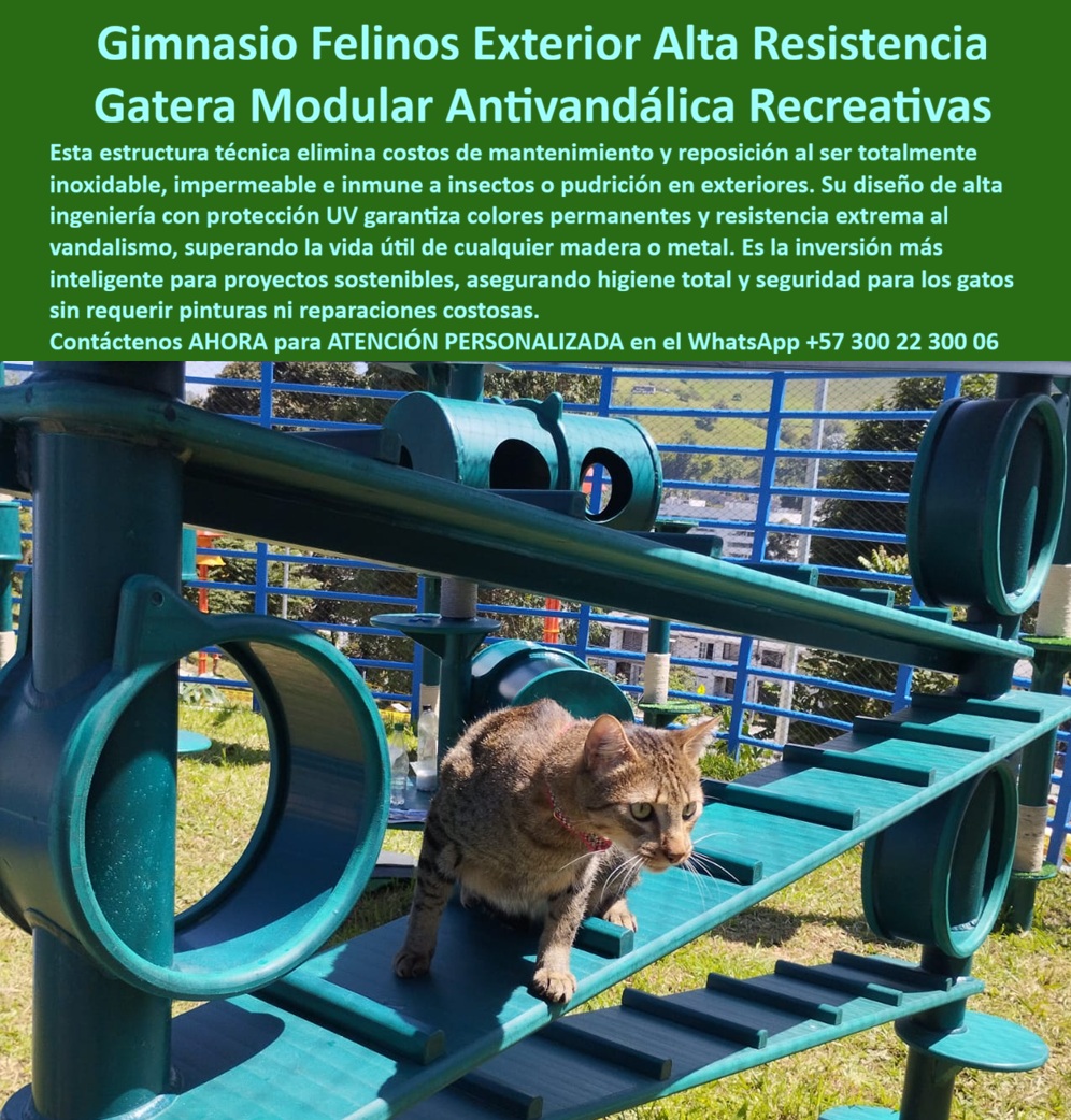 Gatera Exterior Parque Recreacional Gatos Parque La Enea Maderplast Estructura Recreativa Gatos Antivandálica Inoxidable Gimnasio Felino Modular Resistente UV para Exteriores Juegos Gatos Exterior Color Permanente Resistente UV 0