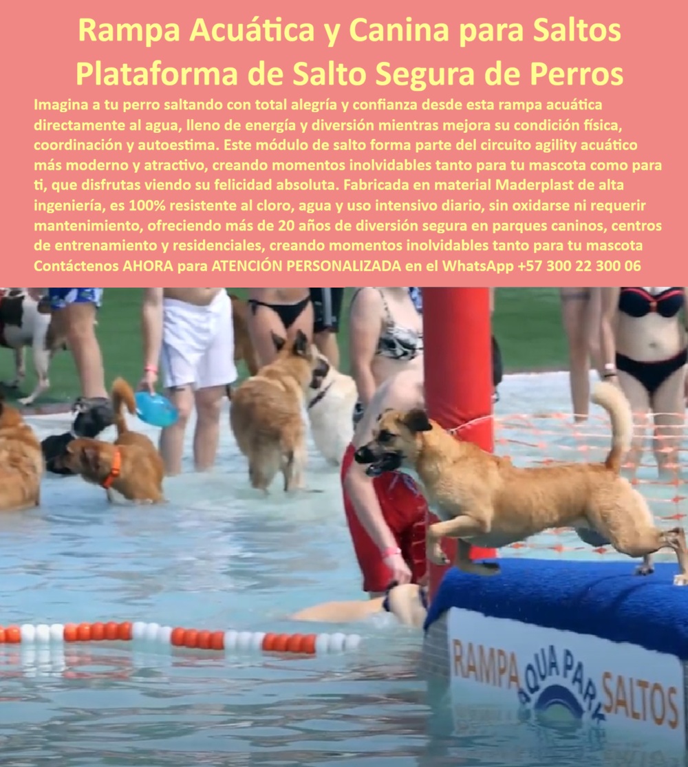 Parque Acuático Canino Anticorrosivo Circuito Acuático Canino Maderplast Rampa Acuática para Perros Alta Durabilidad Juegos Acuáticos para Perros Bajo Mantenimiento Base Flotante para Parques Acuáticos Perros Parque Agua Mascotas Obstáculos Rampa Acuática de Salto Canino Maderplast: La Plataforma que Genera Contenido Viral Mientras el Óxido Destruye la Inversión de la Competencia Rampa acuática de salto canino con plataforma de lanzamiento elevada y barra de obstáculo azul acolchada con señalización "Rampa Aqua Park Saltos", instalada dentro de piscina recreativa donde múltiples perros saltan simultáneamente al agua, fabricada por Maderplast en plástico industrial de alta ingeniería resistente al cloro, garras, mordeduras e inmersión permanente con colores integrales permanentes. La pieza estrella del negocio pet friendly que el metal convierte en pérdida La rampa de salto al agua es la actividad que más contenido viral genera en un centro canino: cada perro saltando produce fotos y videos que los dueños comparten orgánicamente y que posicionan el negocio sin inversión publicitaria. Pero esa misma pieza estrella es la que el cloro destruye más rápido cuando está fabricada en metal. Cuatro meses sumergida y los anclajes muestran óxido visible, la superficie se vuelve resbalosa para patas mojadas y el emprendedor está cotizando reemplazo total antes de recuperar la inversión inicial. Al dueño del centro canino que eligió por precio no lo recuerdan por haber innovado — lo recuerdan por la rampa oxidada que tuvo que cerrar cuando los perros empezaron a resbalar. Superficie antideslizante para garras mojadas que resiste cloro, mordeduras y uso masivo Cuando se trata de estructuras acuáticas caninas, Maderplast es el fabricante que convierte ideas en piezas reales. La rampa integra plataforma de lanzamiento elevada con superficie especificada para garras mojadas, barra de obstáculo acolchada que los perros superan antes del salto, señalización temática integrada y zona de recepción delimitada por boyas de seguridad. Todo fabricado en polímero industrial que no reacciona con cloro ni agua salada, resiste mordeduras y garras sin rayarse y mantiene tracción antideslizante perfecta bajo inmersión constante. El módulo soporta eventos masivos de treinta perros simultáneos de todas las razas sin deformación ni desgaste. Maderplast diseña cada rampa sobre plano adaptada a la profundidad y dimensiones de la piscina existente, personaliza altura, inclinación y configuración de obstáculos, y entrega llave en mano con anclaje subacuático incluido, garantía superior a veinte años y huella de carbono certificada de 0.77. La inversión que se paga sola en contenido orgánico mientras elimina reposiciones Una rampa metálica en piscina clorada necesita reemplazo total cada seis meses. En cinco años ese ciclo consume una inversión que habría financiado equipamiento definitivo desde el inicio. La rampa Maderplast elimina permanentemente esa línea del presupuesto operativo mientras cada salto fotografiado genera miles de compartidas orgánicas que posicionan el negocio sin pauta publicitaria. Las pruebas de resistencia al cloro e inmersión están filmadas en youtube.com/@maderplasSA y las fichas técnicas se entregan antes de la compra. No se compra precio, se compra rentabilidad. La estructura que genera retorno en redes mientras resiste décadas sumergida es el activo más inteligente del mercado pet friendly. El aqua park que convirtió cada salto en publicidad gratuita Alejandra Duque, emprendedora del primer aquapark canino de Antioquia, descartó rampas metálicas después de visitar un centro donde la corrosión apareció a los cuatro meses. Cuando contactó a Maderplast recibió diseño sobre plano, fabricación en plástico industrial y entrega llave en mano con anclaje subacuático. A más de dos años con eventos masivos semanales, superficie antideslizante perfecta, colores intactos, cero corrosión y la rampa se convirtió en el fondo fotográfico más compartido de sus redes con miles de publicaciones orgánicas. Respaldar la inversión con documentación verificable Maderplast entrega diseño sobre plano, fichas técnicas descargables, videos de pruebas de resistencia y garantía documentada superior a veinte años. Para el emprendedor o el banco que financia el proyecto y necesita respaldo técnico real, el expediente completo se verifica antes de comprometer un solo peso. Asesoría Especializada Con Un Especialista De Maderplast, Atención Personalizada En Este WhatsApp 57+ 300 22 300 06