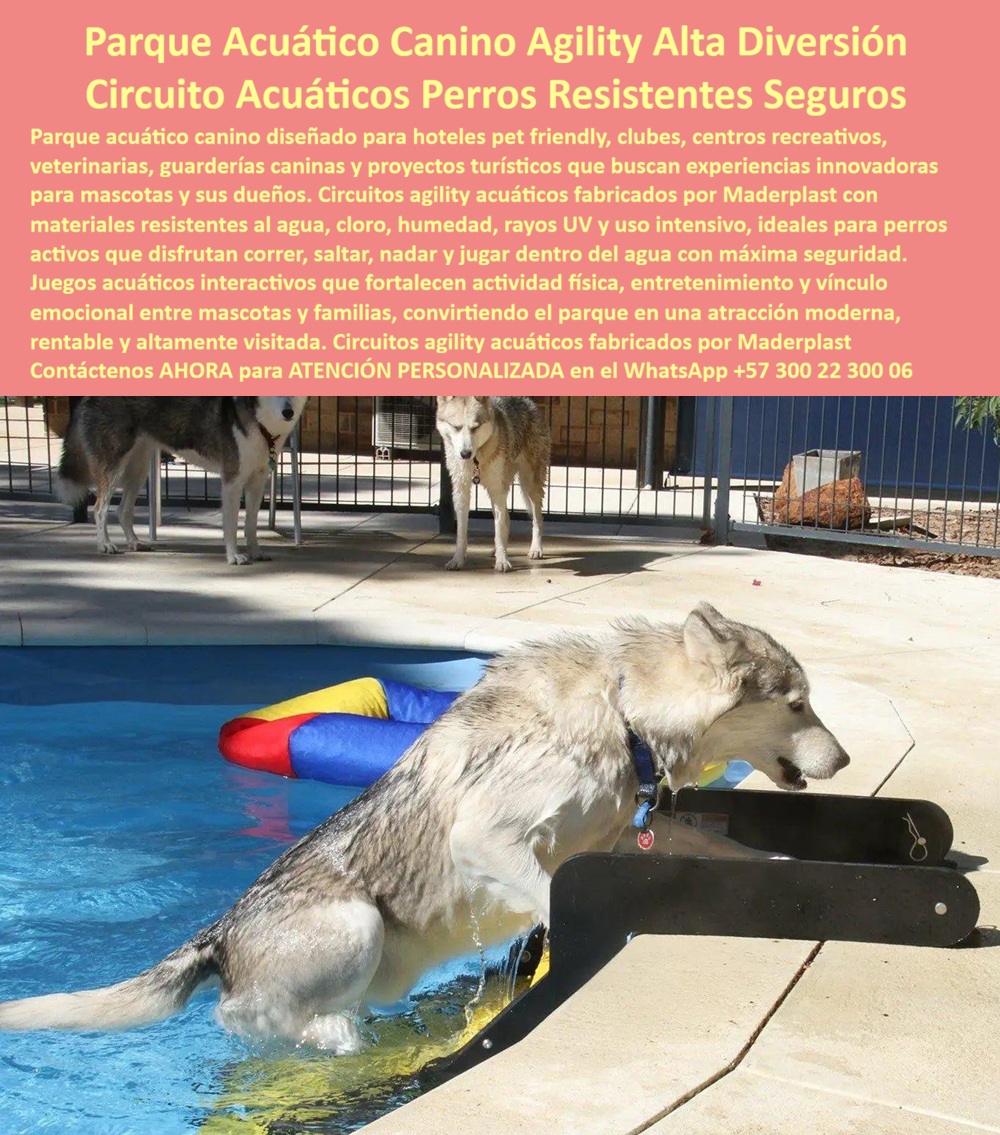 Parque Acuático Canino Anticorrosivo Circuito Acuático Canino Maderplast Área acuática perros antivandálica reduce costos reposición exterior Pasarela piscina perros anticorrosiva elimina mantenimiento continuo exterior Plataformas Flotantes En esta soleada fotografía de parque acuático canino se exhibe el circuito acuático para perros Maderplast, un sistema completo con piscina de agua cristalina, rampa negra de acceso y salida antideslizante, plataforma flotante inflable multicolor y estructura de plataforma elevada en el deck. Varios huskies interactúan con energía: uno salta desde el agua hacia la rampa, otro observa desde el borde y dos más esperan en el deck, creando una experiencia de agilidad acuática divertida y segura. Fabricado por Maderplast en plástico industrial anticorrosivo que elimina óxido, deterioro por cloro, humedad y UV, ofreciendo cero mantenimiento y durabilidad extrema en exteriores. Este parque acuático canino con rampa y plataformas flotantes es la solución innovadora que hoteles pet-friendly, guarderías caninas, clubes y proyectos turísticos buscan para ofrecer experiencias únicas a las mascotas y sus dueños. Mientras las estructuras metálicas tradicionales se corroen rápidamente por el cloro, agua salada y humedad —generando óxido peligroso, manchas y costos de reposición altísimos donde lo barato termina saliendo muy caro—, este circuito acuático para perros anticorrosivo sin mantenimiento está construido en plástico industrial Maderplast de ingeniería avanzada. Su material antivandálico, térmico y 100% resistente al agua, UV y uso intensivo mantiene colores vibrantes, superficies seguras y estabilidad total durante más de 20 años con costo operativo cero y huella de carbono reducida. Dueños de mascotas, gerentes de hoteles y arquitectos valoran esta área acuática mascotas pasarela piscina antivandálica porque transforma cualquier piscina en un espacio de agilidad acuática seguro y estimulante. Las rampas antideslizantes y plataformas flotantes permiten a los perros correr, saltar, nadar y jugar con total libertad, fortaleciendo su condición física, coordinación y vínculo emocional con las familias. Su diseño modular, fácil instalación y superficies seguras cumplen las exigencias más estrictas de proyectos B2B en climas tropicales, convirtiendo el parque en una atracción moderna, rentable y altamente visitada. La prueba real está en el Hotel Boutique Pet Paradise de Cartagena. El Gerente General Andrés Felipe Muñoz enfrentaba altos costos de mantenimiento y reposición en el área acuática para perros por corrosión constante de estructuras metálicas causada por cloro y agua salada. Tras instalar este parque acuático canino Maderplast con rampa, pasarela y plataformas flotantes, 19 meses después luce como nuevo, sin un solo mantenimiento ni deterioro. Los perros disfrutan sesiones de agilidad acuática diarias mientras los dueños y huéspedes reportan mayor satisfacción y el hotel ha aumentado su ocupación pet-friendly. Como ingeniero con experiencia en proyectos acuáticos y recreativos, recomiendo sin reservas los parque acuáticos mascotas circuito completo resistente al agua y clima extremo de Maderplast. Su material certificado, pruebas de laboratorio y respaldo técnico completo eliminan cualquier riesgo. Contamos con planos, renders 3D, videos de perros jugando y fichas técnicas listas para su anteproyecto. Contáctenos AHORA para cotización técnica llave en mano y atención personalizada al WhatsApp +57 300 22 300 06 o visite www.maderplast.com. Maderplast es la mejor y única opción que cumple y supera todos los requisitos de durabilidad, seguridad y rentabilidad. Su proyecto merece un circuito acuático para perros que brille por décadas.