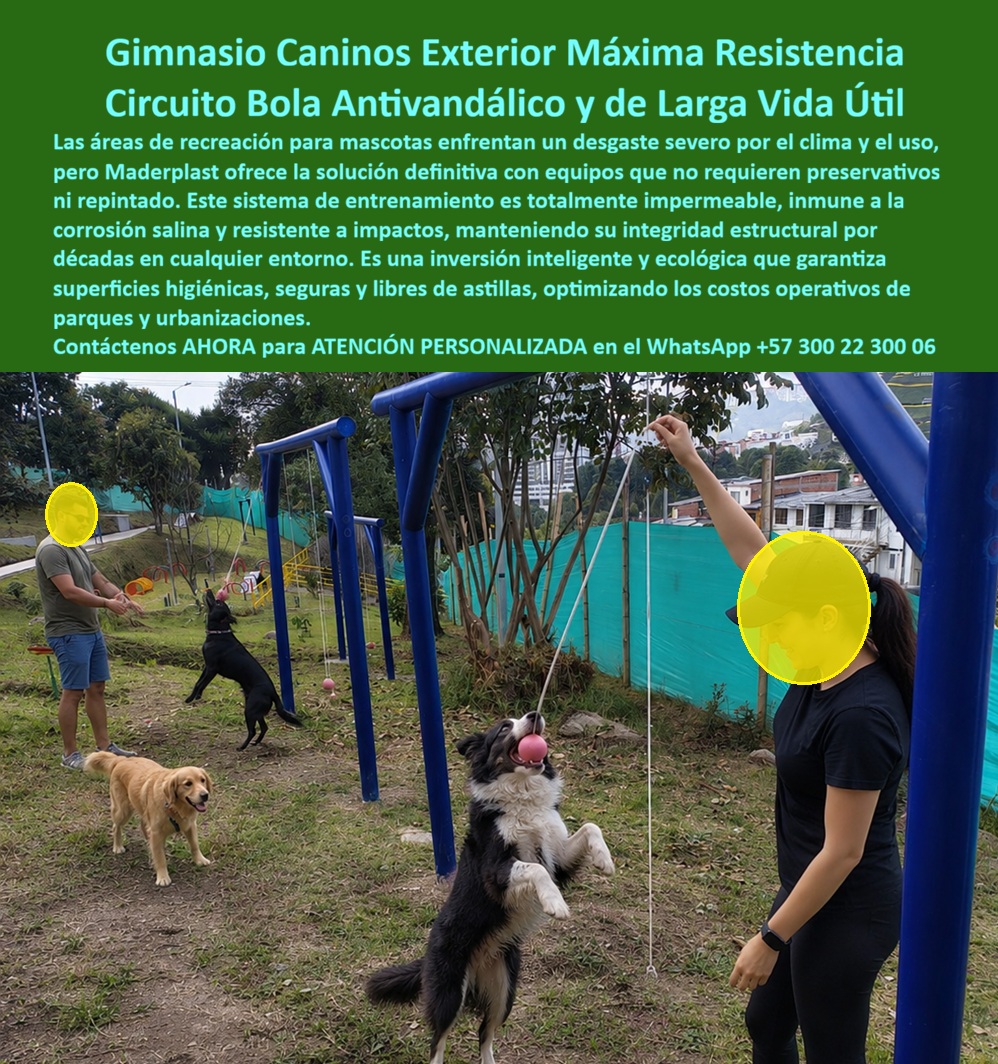 Parque Canino Interactivo Juegos Perros Parque La Enea Maderplast Gimnasio Para Perros Exterior Inoxidable Duradero Circuito Recreativo Canino Facil Instalacion Circuitos Perros Antivandálicos Inversión De Vida Ejercitadores Perros